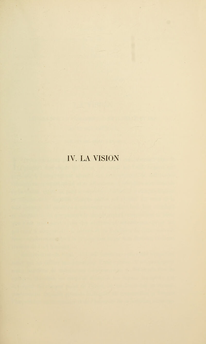 IV. LA VISION