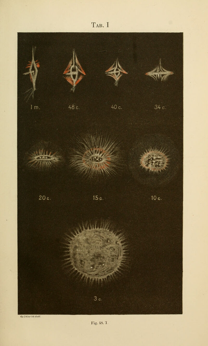 Fig. 48.1.