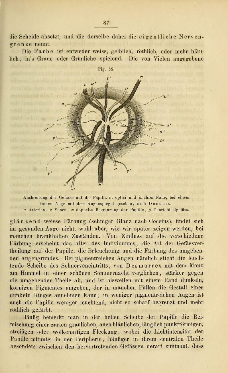 die Scheide absetzt, und die derselbe dalier die eigentliche Nerven- grenze nennt. Die Farbe ist entweder weiss, gelblich, röthlich, oder mehr bläu- lich, in's Graue oder Grünliche spielend. Die von Vielen angegebene Ausbreitung der Gefässe auf der Papilla n. optici und in ihrer Nähe, hei einem linken Auge mit dem Augenspiegel gesehen, nach Donders. a Arterien, v Venen, x doppelte Begrenzung der Papille, y Chorioidealgefäss. glänzend weisse Färbung (sehniger Glanz nach Coccius), findet sich im gesunden Auge nicht, wohl aber, wie wir später zeigen werden, bei manchen krankhaften Zuständen. Von Einfluss auf die verschiedene Färbung erscheint das Alter des Individuums, die Art der Gefässver- theilung auf der Papille, die Beleuchtung und die Färbung des umgeben- den Augengrundes. Bei pigmentreichen Augen nämlich sticht die leuch- tende Scheibe des Sehnerveneintritts, von Desinarres mit dem Mond am Himmel in einer schönen Sommernacht verglichen, stärker gegen die umgebenden Theile ab, und ist bisweilen mit einem Eand dunkeln, körnigen Pigmentes umgeben, der in manchen Fällen die Gestalt eines dunkeln Ringes annehmen kann; in weniger pigmentreichen Augen ist auch die Papille weniger leuchtend, nicht so scharf begrenzt und mehr röthlich gefärbt. Häufig bemerkt man in der hellen Scheibe der Papille die Bei- mischung einer zarten graulichen, auch bläulichen, länglich punktförmigen, streifigen oder wolkenartigen Fleckung, wobei die Lichtintensität der Papille mitunter in der Peripherie, häufiger in ihrem centralen Theile besonders zwischen den hervortretenden Gefässen derart zunimmt, dass