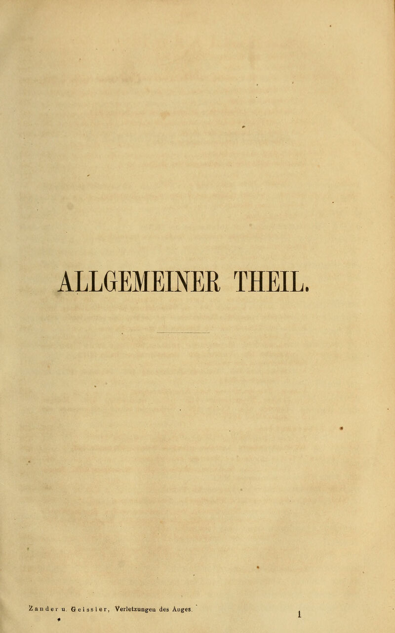 ALLGEMEINER THEIL. Zander u. Geissler, Verletzungen des Auges.