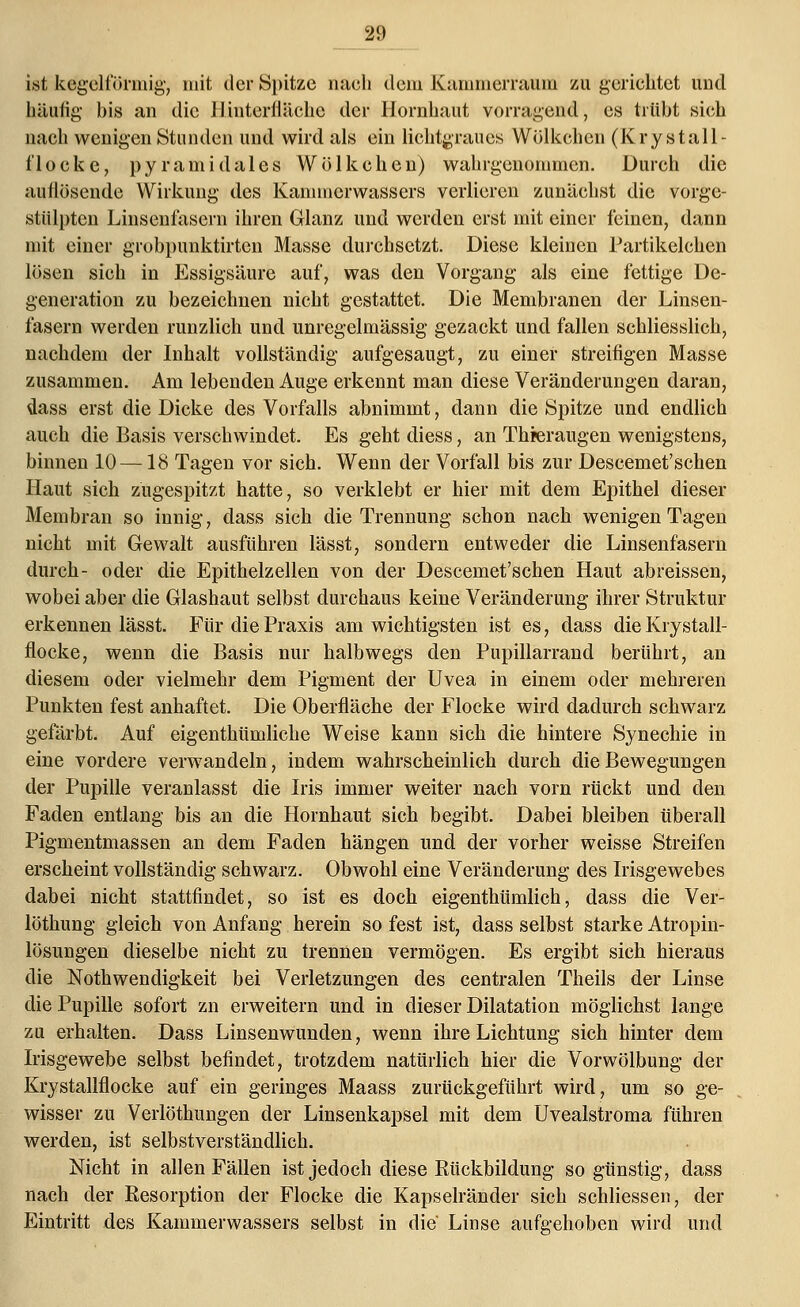 ist kögeiförmig, mit der Spitze nach dem Kannnerraum zu gerichtet und. häufig bis an die llinterilächc der Hornhaut vorragend, es trübt sich nach wenigen Stunden und wird als ein lichtgraues Wölkchen (Kry stall- f locke, pyramidales Wölkchen) wahrgenommen. Durch die auflösende Wirkung des Kammerwassers verlieren zunächst die vorge- stülpten Linsenfäsern ihren Glanz und werden erst mit einer feinen, dann mit einer grobpunktirten Masse durchsetzt. Diese kleinen Partikelchen lösen sich in Essigsäure auf, was den Vorgang als eine fettige De- generation zu bezeichnen nicht gestattet. Die Membranen der Linsen- fasern werden runzlich und unregelmässig gezackt und fallen schliesslich, nachdem der Inhalt vollständig aufgesaugt, zu einer streifigen Masse zusammen. Am lebenden Auge erkennt man diese Veränderungen daran, dass erst die Dicke des Vorfalls abnimmt, dann die Spitze und endlich auch die Basis verschwindet. Es geht diess, an Thieraugen wenigstens, binnen 10 —18 Tagen vor sich. Wenn der Vorfall bis zur Descemet'schen Haut sich zugespitzt hatte, so verklebt er hier mit dem Epithel dieser Membran so innig, dass sich die Trennung schon nach wenigen Tagen nicht mit Gewalt ausführen lässt, sondern entweder die Linsenfasern durch- oder die Epithelzellen von der Descemet'schen Haut abreissen, wobei aber die Glashaut selbst durchaus keine Veränderung ihrer Struktur erkennen lässt. Für die Praxis am wichtigsten ist es, dass die Krystall- flocke, wenn die Basis nur halbwegs den Pupillarrand berührt, an diesem oder vielmehr dem Pigment der Uvea in einem oder mehreren Punkten fest anhaftet. Die Oberfläche der Flocke wird dadurch schwarz gefärbt. Auf eigenthümliche Weise kann sich die hintere Synechie in eine vordere verwandeln, indem wahrscheinlich durch die Bewegungen der Pupille veranlasst die Iris immer weiter nach vorn rückt und den Faden entlang bis an die Hornhaut sich begibt. Dabei bleiben überall Pigmentmassen an dem Faden hängen und der vorher weisse Streifen erscheint vollständig schwarz. Obwohl eine Veränderung des Irisgewebes dabei nicht stattfindet, so ist es doch eigenthümlich, dass die Ver- löthung gleich von Anfang herein so fest ist, dass selbst starke Atropin- lösungen dieselbe nicht zu trennen vermögen. Es ergibt sieh hieraus die Notwendigkeit bei Verletzungen des centralen Theils der Linse die Pupille sofort zn erweitern und in dieser Dilatation möglichst lange zu erhalten. Dass Linsenwunden, wenn ihre Lichtung sich hinter dem Irisgewebe selbst befindet, trotzdem natürlich hier die Vorwölbung der Krystallflocke auf ein geringes Maass zurückgeführt wird, um so ge- wisser zu Verlöthungen der Linsenkapsel mit dem Uvealstroma führen werden, ist selbstverständlich. Nicht in allen Fällen ist jedoch diese Rückbildung so günstig, dass nach der Resorption der Flocke die Kapselränder sich schliessen, der Eintritt des Kammerwassers selbst in die' Linse aufgehoben wird und