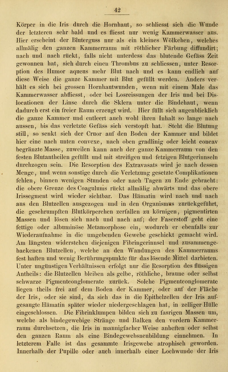 Körper in die Iris durch die Hornhaut, so schliesst sich die Wunde der letzteren sehr bald und es fliesst nur wenig Kammerwasser aus. Hier erscheint der Bluterguss nur als ein kleines Wölkchen, welches allmälig den ganzen Kammerraum mit röthlicher Färbung diffundirt; nach und nach rückt, falls nicht unterdess das blutende Gefäss Zeit gewonnen hat, sich durch einen Thrombus zu schliessen, unter Resor- ption des Humor aqueus mehr Blut nach und es kann endlich auf diese Weise die ganze Kammer mit Blut gefüllt werden. Anders ver- hält es sich bei grossen Hornhautwunden, wenn mit einem Male das Kammerwasser abfliesst, oder bei Losreissungen der Iris und bei Dis- locationen der Linse durch die Sklera unter die Bindehaut, wenn dadurch erst ein freier Eaum erzeugt wird. Hier füllt sich augenblicklich die ganze Kammer und entleert auch wohl ihren Inhalt so lange nach aussen, bis das verletzte Gefäss sich verstopft hat. Steht die Blutung still, so senkt sich der Cruor auf den Boden der Kammer und bildet hier eine nach unten convexe, nach oben gradlinig oder leicht concav begränzte Masse, zuweilen kann auch der ganze Kammerraum von den festen Blutantheilen gefüllt und mit streifigen und fetzigen Blutgerinnseln durchzogen sein. Die Resorption des Extravasats wird je nach dessen Menge, und wenn sonstige durch die Verletzung gesetzte Complikationen fehlen, binnen wenigen Stunden oder nach Tagen zu Ende gebracht: die obere Grenze des Coagulums rückt allmälig abwärts und das obere Irissegment wird wieder sichtbar. Das Hämatin wird nach und nach aus den Blutzellen ausgezogen und in den Organismus zurückgeführt, die geschrumpften Blutkörperchen zerfallen zu körnigen, pigmentirten Massen und lösen sich nach und nach auf; der Faserstoff geht eine fettige oder albuminöse Metamorphose ein, wodurch er ebenfalls zur Wiederaufnahme in die umgebenden Gewebe geschickt gemacht wird. Am längsten widerstehen diejenigen Fibringerinnsel und zusammenge- backenen Blutzellen, welche an den Wandungen des Kammerraums fest haften und wenig Berührungspunkte für das lösende Mittel darbieten. Unter ungünstigen Verhältnissen erfolgt nur die Resorption des flüssigen Antheils: die Blutzellen bleiben als gelbe, röthliche, braune oder selbst schwarze Pigmentconglomerate zurück. Solche Pigmentconglomerate liegen theils frei auf dem Boden der Kammer, oder auf der Fläche der Iris, oder sie sind, da sich das in die Epithelzellen der Iris auf- gesaugte Hämatin später wieder niedergeschlagen hat, in zelliger Hülle eingeschlossen. Die Fibrinklumpen bilden sich zu fasrigen Massen um, welche als bindegewebige Stränge und Balken den vordem Kammer- raum durchsetzen, die Iris in mannigfacher Weise anheften oder selbst den ganzen Raum als eine Bindegewebsneubildung einnehmen. In letzterem Falle ist das gesammte Irisgewebe atrophisch geworden. Innerhalb der Pupille oder auch innerhalb einer Lochwunde der Iris