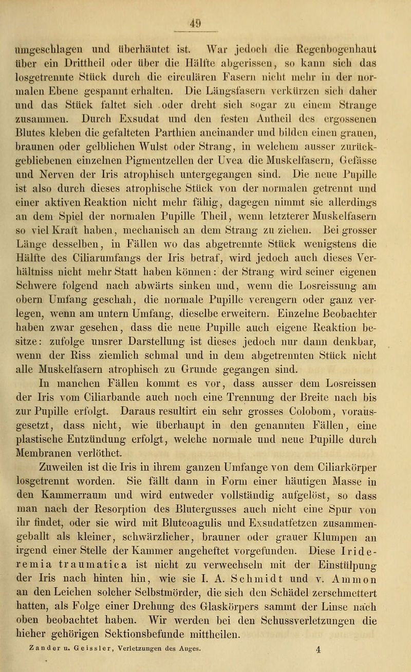 4!l Hingeschlagen und überhäufet ist. War jedoch die Regenbogenhaut über ein Drittheil oder über die Hälfte abgerissen, so kann sieh das losgetrennte Stück durch die eireulären Fasern nicht mehr in der nor- malen Ebene gespannt erhalten. Die Längsfasern verkürzen sieh daher und das Stück faltet sich oder dreht sich sogar zu einem Strange zusammen. Durch Exsudat und den festen Antheil des ergossenen Blutes kleben die gefalteten Parthien aneinander und bilden einen grauen, braunen oder gelblichen Wulst oder Strang, in welchem ausser zurück- gebliebenen einzelnen Pigmentzellen der Uvea die Muskelfasern, Gefässe und Nerven der Iris atrophisch untergegangen sind. Die neue Pupille ist also durch dieses atrophische Stück von der normalen getrennt und einer aktiven Reaktion nicht mehr fähig, dagegen nimmt sie allerdings an dem Spiel der normalen Pupille Theil, wenn letzterer Muskelfasern so viel Kraft haben, mechanisch an dem Strang zu ziehen. Bei grosser Länge desselben, in Fällen wo das abgetrennte Stück wenigstens die Hälfte des Ciliarumfangs der Iris betraf, wird jedoch auch dieses Ver- hältniss nicht mehr Statt haben können: der Strang wird seiner eigenen Schwere folgend nach abwärts sinken und, wenn die Losreissung am obern Umfang geschah, die normale Pupille verengern oder ganz ver- legen, wenn am untern Umfang, dieselbe erweitern. Einzelne Beobachter haben zwar gesehen, dass die neue Pupille auch eigene Reaktion be- sitze: zufolge unsrer Darstellung ist dieses jedoch nur dann denkbar, wenn der Riss ziemlich schmal und in dem abgetrennten Stück nicht alle Muskelfasern atrophisch zu Grunde gegangen sind. In manchen Fällen kommt es vor, dass ausser dem Losreissen der Iris vom Ciliarbande auch noch eine Trennung der Breite nach bis zur Pupille erfolgt. Daraus resultirt ein sehr grosses Colobom, voraus- gesetzt, dass nicht, wie überhaupt in den genannten Fällen, eine plastische Entzündung erfolgt, welche normale und neue Pupille durch Membranen verlöthet. Zuweilen ist die Iris in ihrem ganzen Umfange von dem Ciliarkörper losgetrennt worden. Sie fällt dann in Form einer häutigen Masse in den Kammerraum und wird entweder vollständig aufgelöst, so dass man nach der Resorption des Blutergusses auch nicht eine Spur von ihr findet, oder sie wird mit Blutcoagulis und Exsudatfetzen zusammen- geballt als kleiner, schwärzlicher, brauner oder grauer Klumpen an irgend einer Stelle der Kammer angeheftet vorgefunden. Diese Iride- remia traumatica ist nicht zu verwechseln mit der Einstülpung der Iris nach hinten hin, wie sie I. A. Schmidt und v. Amnion an den Leichen solcher Selbstmörder, die sich den Schädel zerschmettert hatten, als Folge einer Drehung des Glaskörpers sammt der Linse nach oben beobachtet haben. Wir werden bei den Schussverletzungen die hieher gehörigen Sektionsbefunde mittheilen.