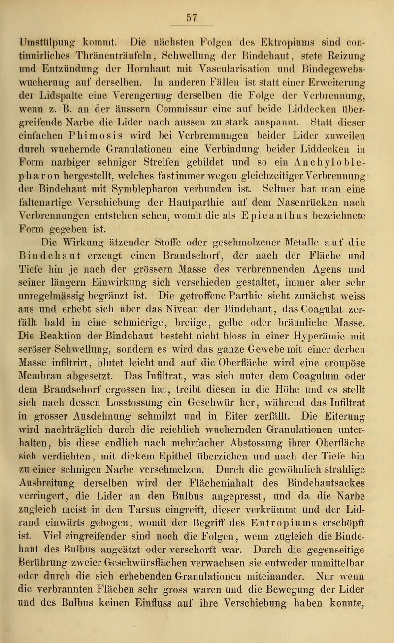 IJmstülpung kommt. Die nächsten Folgen des Ektropiums sind con- tinnirliches Thränenträufeln, Schwelhing der Bindehaut, stete Reizung und Entzündung der Hornhaut mit Vaskularisation und Bindegewebs- wucherung auf derselben. In anderen Fällen ist statt einer Erweiterung der Lidspalte eine Verengerung derselben die Folge der Verbrennung, wenn z. B. an der äussern Commissur eine auf beide Liddecken über- greifende Narbe die Lider nach aussen zu stark anspannt. Statt dieser einfachen Phimosis wird bei Verbrennungen beider Lider zuweilen durch wuchernde Granulationen eine Verbindung beider Liddecken in Form narbiger sehniger Streifen gebildet und so ein Anchyloble- pharon hergestellt, welches fast immer wegen gleichzeitiger Verbrennung der Bindehaut mit Symblepharon verbunden ist. Seltner hat man eine faltenartige Verschiebung der Hautparthie auf dem Nasenrücken nach Verbrennungen entstehen sehen, womit die als Epicanthus bezeichnete Form gegeben ist. Die Wirkung ätzender Stoffe oder geschmolzener Metalle auf die Bindehaut erzeugt einen Brandschorf, der nach der Fläche und Tiefe hin je nach der grossem Masse des verbrennenden Agens und seiner längern Einwirkung sich verschieden gestaltet, immer aber sehr unregelmässig begränzt ist. Die getroffene Parthie sieht zunächst weiss aus und erhebt sich über das Niveau der Bindehaut, das Coagulat zer- fällt bald in eine schmierige, breiige, gelbe oder bräunliche Masse. Die Reaktion der Bindehaut besteht nicht bloss in einer Hyperämie mit seröser Schwellung, sondern es wird das ganze Gewebe mit einer derben Masse infiltrirt, blutet leicht und auf die Oberfläche wird eine croupöse Membran abgesetzt. Das Infiltrat, was sich unter dem Coagulum oder dem Brandschorf ergossen hat, treibt diesen in die Höhe und es stellt sich nach dessen Losstossung ein Geschwür her, während das Infiltrat in grosser Ausdehnung schmilzt und in Eiter zerfällt. Die Eiterung wird nachträglich durch die reichlich wuchernden Granulationen unter- halten, bis diese endlich nach mehrfacher Abstossung ihrer Oberfläche sich verdichten, mit dickem Epithel überziehen und nach der Tiefe hin zu einer sehnigen Narbe verschmelzen. Durch die gewöhnlich strahlige Ausbreitung derselben wird der Flächeninhalt des Bindehautsackes verringert, die Lider an den Bulbus angepresst, und da die Narbe zugleich meist in den Tarsus eingreift, dieser verkrümmt und der Lid- rand einwärts gebogen, womit der Begriff des Entropiums erschöpft ist. Viel eingreifender sind noch die Folgen, wenn zugleich die Binde- haut des Bulbus angeätzt oder verschorft war. Durch die gegenseitige Berührung zweier Geschwürsflächen verwachsen sie entweder unmittelbar oder durch die sich erhebenden Granulationen miteinander. Nur wenn die verbrannten Flächen sehr gross waren und die Bewegung der Lider und des Bulbus keinen Einfluss auf ihre Verschiebung haben konnte,