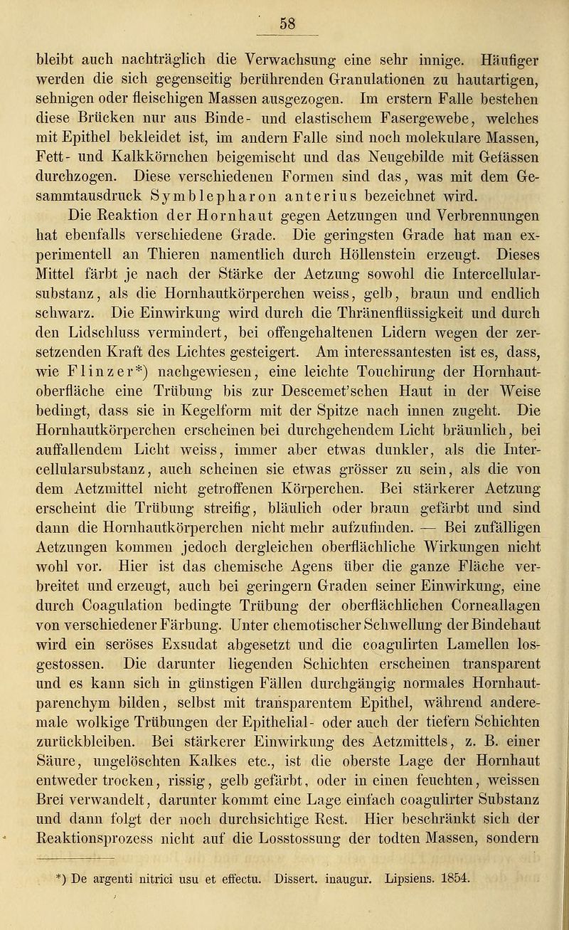 bleibt auch nachträglich die Verwachsimg eine sehr innige. Häufiger werden die sich gegenseitig berührenden Granulationen zu hautartigen, sehnigen oder fleischigen Massen ausgezogen. Im erstem Falle bestehen diese Brücken nur aus Binde- und elastischem Fasergewebe, welches mit Epithel bekleidet ist, im andern Falle sind noch molekulare Massen, Fett- und Kalkkörnchen beigemischt und das Neugebilde mit G-efässen durchzogen. Diese verschiedenen Formen sind das, was mit dem Ge- sammtausdruck Symblepharon anterius bezeichnet wird. Die Reaktion der Hornhaut gegen Aetzungen und Verbrennungen hat ebenfalls verschiedene Grade. Die geringsten Grade hat man ex- perimentell an Thieren namentlich durch Höllenstein erzeugt. Dieses Mittel färbt je nach der Stärke der Aetzung sowohl die Intercellular- substanz, als die Hornhautkörperchen weiss, gelb, braun und endlich schwarz. Die Einwirkung wird durch die Thränenflüssigkeit und durch den Lidschluss vermindert, bei offengehaltenen Lidern wegen der zer- setzenden Kraft des Lichtes gesteigert. Am interessantesten ist es, dass, wie Flinzer*) nachgewiesen, eine leichte Touchirung der Hornhaut- oberfläche eine Trübung bis zur Descemet'sehen Haut in der Weise bedingt, dass sie in Kegelform mit der Spitze nach innen zugeht. Die Hornhautkörperchen erscheinen bei durchgehendem Licht bräunlich, bei auffallendem Licht weiss, immer aber etwas dunkler, als die Inter- cellularsubstanz, auch scheinen sie etwas grösser zu sein, als die von dem Aetzmittel nicht getroffenen Körperchen. Bei stärkerer Aetzung erscheint die Trübung streifig, bläulich oder braun gefärbt und sind dann die Hornhautkörperchen nicht mehr aufzufinden. — Bei zufälligen Aetzungen kommen jedoch dergleichen oberflächliche Wirkungen nicht wohl vor. Hier ist das chemische Agens über die ganze Fläche ver- breitet und erzeugt, auch bei geringern Graden seiner Einwirkung, eine durch Coagulation bedingte Trübung der oberflächlichen Corneallagen von verschiedener Färbung. Unter chemotischer Schwellung der Bindehaut wird ein seröses Exsudat abgesetzt und die coagulirten Lamellen los- gestossen. Die darunter liegenden Schichten erscheinen transparent und es kann sich in günstigen Fällen durchgängig normales Hornhaut- parenehym bilden, selbst mit transparentem Epithel, während andere- male wolkige Trübungen der Epithelial- oder auch der tiefern Schichten zurückbleiben. Bei stärkerer Einwirkung des Aetzmittels, z. B. einer Säure, ungelöschten Kalkes etc., ist die oberste Lage der Hornhaut entweder trocken, rissig, gelb gefärbt, oder in einen feuchten, weissen Brei verwandelt, darunter kommt eine Lage einfach coagulirter Substanz und dann folgt der noch durchsichtige Rest. Hier beschränkt sich der Reaktionsprozess nicht auf die Losstossung der todten Massen, sondern *) De argenti nitrici usu et effectu. Dissert. inaugur. Lipsiens. 1854.