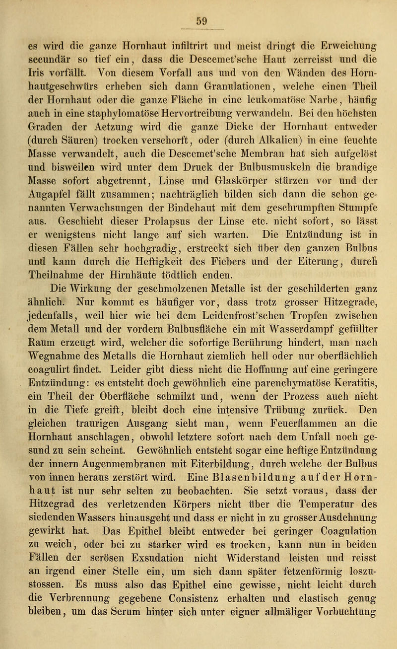 &9 es wird die ganze Hornhaut infiltrirt und meist dringt die Erweichung secundär so tief ein, dass die Descemet'sehe Haut zerreisst und die Iris vorfällt. Von diesem Vorfall aus und von den Wänden des Horn- hautgeschwürs erheben sich dann Granulationen, welche einen Theil der Hornhaut oder die ganze Fläche in eine leukomatöse Narbe, häufig auch in eine staphylomatöse Hervortreibung verwandeln. Bei den höchsten Graden der Aetzung wird die ganze Dicke der Hornhaut entweder (durch Säuren) trocken verschorft, oder (durch Alkalien) in eine feuchte Masse verwandelt, auch die Descemet'sche Membran hat sich aufgelöst und bisweilen wird unter dem Druck der Bulbusmuskeln die brandige Masse sofort abgetrennt, Linse und Glaskörper stürzen vor und der Augapfel fällt zusammen; nachträglich bilden sich dann die schon ge- nannten Verwachsungen der Bindehaut mit dem geschrumpften Stumpfe aus. Geschieht dieser Prolapsus der Linse etc. nicht sofort, so lässt er wenigstens nicht lange auf sich warten. Die Entzündung ist in diesen Fällen sehr hochgradig, erstreckt sich über den ganzen Bulbus und kann durch die Heftigkeit des Fiebers und der Eiterung, durch Theilnahme der Hirnhäute tödtlich enden. Die Wirkung der geschmolzenen Metalle ist der geschilderten ganz ähnlich. Nur kommt es häufiger vor, dass trotz grosser Hitzegrade, jedenfalls, weil hier wie bei dem Leidenfrost'schen Tropfen zwischen dem Metall und der vordem Bulbusfläche ein mit Wasserdampf gefüllter Kaum erzeugt wird, welcher die sofortige Berührung hindert, man nach Wegnahme des Metalls die Hornhaut ziemlich hell oder nur oberflächlich coagulirt findet. Leider gibt diess nicht die Hoffnung auf eine geringere Entzündung: es entsteht doch gewöhnlich eine parenchymatöse Keratitis, ein Theil der Oberfläche schmilzt und, wenn' der Prozess auch nicht in die Tiefe greift, bleibt doch eine intensive Trübung zurück. Den gleichen traurigen Ausgang sieht man, wenn Feuerflammen an die Hornhaut anschlagen, obwohl letztere sofort nach dem Unfall noch ge- sund zu sein scheint. Gewöhnlich entsteht sogar eine heftige Entzündung der innern Augenmembranen mit Eiterbildung, durch welche der Bulbus von innen heraus zerstört wird. Eine Blasenbildung auf der Horn- haut ist nur sehr selten zu beobachten. Sie setzt voraus, dass der Hitzegrad des verletzenden Körpers nicht über die Temperatur des siedenden Wassers hinausgeht und dass er nicht in zu grosser Ausdehnung- gewirkt hat. Das Epithel bleibt entweder bei geringer Coagulation zu weich, oder bei zu starker wird es trocken, kann nun in beiden Fällen der serösen Exsudation nicht Widerstand leisten und reisst an irgend einer Stelle ein, um sich dann später fetzenförmig loszu- stossen. Es muss also das Epithel eine gewisse, nicht leicht durch die Verbrennung gegebene Consistenz erhalten und elastisch genug bleiben, um das Serum hinter sich unter eigner allmäliger Vorbuchtung
