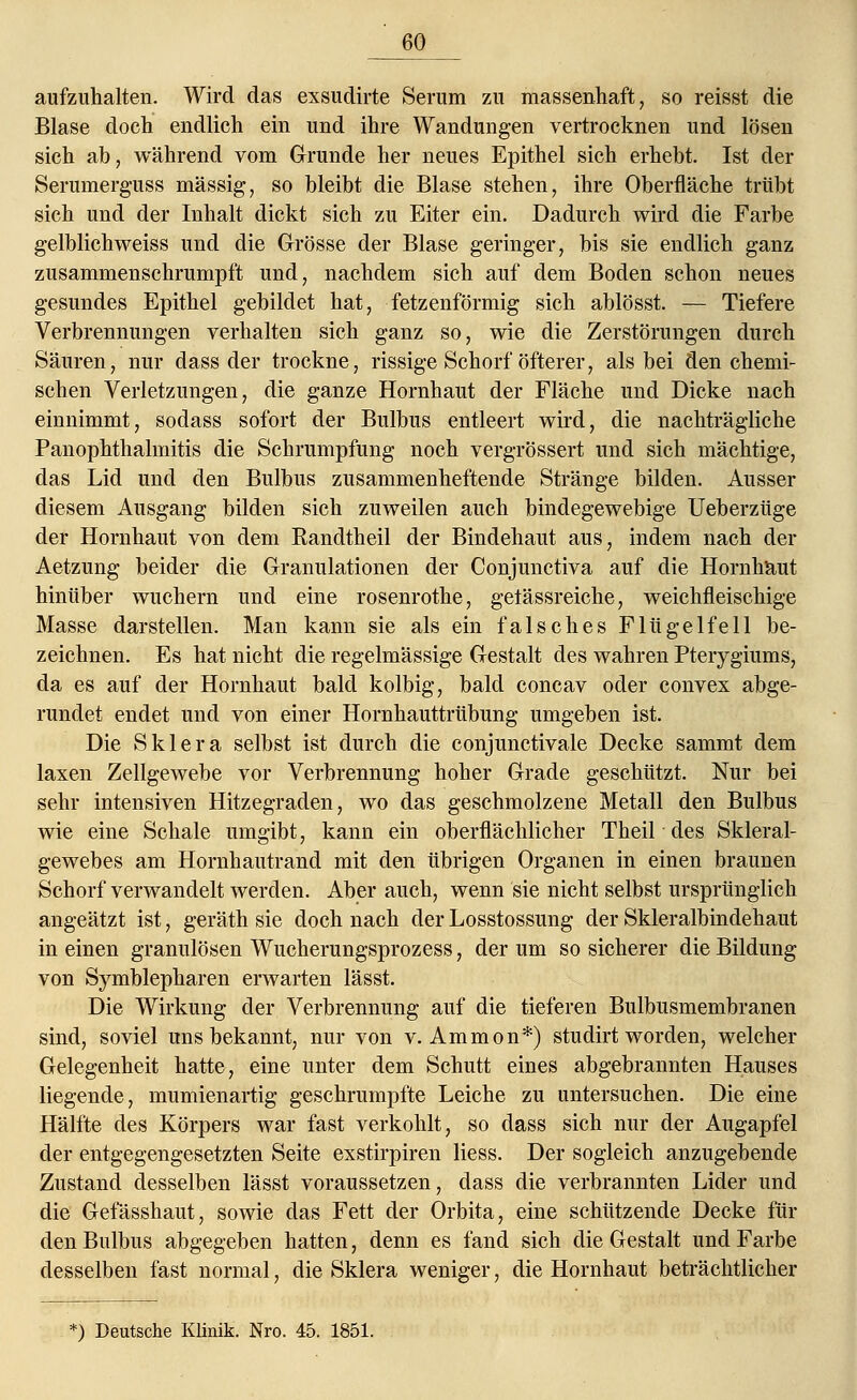 aufzuhalten. Wird das exsudirte Serum zu massenhaft, so reisst die Blase doch endlich ein und ihre Wandungen vertrocknen und lösen sich ab, während vom Grunde her neues Epithel sich erhebt. Ist der Serumerguss massig, so bleibt die Blase stehen, ihre Oberfläche trübt sich und der Inhalt dickt sich zu Eiter ein. Dadurch wird die Farbe gelblichweiss und die Grösse der Blase geringer, bis sie endlich ganz zusammenschrumpft und, nachdem sich auf dem Boden schon neues gesundes Epithel gebildet hat, fetzenförmig sich ablösst. — Tiefere Verbrennungen verhalten sich ganz so, wie die Zerstörungen durch Säuren, nur dass der trockne, rissige Schorf öfterer, als bei den chemi- schen Verletzungen, die ganze Hornhaut der Fläche und Dicke nach einnimmt, sodass sofort der Bulbus entleert wird, die nachträgliche Panophthalmitis die Schrumpfung noch vergrössert und sich mächtige, das Lid und den Bulbus zusammenheftende Stränge bilden. Ausser diesem Ausgang bilden sich zuweilen auch bindegewebige Ueberzüge der Hornhaut von dem Randtheil der Bindehaut aus, indem nach der Aetzung beider die Granulationen der Conjunctiva auf die Hornhaut hinüber wuchern und eine rosenrothe, getässreiche, weichfleischige Masse darstellen. Man kann sie als ein falsches Flügelfell be- zeichnen. Es hat nicht die regelmässige Gestalt des wahren Pterygiums, da es auf der Hornhaut bald kolbig, bald concav oder convex abge- rundet endet und von einer Hornhauttrübung umgeben ist. Die Sklera selbst ist durch die conjunctivale Decke sammt dem laxen Zellgewebe vor Verbrennung hoher Grade geschützt. Nur bei sehr intensiven Hitzegraden, wo das geschmolzene Metall den Bulbus wie eine Schale umgibt, kann ein oberflächlicher Theil des Skleral- gewebes am Hornhautrand mit den übrigen Organen in einen braunen Schorf verwandelt werden. Aber auch, wenn sie nicht selbst ursprünglich angeätzt ist, geräth sie doch nach der Losstossung der Skleralbindehaut in einen granulösen Wucherungsprozess, der um so sicherer die Bildung von Symblepharen erwarten lässt. Die Wirkung der Verbrennung auf die tieferen Bulbusmembranen sind, soviel uns bekannt, nur von v. Ammon*) studirt worden, welcher Gelegenheit hatte, eine unter dem Schutt eines abgebrannten Hauses liegende, mumienartig geschrumpfte Leiche zu untersuchen. Die eine Hälfte des Körpers war fast verkohlt, so dass sich nur der Augapfel der entgegengesetzten Seite exstirpiren Hess. Der sogleich anzugebende Zustand desselben lässt voraussetzen, dass die verbrannten Lider und die Gefässhaut, sowie das Fett der Orbita, eine schützende Decke für den Bulbus abgegeben hatten, denn es fand sich die Gestalt und Farbe desselben fast normal, die Sklera weniger, die Hornhaut beträchtlicher *) Deutsche Klinik. Nro. 45. 1851.