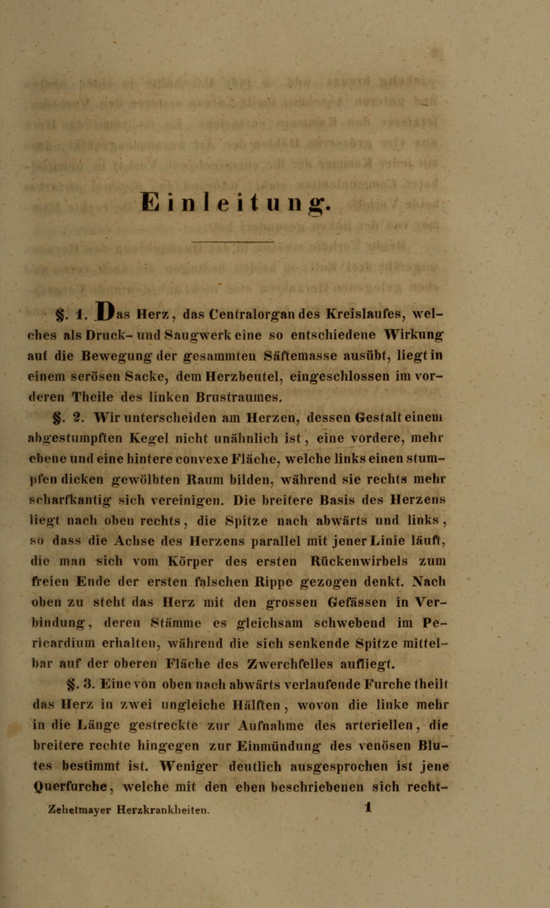 Einleitung. §. 1. JLfas Herz, das Centralorgan des Kreislaufes, wel- ches als Druck- und Saugwerk eine so entschiedene Wirkung auf die Bewegung'der gesammten Säftemasse ausübt, liegt in einem serösen Sacke, dem Herzbeutel, eingeschlossen im vor- deren Theile des linken Brustraumes. §. 2. Wir unterscheiden am Herzen, dessen Gestalt einem abgestumpften Kegel nicht unähnlich ist, eine vordere, mehr ebene und eine hintere convexe Fläche, welche links einen stum- pfen dicken gewölbten Raum bilden, während sie rechts mehr scharfkantig sich vereinigen. Die breitere Basis des Herzens liegt nach oben rechts, die Spitze nach abwärts und links, so dass die Achse des Herzens parallel mit jener Linie läuft, die man sich vom Körper des ersten Rückenwirbels zum freien Ende der ersten falschen Rippe gezogen denkt. Nach oben zu steht das Herz mit den grossen Gefässen in Ver- bindung, deren Stämme es gleichsam schwebend im Pe- ricardium erhalten, während die sich senkende Spitze mittel- bar auf der oberen Fläche des Zwerchfelles aufliegt. §. 3. Eine von oben nach abwärts verlaufende Furche theill das Herz in zwei ungleiche Hälften, wovon die linke mehr in die Länge gestreckte zur Aufnahme des arteriellen, die breitere rechte hingegen zur Einmündung des venösen Blu- tes bestimmt ist. Weniger deutlich ausgesprochen ist jene Querfurche, welche mit den eben beschriebenen sich recht-