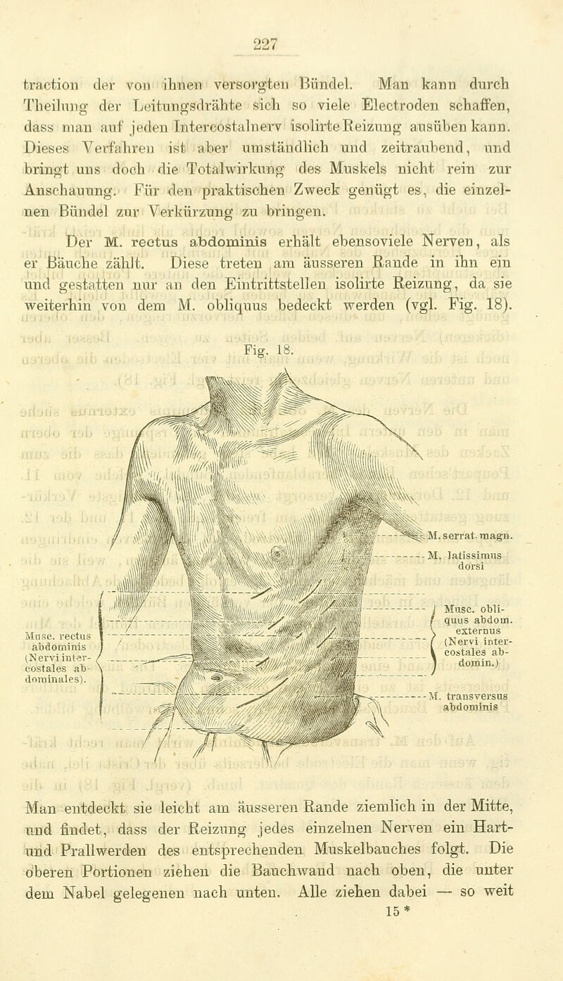 tractioii der von ihnen versorgten Bündel. Man kann durch Theihmg der Leitungsdrähte sich so viele Electroden schaffen, dass mau auf jeden Intercostalnerv isolirte Reizung ausüben kann. Dieses Verfahreu ist aber umständlich und zeitraubend, und bringt uns doch die Totalwirkung des Muskels nicht rein zur Anschauung. Für den praktischen Zweck genügt es, die einzel- nen Bündel zur Verkürzung zu bringen. Üer M. reetus abdominis erhält ebensoviele Nerven, als er .feäuche zählt. Diese treten am äusseren Rande in ihn ein und gestatten nur an den Eintrittstellen isolirte Reizung, da sie weiterhin von dem M. obliquus bedeckt werden (vgl. Fig. 18). Fig. 18. Man entdeckt sie leicht am äusseren Rande ziemlich in der Mitte, und findet, dass der Reizung jedes einzelnen Nerven ein Hart- und Frallwerdeu des entsprechenden Muskelbauches folgt. Die oberen Portionen ziehen die Bauchwand nach oben, die unter dem Nabel gelegenen nach unten. Alle ziehen dabei — so weit 15*