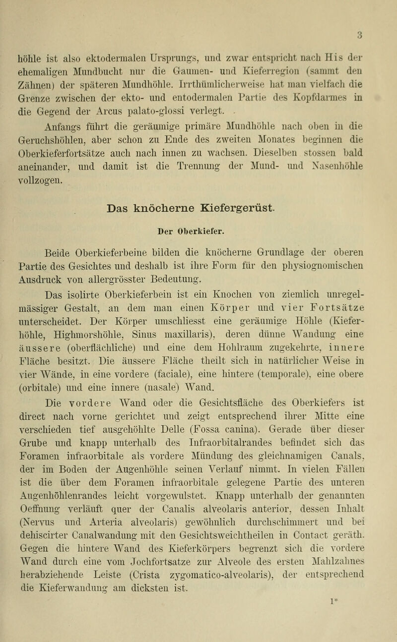 höhle ist also ektodermalen Ursprungs, und zwar entspricht nach His der ehemaligen Mundbucht nur die Gaumen- und Kieferregion (sammt den Zähnen) der späteren Mundhöhle. Irrthümlicherweise hat man vielfach die Grenze zwischen der ekto- und entodermalen Partie des Kopfdarmes in die Gegend der Arcus palato-glossi verlegt. Anfangs führt die geräumige primäre Mundhöhle nach oben in die Geruchshöhlen, aber schon zu Ende des zweiten Monates beginnen die Oberkieferfortsätze auch nach innen zu wachsen. Dieselben stossen bald aneinander, und damit ist die Trennung der Mund- und Nasenhöhle vollzogen. Das knöcherne Kiefergerüst. Der Oberkiefer. Beide Oberkieferbeine bilden die knöcherne Grundlage der oberen Partie des Gesichtes und deshalb ist ihre Form für den physiognomischen Ausdruck von allergrösster Bedeutung. Das isolirte Oberkieferbein ist ein Knochen von ziemlich unregel- mässiger Gestalt, an dem man einen Körper und vier Fortsätze unterscheidet. Der Körper umschliesst eine geräumige Höhle (Kiefer- höhle, Highmorshöhle, Sinus maxillaris), deren dünne Wandung eine äussere (oberflächliche) und eine dem Hohlraum zugekehrte, innere Fläche besitzt. Die äussere Fläche theilt sich in natürlicher Weise in vier Wände, in eine vordere (faciale), eine hintere (temporale), eine obere (orbitale) und eine innere (nasale) Wand. Die vordere Wand oder die Gesichtsfläche des Oberkiefers ist direct nach vorne gerichtet und zeigt entsprechend ihrer Mitte eine verschieden tief ausgehöhlte Delle (Fossa canina). Gerade über dieser Grube und knapp unterhalb des Infraorbitalrandes befindet sich das Foramen infraorbitale als vordere Mündung des gleichnamigen Canals. der im Boden der Augenhöhle seinen Verlauf nimmt. In vielen Fällen ist die über dem Foramen infraorbitale gelegene Partie des unteren Augenhöhlenrandes leicht vorgewulstet. Knapp unterhalb der genannten Oeffnung verläuft quer der Canalis alveolaris anterior, dessen Inhalt (Nervus und Arteria alveolaris) gewöhnlich durchschimmert und bei dehiscirter Canalwandung mit den Gesichtsweiclitheilen in Contact geräth. Gegen die hintere Wand des Kieferkörpers begrenzt sich die vordere Wand durch eine vom Jochfortsatze zur Alveole des ersten Mahlzahnes herabziehende Leiste (Crista zj^gomatico-alveolaris), der entsprechend die Kieferwandung am dicksten ist.