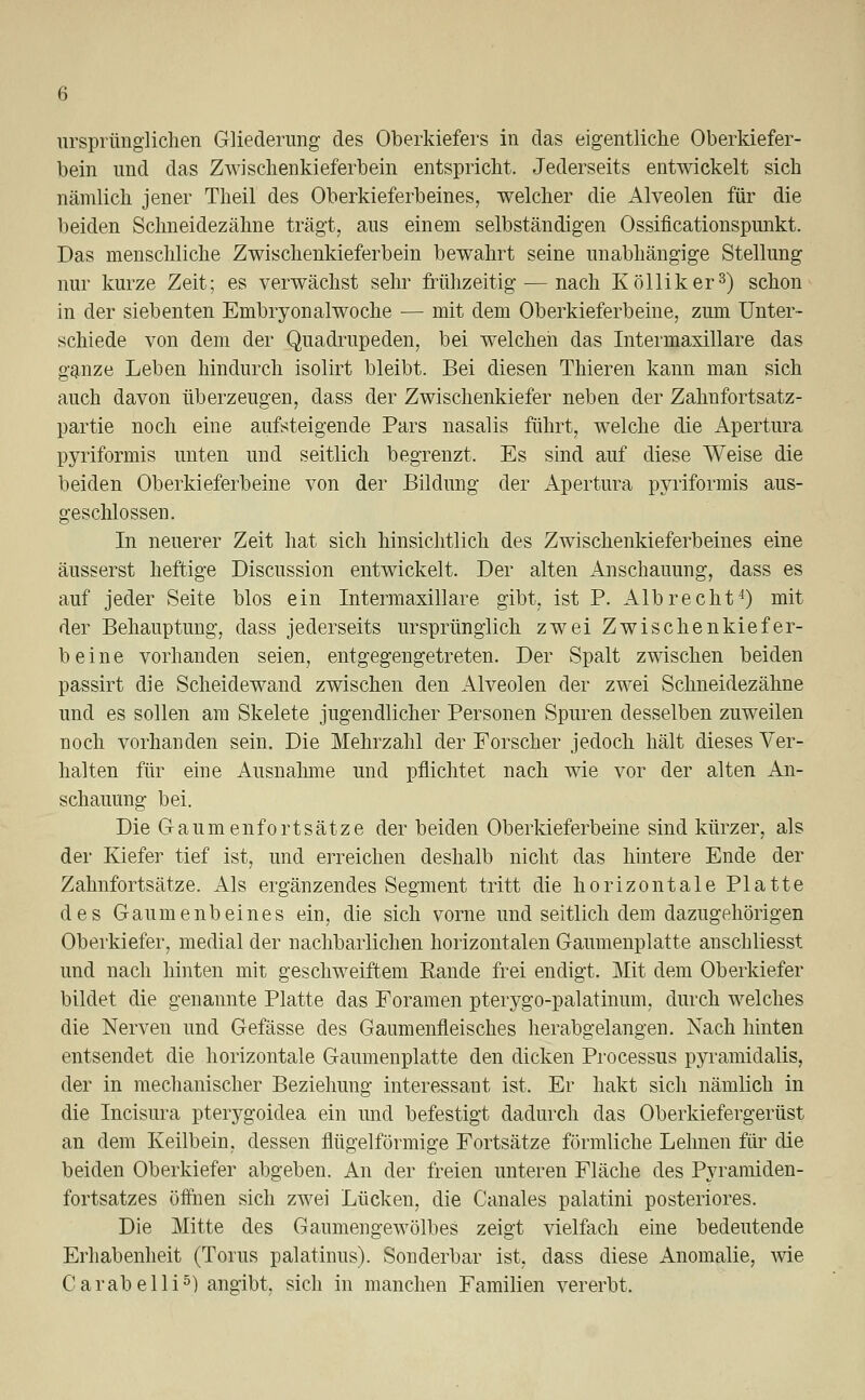 ursprünglichen Gliederung des Oberkiefers in das eigentliche Oberkiefer- bein und das Zwischenkieferbein entspricht. Jederseits entwickelt sich nämlich jener Theil des Oberkieferbeines, welcher die Alveolen für die beiden Schneidezähne trägt, aus einem selbständigen Ossiücationspunkt. Das menschliche Zwischenkieferbein bewahrt seine unabhängige Stellung nur kurze Zeit; es verwächst sehr frühzeitig — nach Kölliker3) schon in der siebenten Embryonalwoche — mit dem Oberkieferbeine, zum Unter- schiede von dem der Quadrupeden, bei welchen das Intermaxillare das ganze Leben hindurch isolirt bleibt. Bei diesen Thieren kann man sich auch davon überzeugen, dass der Zwischenkiefer neben der Zahnfortsatz- partie noch eine aufsteigende Pars nasalis führt, welche die Apertura pyriformis unten und seitlich begrenzt. Es sind auf diese Weise die beiden Oberkieferbeine von der Bildung der Apertura pyriformis aus- geschlossen. In neuerer Zeit hat sich hinsichtlich des Zwischenkieferbeines eine äusserst heftige Discussion entwickelt. Der alten Anschauung, dass es auf jeder Seite blos ein Intermaxillare gibt, ist P. Alb recht4) mit der Behauptung, dass jederseits ursprünglich zwei Zwischenkiefer- beine vorhanden seien, entgegengetreten. Der Spalt zwischen beiden passirt die Scheidewand zwischen den Alveolen der zwei Schneidezähne und es sollen am Skelete jugendlicher Personen Spuren desselben zuweilen noch vorhanden sein. Die Mehrzahl der Forscher jedoch hält dieses Ver- halten für eine Ausnahme und pflichtet nach wie vor der alten An- schauung bei. Die Gaumenfortsätze der beiden Oberkieferbeine sind kürzer, als der Kiefer tief ist, und erreichen deshalb nicht das hintere Ende der Zahnfortsätze. Als ergänzendes Segment tritt die horizontale Platte des Gaumenbeines ein, die sich vorne und seitlich dem dazugehörigen Oberkiefer, medial der nachbarlichen horizontalen Gaumenplatte anschliesst und nach hinten mit geschweiftem Rande frei endigt. Mit dem Oberkiefer bildet die genannte Platte das Foramen pterygo-palatinum, durch welches die Nerven und Gefässe des Gaumenfleisches herabgelangen. Nach hinten entsendet die horizontale Gaumenplatte den dicken Processus pyramidalis, der in mechanischer Beziehung interessant ist. Er hakt sich nämlich in die Incisura pterygoidea ein und befestigt dadurch das Oberkiefergerüst an dem Keilbein, dessen flügeiförmige Fortsätze förmliche Lehnen für die beiden Oberkiefer abgeben. An der freien unteren Fläche des Pyramiden- fortsatzes öffnen sich zwei Lücken, die Canales palatini posteriores. Die Mitte des Gaumengewölbes zeigt vielfach eine bedeutende Erhabenheit (Tonis palatinus). Sonderbar ist. dass diese Anomalie, wie Carabelli5) angibt, sich in manchen Familien vererbt.