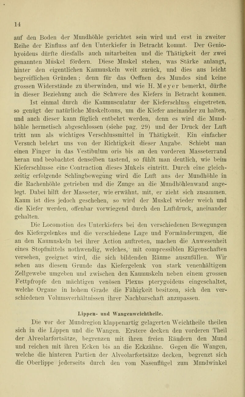 auf den Boden der Mundhöhle gerichtet sein wird und erst in zweiter Eeihe der Einfluss auf den Unterkiefer in Betracht kommt. Der Genio- hyoideus dürfte diesfalls auch mitarbeiten und die Thätigkeit der zwei genannten Muskel fördern. Diese Muskel stehen, was Stärke anlangt, hinter den eigentlichen Kaumuskeln weit zurück, und dies aus leicht begreiflichen Gründen: denn für das Oeffnen des Mundes sind keine grossen Widerstände zu überwinden, und wie H.Meyer bemerkt, dürfte in dieser Beziehung auch die Schwere des Kiefers in Betracht kommen. Ist einmal durch die Kauniusculatur der Kieferschluss eingetreten, so genügt der natürliche Muskeltonus, um die Kiefer aneinander zu halten, und auch dieser kann fügiick entbehrt werden, denn es wird die Mund- höhle hermetisch abgeschlossen (siehe pag. 29) und der Druck der Luft tritt nun als wichtiges Verschlussmittel in Thätigkeit. Ein einfacher Versuch belehrt uns von der Richtigkeit dieser Angabe. Schiebt man einen Finger in das Vestibulum oris bis an den vorderen Masseterrand heran und beobachtet denselben tastend, so fühlt man deutlich, wie beim Kieferschlusse eine Contraction dieses Mukels eintritt. Durch eine gleich- zeitig erfolgende Schlingbewegung wird die Luft aus der Mundhöhle in die Rachenhöhle getrieben und die Zunge an die Mundhöhlenwand ange- legt. Dabei hilft der Masseter, wie erwähnt, mit, er zieht sich zusammen. Kaum ist dies jedoch geschehen, so wird der Muskel wieder weich und die Kiefer werden, oifenbar vorwiegend durch den Luftdruck, aneinander gehalten. Die Locomotion des Unterkiefers bei den verschiedenen Bewegungen des Kiefergelenkes und die verschiedene Lage und Formänderungen, die an den Kaumuskeln bei ihrer Action auftreten, machen die Anwesenheit eines Stopfmittels nothwendig, welches,1 mit compressiblen Eigenschaften versehen, geeignet wird, die sich bildenden Räume auszufüllen. Wir sehen aus diesem Grunde das Kiefergelenk von stark venenhältigem Zellgewebe umgeben und zwischen den Kaumuskeln neben einem grossen Fettpfropfe den mächtigen venösen Plexus pterygoideus eingeschaltet, welche Organe in hohem Grade die Fähigkeit besitzen, sich den ver- schiedenen Volumsverhältnissen ihrer Nachbarschaft anzupassen. Lippen- und Waiigemveichtheile. Die vor der Mundregion klappenartig gelagerten Weichtheile theilen sich in die Lippen und die Wangen. Erstere decken den vorderen Theil der Alveolarfortsätze, begrenzen mit ihren freien Rändern den Mund und reichen mit ihren Ecken bis an die Eckzähne. Gegen die Wangen, welche die hinteren Partien der Alveolarfortsätze decken, begrenzt sich die Oberlippe jederseits durch den vom Nasenflügel zum Mundwinkel