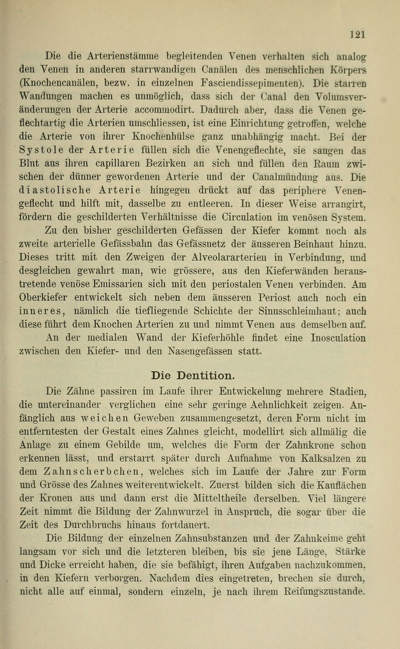 Die die Arterienstämme begleitenden Venen verhalten sich analog den Venen in anderen starrwandigen Canälen des menschlichen Körpers (Knochencanälen, bezw. in einzelnen Fasciendissepimenten). Die stairen Wandungen machen es unmöglich, dass sich der Canal den Volumsver- änderungen der Arterie accommodirt. Dadurch aber, dass die Venen ge- flechtartig die Arterien umschliessen, ist eine Einrichtung getroffen, welche die Arterie von ihrer Knochenhülse, ganz unabhängig macht. Bei der Systole der Arterie füllen sich die Venengeflechte, sie saugen das Blut aus ihren capillaren Bezirken an sich und füllen den Raum zwi- schen der dünner gewordenen Arterie und der Canalmündung aus. Die diastolische Arterie hingegen drückt auf das periphere Venen- geflecht und hilft mit, dasselbe zu entleeren. In dieser Weise arrangirt, fördern die geschilderten Verhältnisse die Circulation im venösen System. Zu den bisher geschilderten Gefässen der Kiefer kommt noch als zweite arterielle Gefässbahn das Gefässnetz der äusseren Beinhaut hinzu. Dieses tritt mit den Zweigen der Alveolararterien in Verbindung, und desgleichen gewahrt man, wie grössere, aus den Kieferwänden heraus- tretende venöse Emissarien sich mit den periostalen Venen verbinden. Am Oberkiefer entwickelt sich neben dem äusseren Periost auch noch ein inneres, nämlich die tiefliegende Schichte der Sinusschleimhaut; auch diese führt dem Knochen Arterien zu und nimmt Venen aus demselben auf. An der medialen Wand der Kieferhöhle findet eine Inosculation zwischen den Kiefer- und den Nasengefässen statt. Die Dentition. Die Zähne passiren im Laufe ihrer Entwickelung mehrere Stadien, die untereinander verglichen eine sehr geringe Aehnlichkeit zeigen. An- fänglich aus weichen Geweben zusammengesetzt, deren Form nicht im entferntesten der Gestalt eines Zahnes gleicht, modellirt sich allmälig die Anlage zu einem Gebilde um, welches die Form der Zahnkrone schon erkennen lässt, und erstarrt später durch Aufnahme von Kalksalzen zu dem Zahnscherbchen, welches sich im Laufe der Jahre zur Form und Grösse des Zahnes weiterentwickelt. Zuerst bilden sich die Kauflächen der Kronen aus und dann erst die Mitteltheile derselben. Viel längere Zeit nimmt die Bildung der Zahnwurzel in Ansprach, die sogar über die Zeit des Durchbruchs hinaus fortdauert. Die Bildung der einzelnen Zahnsubstanzen und der Zahnkeime geht langsam vor sich und die letzteren bleiben, bis sie jene Länge, Stärke und Dicke erreicht haben, die sie befähigt, ihren Aufgaben nachzukommen, in den Kiefern verborgen. Nachdem dies eingetreten, brechen sie durch, nicht alle auf einmal, sondern einzeln, je nach ihrem Reifungszustande.