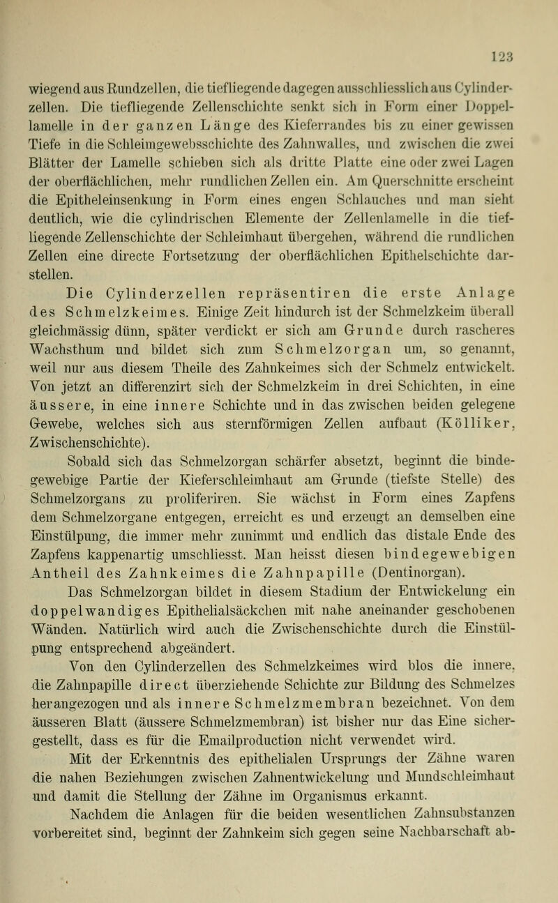 wiegend aus Rundzellen, die tiefliegende dagegen ausschliesslich ans Cylinder- zellen. Die tiefliegende Zellenschichte senkt sich in Form einer Doppel- lamelle in der ganzen Länge des Kieferrandes bis zu einer gewissen Tiefe in die Schleimgewebsschichte des Zahnwalles, und zwischen die zwei Blätter der Lamelle schieben sich als dritte Platte eine oder zwei Lagen der oberflächlichen, mehr rundlichen Zellen ein. Am Querschnitte erscheint die Epitheleinsenkung in Form eines engen Schlauches und man sieht deutlich, wie die cylindrischen Elemente der Zellenlamelle in die tief- liegende Zellenschichte der Schleimhaut übergehen, während die rundlichen Zellen eine directe Fortsetzung der oberflächlichen Epithelschichte dar- stellen. Die Cylinderzellen repräsentiren die erste Anlage des Schmelzkeimes. Einige Zeit hindurch ist der Schmelzkeim überall gleichmässig dünn, später verdickt er sich am Grunde durch rascheres Wachsthum und bildet sich zum Schmelzorgan um, so genannt, weil nur aus diesem Theile des Zahnkeimes sich der Schmelz entwickelt. Von jetzt an differenzirt sich der Schmelzkeim in drei Schichten, in eine äussere, in eine innere Schichte und in das zwischen beiden gelegene Gewebe, welches sich aus sternförmigen Zellen aufbaut (Kölliker, Zwischenschichte). Sobald sich das Schmelzorgan schärfer absetzt, beginnt die binde- gewebige Partie der Kieferschleimhaut am Grunde (tiefste Stelle) des Schmelzorgans zu proliferiren. Sie wächst in Form eines Zapfens dem Schmelzorgane entgegen, erreicht es und erzeugt an demselben eine Einstülpung, die immer mehr zunimmt und endlich das distale Ende des Zapfens kappenartig umschliesst. Man heisst diesen bindegewebigen Antheil des Zahnkeimes die Zahnpapille (Dentinorgan). Das Schmelzorgan bildet in diesem Stadium der Entwickelung ein doppelwandiges Epithelialsäckchen mit nahe aneinander geschobenen Wänden. Natürlich wird auch die Zwischenschichte durch die Einstül- pung entsprechend abgeändert. Von den Cylinderzellen des Schmelzkeimes wird blos die innere, die Zahnpapille direct überziehende Schichte zur Bildung des Schmelzes her angezogen und als i n n e r e S c h m e 1 z m e m b r a n bezeichnet. Von dem äusseren Blatt (äussere Schmelzmembran) ist bisher nur das Eine sicher- gestellt, dass es für die Emailpro duction nicht verwendet wird. Mit der Erkenntnis des epithelialen Ursprungs der Zähne waren die nahen Beziehungen zwischen Zahnentwickelung und Mundschleimhaut und damit die Stellung der Zähne im Organismus erkannt. Nachdem die Anlagen für die beiden wesentlichen Zahnsubstanzen vorbereitet sind, beginnt der Zahnkeim sich gegen seine Nachbarschaft ab-