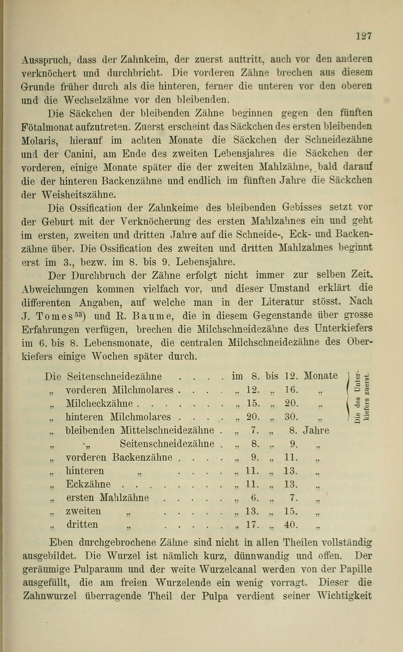 Ausspruch, dass der Zahnkeim, der zuerst auttritt, auch vor den anderen verknöchert und durchbricht. Die vorderen Zähne brechen aus diesem Grunde früher durch als die hinteren, ferner die unteren vor den oberen und die Wechselzähne vor den bleibenden. Die Säckchen der bleibenden Zähne beginnen gegen den fünften Fötalmonat aufzutreten. Zuerst erscheint das Säckchen des ersten bleibenden Molaris, hierauf im achten Monate die Säckchen der Schneidezähne und der Canini, am Ende des zweiten Lebensjahres die Säckchen der vorderen, einige Monate später die der zweiten Mahlzähne, bald darauf die der hinteren Backenzähne und endlich im fünften Jahre die Säckchen der Weisheitszähne. Die Ossifikation der Zahnkeime des bleibenden Gebisses setzt vor der Geburt mit der Verknöcherung des ersten Mahlzahnes ein und geht im ersten, zweiten und dritten Jahre auf die Schneide-, Eck- und Backen- zähne über. Die Ossifikation des zweiten und dritten Mahlzahnes beginnt erst im 3., bezw. im 8. bis 9. Lebensjahre. Der Durchbruch der Zähne erfolgt nicht immer zur selben Zeit. Abweichungen kommen vielfach vor, und dieser Umstand erklärt die differenten Angaben, auf welche man in der Literatur stösst. Nach J. Toni es53) und ß. Baume, die in diesem Gegenstande über grosse Erfahrungen verfügen, brechen die Milchschneidezähne des Unterkiefers im 6. bis 8. Lebensmonate, die centralen Milchschneidezähne des Ober- kiefers einige Wochen später durch. Die Seitenschneidezähne . . . . im 8. bis 12. Monate ] ä« 1 'S h ,, vorderen Milchmolares ...... 12. ,. 16. ,, ( p 1 „ Milcheckzähne n 15. n 20. .. ( 1J „ hinteren Milchmolares . . ... ,, 20. ,. 30. .. ) gs „ bleibenden Mittelschneidezähne . ,, 7. „ 8. Jahre „ -„ Seitenschneidezähne . „ 8. ,, 9. „ vorderen Backenzähne .-..-..„ 9. „ 11. „ hinteren „ ...... 11. .. 13. „ „ Eckzähne „ 11. „ 13. „ „ ersten Mahlzähne „ 6. „ 7. „ „ zweiten „ „13. „ 15. „ „ dritten „ „17. ,, 40. „ Eben durchgebrochene Zähne sind nicht in allen Theilen vollständig ausgebildet. Die Wurzel ist nämlich kurz, dünnwandig und offen. Der geräumige Pulparaum und der weite Wurzelcanal werden von der Papille ausgefüllt, die am freien Wurzelende ein wenig vorragt. Dieser die Zahnwurzel überragende Theil der Pulpa verdient seiner Wichtigkeit