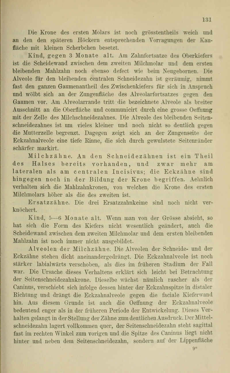 Die Krone des ersten Molars ist noch grösstentheils weidi und an den den späteren Höckern entsprechenden Vorragenden der Kau- fläche mit kleinen Scherbchen besetzt. Kind, gegen 3 Monate alt. Am Zahnfortsatze des Oberkiefers ist die Scheidewand zwischen dem zweiten Milchmolar und dem ersten bleibenden Mahlzahn noch ebenso defect wie beim Xeii2-ebornen. Die Alveole für den bleibenden centralen Schneidezahn ist geräumig, nimmt fast den ganzen Gaumenantheil des Zwischenkiefers für sich in Anspruch und wölbt sich an der Zungenfläche des Alveolarfortsatzes gegen den Gaumen vor. Am Alveolarrande tritt die bezeichnete Alveole als breiter Ausschnitt an die Oberfläche und communicirt durch eine grosse Oetfnung mit der Zelle des Milchschneidezahnes. Die Alveole des bleibenden Seiten- schneidezahnes ist um vieles kleiner und noch nicht so deutlich gegen die Mutterzelle begrenzt. Dagegen zeigt sich an der Zungenseite der Eckzahnalveole eine tiefe Kinne, die sich durch gewilistete Seitenränder schärfer markirt. Milchzähne. An den Schneidezähnen ist ein Theil des Halses bereits vorhanden, und zwar mehr am lateralen als am centralen Incisivus; die Eckzähne sind hingegen noch in der Bildung der Krone begriffen. Aelmlich verhalten sich die Mahlzahnkronen, von welchen die Krone des ersten Müchmolars höher als die des zweiten ist. Ersatzzähne. Die drei Ersatzzahnkeime sind noch nicht ver- knöchert. Kind, 5—6 Monate alt. Wenn man von der Grösse absieht, so hat sich die Form des Kiefers nicht wesentlich geändert, auch die Scheidewand zwischen dem zweiten Milchmolar und dem ersten bleibenden Mahlzahn ist noch immer nicht ausgebildet. Alveolen der Milchzähne. Die Alveolen der Schneide- und der Eckzähne stehen dicht aneinandergedrängt. Die Eckzahnalveole ist noch stärker labialwärts verschoben, als dies im früheren Stadium der Fall war. Die Ursache dieses Verhaltens erklärt sich leicht bei Betrachtung der Seitenschneidezahnkrone. Dieselbe wächst nämlich rascher als der Caninus, verschiebt sich infolge dessen hinter der Eckzahnspitze in distaler Richtung und drängt die Eckzahnalveole gegen die iaeiale Kieferwand hin. Aus diesem Grunde ist auch die Oetfuung der Eckzahnalveole bedeutend enger als in der früheren Periode der Entwicklung. Dieses Ver- halten gelangt in der Stellung der Zähne zum deutlichen Ausdruck. Der Mittel- schneidezahn lagert vollkommen quer, der Seitensclmeidezahn steht sagittal fast im rechten Winkel zum vorigen und die Spitze des Caninus liegt nicht hinter und neben dem Seitensclmeidezahn, sondern auf der Lippenfläche 9*