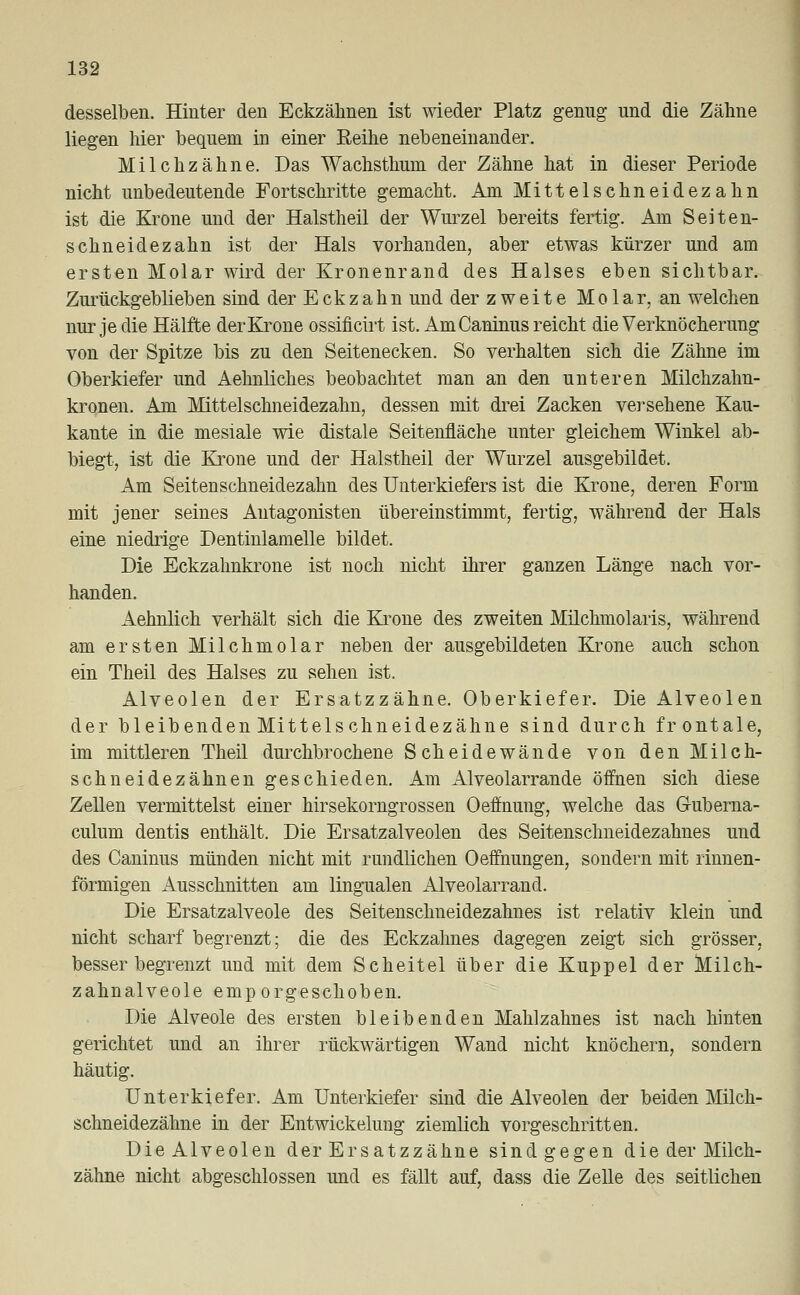 desselben. Hinter den Eckzähnen ist wieder Platz genug und die Zähne liegen hier bequem in einer Reihe nebeneinander. Milchzähne. Das Wachsthum der Zähne hat in dieser Periode nicht unbedeutende Fortschritte gemacht. Am Mittelschneidezahn ist die Krone und der Halstheil der Wurzel bereits fertig. Am Seiten- schneidezahn ist der Hals vorhanden, aber etwas kürzer und am ersten Molar wird der Kronenrand des Halses eben sichtbar. Zurückgeblieben sind der Eckzahn und der zweite Molar, an welchen nur je die Hälfte der Krone ossificirt ist. AmCaninus reicht die Verknöcherung von der Spitze bis zu den Seitenecken. So verhalten sich die Zähne im Oberkiefer und Aehnliches beobachtet man an den unteren Milchzahn- kronen. Am Mittelschneidezahn, dessen mit drei Zacken versehene Kau- kante in die mesiale wie distale Seitenfläche unter gleichem Winkel ab- biegt, ist die Krone und der Halstheil der Wurzel ausgebildet. Am Seitenschneidezahn des Unterkiefers ist die Krone, deren Form mit jener seines Antagonisten übereinstimmt, fertig, während der Hals eine niedrige Dentinlamelle bildet. Die Eckzahnkrone ist noch nicht ihrer ganzen Länge nach vor- handen. Aehnlich verhält sich die Krone des zweiten Milchmolaris, während am ersten Milchmolar neben der ausgebildeten Krone auch schon ein Theil des Halses zu sehen ist. Alveolen der Ersatzzähne. Oberkiefer. Die Alveolen der bleibenden Mittelschneidezähne sind durch frontale, im mittleren Theil durchbrochene Scheidewände von den Milch- schneidezähnen geschieden. Am Alveolarrande öffnen sich diese Zellen vermittelst einer hirsekorngrossen Oeffnung, welche das Guberna- culum dentis enthält. Die Ersatzalveolen des Seitenschneidezahnes und des Caninus münden nicht mit rundlichen Oeffnungen, sondern mit rinnen- förmigen Ausschnitten am lingualen Alveolarrand. Die Ersatzalveole des Seitenschneidezahnes ist relativ klein und nicht scharf begrenzt; die des Eckzahnes dagegen zeigt sich grösser, besser begrenzt und mit dem Scheitel über die Kuppel der Milch- zahnalveole emporgeschoben. Die Alveole des ersten bleibenden Mahlzahnes ist nach hinten gerichtet und an ihrer rückwärtigen Wand nicht knöchern, sondern häutig. Unterkiefer. Am Unterkiefer sind die Alveolen der beiden Milch- schneidezähne in der Entwicklung ziemlich vorgeschritten. Die Alveolen der Ersatzzähne sind gegen die der Milch- zähne nicht abgeschlossen und es fällt auf, dass die Zelle des seitlichen