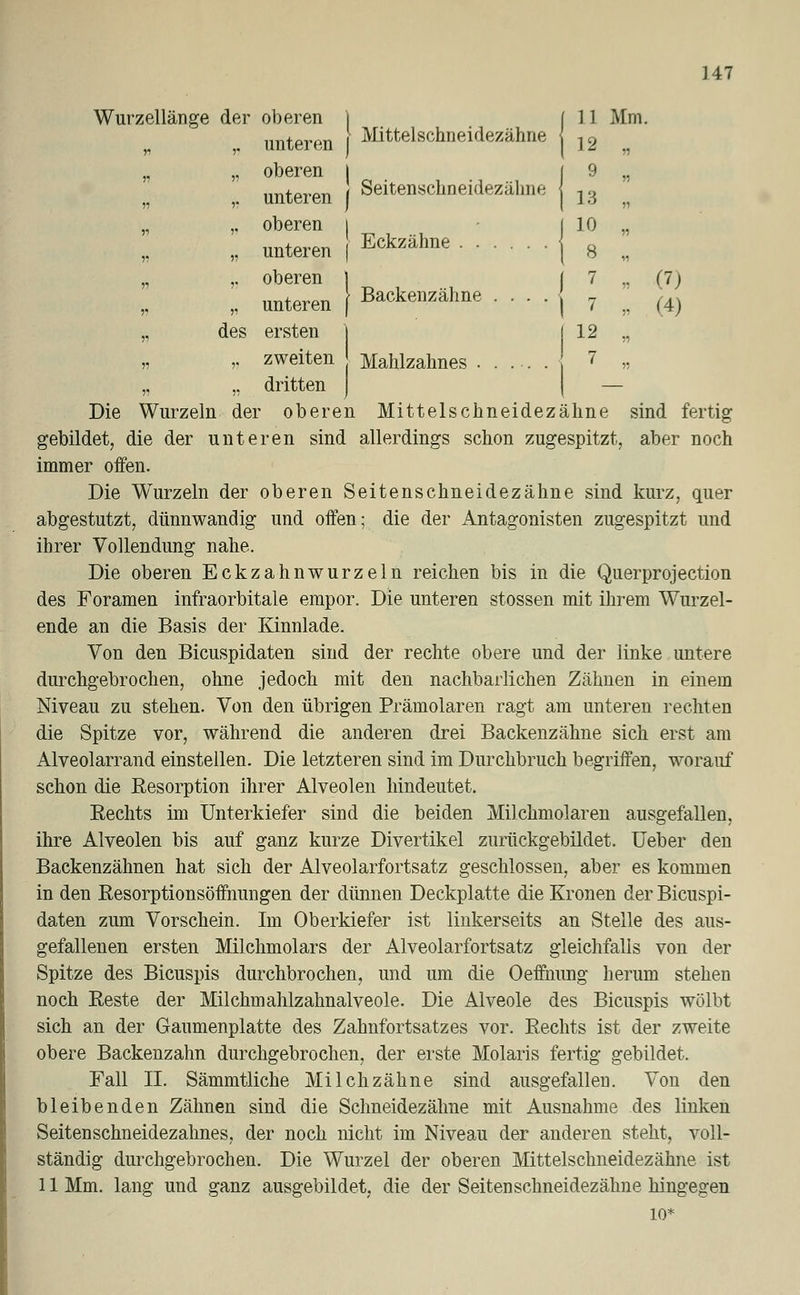 I Mittelschneidezähne t Seitenschneidezähne nteren I Eckzähne 11 Mm. 12 » 9 « 13 n 10 M 8 i? 7 M (7) 7 (4) 12 M 7 147 Wurzellänge der oberen „ ,. unterer „ „ oberen „ ,. unterer „ ,. oberen „ „ unterer „ ,. oberen 1 „ unteren f Backenzähne ,-, des ersten j ,, zweiten Mahlzahnes . „ „ dritten — Die Wurzeln der oberen Mittelschneidezähne sind fertig gebildet, die der unteren sind allerdings schon zugespitzt, aber noch immer offen. Die Wurzeln der oberen Seitenschneidezähne sind kurz, quer abgestutzt, dünnwandig und offen; die der Antagonisten zugespitzt und ihrer Vollendung nahe. Die oberen Eckzahnwurzeln reichen bis in die Querprojection des Foramen infraorbitale empor. Die unteren stossen mit ihrem Wurzel- ende an die Basis der Kinnlade. Von den Bicuspidaten sind der rechte obere und der linke untere durchgebrochen, ohne jedoch mit den nachbarlichen Zähnen in einem Niveau zu stehen. Von den übrigen Prämolaren ragt am unteren rechten die Spitze vor, während die anderen drei Backenzähne sich erst am Alveolarrand einstellen. Die letzteren sind im Durchbruch begriffen, worauf schon die Resorption ihrer Alveolen hindeutet. Rechts im Unterkiefer sind die beiden Milchmolaren ausgefallen, ihre Alveolen bis auf ganz kurze Divertikel zurückgebildet. Ueber den Backenzähnen hat sich der Alveolarfortsatz geschlossen, aber es kommen in den Resorptionsöffnungen der dünnen Deckplatte die Kronen der Bicuspi- daten zum Vorschein. Im Oberkiefer ist linkerseits an Stelle des aus- gefallenen ersten Milchmolars der Alveolarfortsatz gleichfalls von der Spitze des Bicuspis durchbrochen, und um die Oeffnung herum stehen noch Reste der Milchmahlzahnalveole. Die Alveole des Bicuspis wölbt sich an der Gaumenplatte des Zahnfortsatzes vor. Rechts ist der zweite obere Backenzahn durchgebrochen, der erste Molaris fertig gebildet. Fall II. Sämmtliche Milchzähne sind ausgefallen. Von den bleibenden Zähnen sind die Schneidezähne mit Ausnahme des linken Seiten Schneidezahnes, der noch nicht im Niveau der anderen steht, voll- ständig durchgebrochen. Die Wurzel der oberen Mittelschneidezähne ist 11 Mm. lang und ganz ausgebildet, die der Seitenschneidezähne hingegen 10*