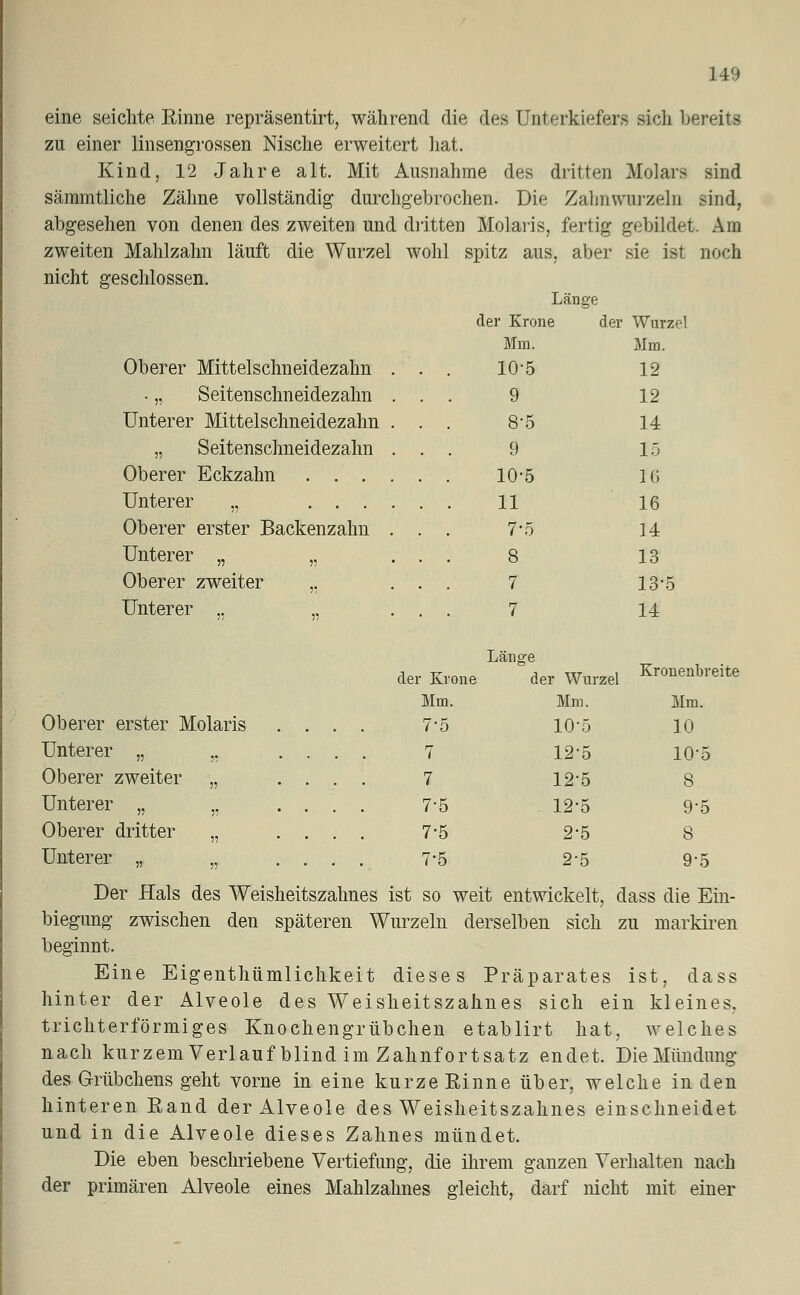 eine seichte Rinne repräsentirt, während die des Unterkiefers sich bereite zu einer linsengrossen Nische erweitert hat. Kind, 12 Jahre alt. Mit Ausnahme des dritten Molars sind sämmtliche Zähne vollständig durchgebrochen. Die Zahnwurzeln sind, abgesehen von denen des zweiten und dritten Molaris, fertig gebildet. Am zweiten Mahlzahn läuft die Wurzel wohl spitz aus, aber sie ist noch nicht geschlossen. Oberer Mittelschneidezahn - „ Seitenschneidezahn Unterer Mittelschneidezahn „ Seitenschneidezahn Oberer Eckzahn . . . Unterer „ ... Oberer erster Backenzahn Unterer „ „ Oberer zweiter „ Unterer ,. Länge der Krone der Wurzel Mm. 10-5 9 8-5 9 10-5 11 7-5 8 7 7 Mm. 12 12 14 15 IG 16 14 13 13-5 14 Oberer erster Molaris Unterer „ ,. Oberer zweiter „ Unterer „ ,, Oberer dritter „ Unterer „ Länge der Krone der Wurzel Kro»enbreite Mm. Mm. Mm. 7-5 10-5 10 7 12'5 10-5 7 12-5 8 75 12-5 9-5 7-5 2-5 8 7-5 2-5 9-5 Der Hals des Weisheitszahnes ist so weit entwickelt, dass die Ein- biegung zwischen den späteren Wurzeln derselben sich zu markiren beginnt. Eine Eigentümlichkeit dieses Präparates ist, dass hinter der Alveole des Weisheitszahnes sich ein kleines, trichterförmiges Knochengrübchen etablirt hat, welches nach kurzem Verlauf blind im Zahnfortsatz endet. Die Mündung des Grübchens geht vorne in eine kurze Rinne über, welche in den hinteren Rand der Alveole des Weisheitszahnes einschneidet und in die Alveole dieses Zahnes mündet. Die eben beschriebene Vertiefung, die ihrem ganzen Verhalten nach der primären Alveole eines Mahlzahnes gleicht, darf nicht mit einer