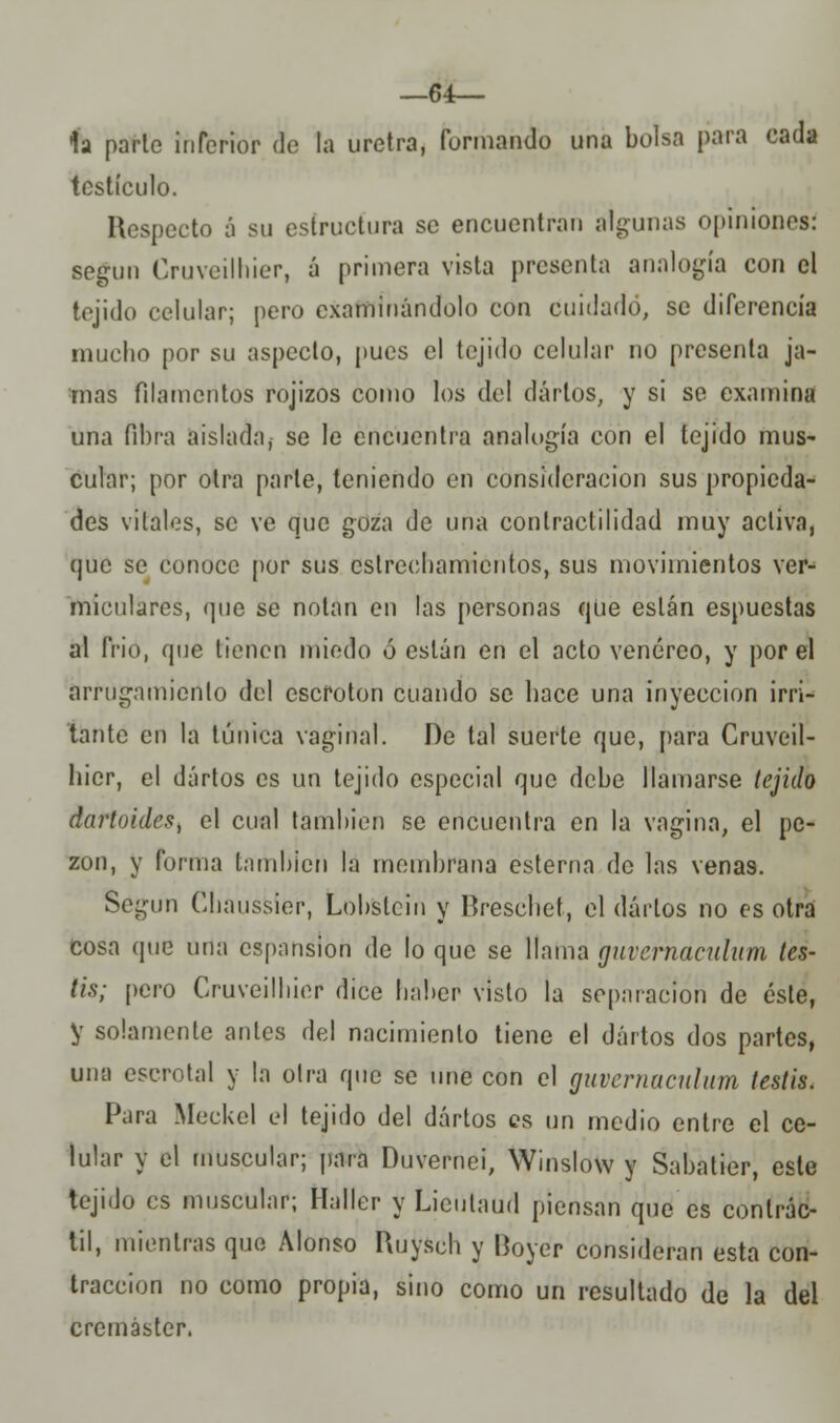 —64— 1a parle inferior de la uretra, formando una bolsa para cada testículo. Respecto á su estructura se encuentran algunas opiniones: según Cruveilhier, á primera vista presenta analogía con el tejido celular; pero examinándolo con cuidado, se diferencia mucho por su aspecto, pues el tejido celular no presenta ja- mas filamentos rojizos como los del darlos, y si se examina una fibra aislada, se le encuentra analogía con el tejido mus- cular; por otra parte, teniendo en consideración sus propieda- des vitales, se ve que goza de una contractilidad muy activa, que se conoce por sus estrechamientos, sus movimientos ver- miculares, que se notan en las personas que están espuestas al frió, que tienen miedo ó están en el acto venéreo, y por el arrugamiento del escroton cuando se hace una inyección irri- tante en la túnica vaginal. De tal suerte que, para Cruveil- hier, el darlos es un tejido especial que debe llamarse tejido dartoides, el cual también se encuentra en la vagina, el pe- zón, y furnia también la membrana esterna de las venas. Según Cbaussier, Lobstcin y Bréschet, el darlos no es otra cosa que una esponsión de lo que se llama guvernaculum les- tis; pero Cruveilhier dice haber visto la separación de éste, y solamente antes del nacimiento tiene el dártos dos partes, una escrotal y la otra que se une con el guvernaculum testis. Para Meckel el tejido del dártos es un medio entre el ce- lular y el muscular; para Duvernei, Winslow y Sabatier, este tejido es muscular; tíaílér y Lieulaud piensan que es contrác- til, mientras que Alonso Ruysch y Hoyer consideran esta con- tracción no como propia, sino como un resultado de la del crernáster.