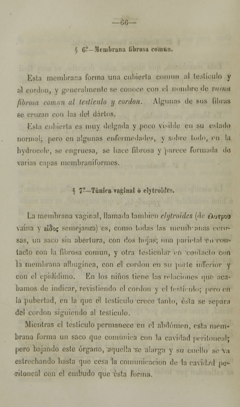 -ÓG- § C°—Ulcaibraua (ibrosa román. Esta membrana forma una cubierta ('.(11111111 al testículo y ;il cordón, y generalmente se conoce con el nombre de vaina fibrosa común al testículo y cordón. Algunas de sus fibras se cruzan con las del darlos. Esta cubierta es muy delgada y poco visible en su estado normal; pero en algunas eufermedades, y sobre lodo, en la hydrocele, se engruesa, se hace fibrosa y parece formada de varias capas membraniCormes. $ 7—Túnica vagin.it ó elytrol La membrana vaginal, llamada laminen elijlroides (de eXutpoíl vaina v ei^o? semejanza) es, como todas las inoinlranas cero- sas, un saco sin abertura, con dos hojas; una paiielal c>\ con- tacto con la fibrosa común, y otra lesticular eu contacto cofl la membrana albugínea, con el cordón eti su palle inferior y con el epidídimo. I*'n los niños tiene las relaciones que aca- bamos de indicar, revistiendo el cordón y el leslíeobi; pero en la pubertad, en la que el testículo -crece lanío, ésta se separa de! cordón siguiendo al testículo. Mientras el testículo permanece cu e! abdomen, esla mem- brana forma un saco que comunica con la cavidad periloueal; pero bajando este órgano, aquella se alarga y su cueílo se va estrechando hasta que cesa la comunicación de la cavidad pe=- ■ritoneal con el embudo que ésta forma.