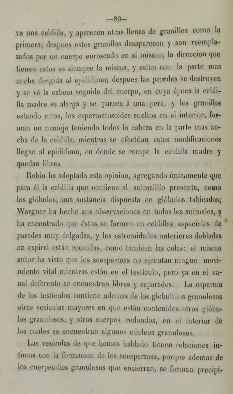 —80- ve una celdilla, y aparecen otras llenas de granillos como la primera; después estos granillos desaparecen y son reempla- zados por un cuerpo enroscado en sí mismo; la dirección que tienen estos es siempre la misma, y están con la parto mas ancha dirigida al qmlídimu; después las paredes se destruyen y se vé la cabeza seguida del cuerpo, en cuya época la celdi- lla madre se alarga y se parece á una pera, y los granillos estando rotos, los espermatozoides sueltos en el interior, for- man un manojo teniendo todos la cabeza en la parte mas an- cha de la celdilla; mientras se efectúan estas modificaciones llegan al epidídimo, en donde se rompe la celdilla madre y quedan libres Robin ha adoptado esta opinión, agregando únicamente que para él la celdilla que contiene al animalillo presenta, como los glóbulos, una sustancia dispuesta en glóbulos tabicados; Wargner ha hecho sus observaciones en todos los animales, y ha encontrado que éstos se forman en celdillas especiales de paredes muy delgadas, y las estremidades anteriores dobladas en espiral están reunidas, como también las colas: el mismo autor ha visto que los zoospermas no ejecutan ningún movi- miento vital mientras están en el testículo, [tero ya en el ca- nal deferente se encuentran libres y separados. La esperma de los testículos contiene ademas de los globulillos granulosos otras vesículas mayores en que están contenidos otros glóbu- los granulosos, y otros cuerpos redondos, en el interior de los cuales se encuentran algunos núcleos granulosos. Las vesículas de que hemos hablado tienen relaciones ín- timas con la formación de los zoospermas, porque ademas de los cuerpecillos granulosos que encierran, se forman precipi-