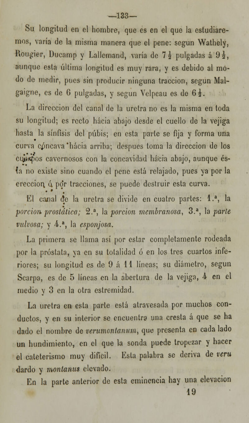 Su longitud en el hombre, que es en el que la estudiare- mos, varía de la misma manera que el pene: según Wathely, Hougier, üucamp y Lallcmand, varía de 7^ pulgadas á 92, aunque esta última longitud es muy rara, y es debido al mo- do de medir, pues sin producir ninguna tracción, según Mal- gaigne, es de G pulgadas, y según Velpeau es de 6i. La dirección del canal de la uretra no es la misma en toda su longitud; es recto hacia abajo desde el cuello de la vejiga hasta la sínfisis del pubis; en esta parle se fija y forma una curva cpncava 'hacia arriba; después toma la dirección de los cujíRpos cavernosos con la concavidad hacia abajo, aunque és- ía no existe sino cuando el pene está relajado, pues ya por la erección, ó. por tracciones, se puede destruir esta curva. El canal de la uretra se divide en cuatro partes: 1.a, la porción, prostética; 2.a, la porción membranosa, 3.a, la parte vnlvosa; y 4.a, la esponjosa. La primera se llama así por estar completamente rodeada por la próstata, ya en su totalidad ó en los tres cuartos infe- riores; su longitud es de 9 á 11 líneas; su diámetro, según Scarpa, es de 5 líneas en la abertura de la vejiga, 4 en el medio y 3 en la otra estremidad. La uretra en esta parte está atravesada por muchos con- ductos, y en su interior se encuentra una cresta á que se ha dado el nombre de verumontanum, que presenta en cada lado un hundimiento, en el que la sonda puede tropezar y hacer el cateterismo muy difícil. Esta palabra se deriva de veru <lardo y montanus elevado. En la parte anterior de esta eminencia hay una elevación 19