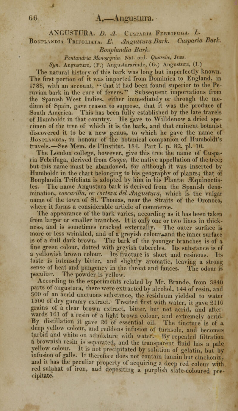 ANGUSTURA. D. A. Cuspabja Fkrhifuga. L. Bontlandia Trifoliata. E. Angustura Bark. Cusparia Bark. Bonplandia Bark. Pentandria Munogynia. Nut. ord. Qwssiw, Juss. Syn. Ang-usture, (F.) Angusturarinde, (G.) Angustura, (I.) The natural history of this bark was long but imperfectly known. The first portion of it was imported from Dominica to England, in 1788, with an account,  that it had been found superior to the Pe- ruvian bark in the cure of fevers. Subsequent importations from the Spanish West Indies, either immediately or through the me- dium of Spain, gave reason to suppose, that it was the produce of South America. This has been fully established by the late travels of Humboldt in that country. He gave to Willdenow a dried spe- cimen of the tree of which it is the bark, and that eminent botanist discovered it to be a new genus, to which he gave the name of Bonplandia, in honour of the botanical companion of Humboldt's travels.—See Mem. de lTnstitut. 184. Part I. p. 82. pi. 10. The London college, however, give this tree the name of Cuspa- ria Febrifuga, derived from Cuspa, the native appellation of the tree; but this name must be abandoned, for although it was inserted by Humboldt in the chart belonging to his geography of plants; that of Bonplandia Trifoliata is adopted by him in his Plantae iEquinoctia- les. The name Angustura bark is derived from the Spanish deno- mination, cascarilla, or corteza del Angustura, which is the vulgar name of the town of St. Thomas, near the Straits of the Oronoco, where it forms a considerable article of commerce. The appearance of the bark varies, according as it has been taken from larger or smaller branches. It is only one or two lines in thick- ness, and is sometimes cracked externally. The outer surface is more or less wrinkled, and of a greyish coloui>and the inner surface is of a dull dark brown. The bark of the younger branches is of a fine green colour, dotted with greyish tubercles. Its substance is of a yellowish brown colour. Its fracture is short and resinous. Its taste is intensely bitter, and slightly aromatic, leaving a strong sense of heat and pungency in the throat and fauces. The odour is peculiar. The powder is yellow. According to the experiments related by Mr. Brande, from 3840 parts of angustura, there were extracted by alcohol, 144 of resin, and 300 of an acrid unctuous substance, the residuum yielded to water 1500 of dry gummy extract. Treated first with water, it gave 2110 grains of a clear brown extract, bitter, but not acrid, and after- wards 161 of a resin of a light brown colour, and extremely acrid. By distillation it gave 26 of essential oil. The tincture is of a deep yellow colour, and reddens infusion of turnsole, and becomes turbid and white on admixture with Mater. Bv repeated filtration a brownish resin is separated, and the transparent fluid has a pale yellow colour. It is not precipitated by solution of gelatin, but by mfusion of galls. It therefore does not contain tannin but cinchonin, and it has the peculiar property of acquiring a deep red colour with red sulphat of iron, and depositing a purplish slate-coloured pre- cipitate.