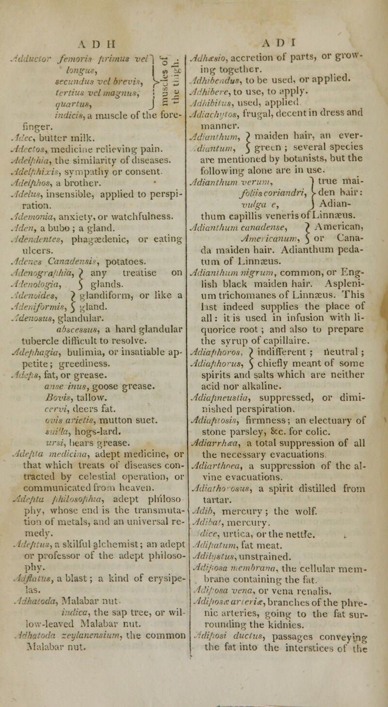 Adductor femoris /iri/nus vel~\ ^ ^ long I m ~u secundus vet b+evis, ^>~z s fortius vcl nmgnus, \ -, « quart us, J S ~ indicie,a muscle of the fore- finger. . butter milk. Adectos, medicine relieving pain. ■(/, the similarity of diseases. Adelfihixis, sympathy or consent. Adelfihos, a brother. Adehts, insensible, applied to perspi- ration. Ademonia, anxiety, or watchfulness. Aden, a bubo ; a gland. Atlendentes, phagedenic, or eating- ulcers. Adenes Canadensis', potatoes. Adenografthia, } any treatise on Adenologia, $ glands. Adcnoides, ~} glandiform, or like a Adenifbrmis, 3 gland. . ldeno8Us, glandular. abscesstis, a hard glandular tubercle difficult to resolve. Ade/ihagia, bulimia, or insatiable ap- petite; greediness. . idefis, fat, or grease. anse inns, goose grease. Bovis, tallow. cervi, (leers fat. Qvis arid is, mutton suet. suV.la, hogs-lard. ursi, bears grease. Adefita medicina, adept medicine, or that which treats of diseases con- tracted by celestial operation, or communicated from heaven. Adef%ta fihilosofinia, adept philoso- phy, whose end is the transmuta- tion of metals, and an universal re- medy. us, a skilful alchemist; an adept or professor of the adept philoso- phy. Us, a blast; a kind of erysipe- las. .Idhatoda, Malabar nut indica, the sap tree, or wil- low-leaved Malabar nut. Idhatoda zeylanensium, the common Malabar nut. Adhesio, accretion of parts, or grow- ing together. Jdhibendus, to be used, or applied. Ai!hibere,\.o use, to apply. Adhibitus, used, applied Adiachytos, frugal, decent in dress and manner. Adianthum, ? maiden hair, an ever- .diantum, $ gfecn ; several species are mentioned by botanists, but the following alone are in use. Adianthum verum, J true mai- foliiscoriandri, vden hair: viilga e, J Adian- thum capillis veneris of Linnaeus. Adianthum canadense, ~) American, A/nei icartum, 3 ov Cana- da maiden hair. Adianthum peda- tum of Linnaeus. Adianthum nigrum, common, or Eng- lish black maiden hair. Aspleni- um trichomanes of Linnaeus. This list indeed supplies the place of all: it is used in infusion with li- quorice root; and also to prepare the syrup of capillaire. Adiafihoros, > indifferent ; neutral ; Adiaphorus, 5 chiefly meant of some spirits and salts which are neither acid nor alkaline. Adiajineuslia, suppressed, or dimi- nished perspiration. Adiafuosis, firmness; an electuary of stone parsley, &c. for colic. Adiarrhxa, a total suppression of all the necessary evacuations Adiarthnea, a suppression of the al- vine evacuations. Adiathoro&as, a spirit distilled from tartar. Adib, mercury ; the wolf. Adibat, mercury. dice, urtica, or the nettle. Adifxatum, fat meat. Adilystus, un strain ed. Adif/osa membrava, the cellular mem- brane containing the fat. tdiftosa vena, or vena renalis. Adi/iosaarterix, branches of the phre- nic arteries, going to the fat sur- rounding the kidnies. tdifiosi ductus, passages conveying the fat into the interstices of the {