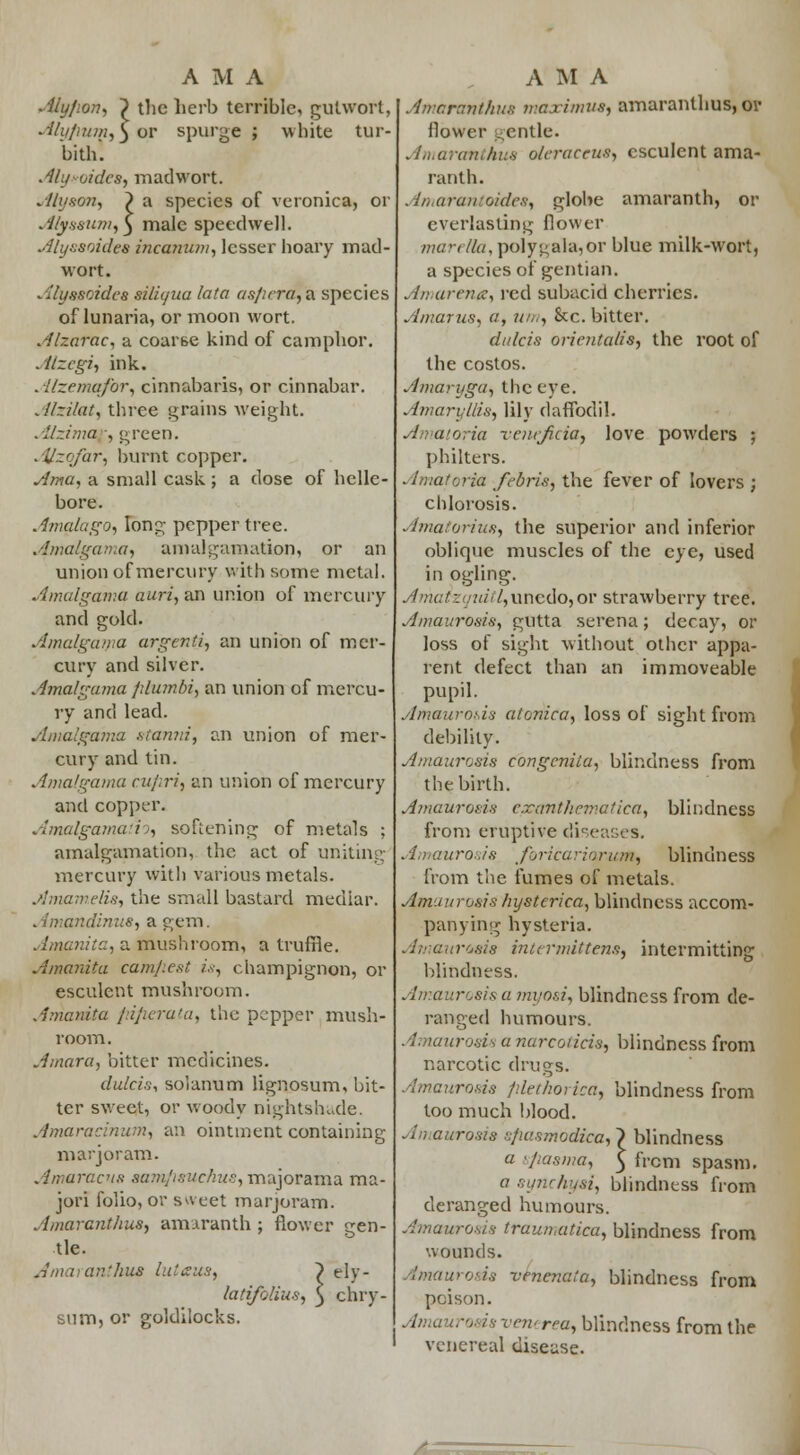 Alyfion, ~> the herb terrible, gutwort, Alyflum,) or spurge; white tur- bith. Aly*oidcs, mad wort. Alvson, ) a species of veronica, or Alyssum,^ male speedwell. Alyssoides incanum, lesser hoary mad- wort. Alyssoides siliijiia lata as/irra, a species of lunaria, or moon wort. Alzarac, a coai'6e kind of camphor. . lizcgi, ink. . ilzemqfor, cinnabaris, or cinnabar. Alzilat, three grains weight. .llzima -, green. Alzofar, burnt copper. Ama, a small cask ; a dose of helle- bore. Amalago, long pepper tree. Amalgan.a, amalgamation, or an union of mercury with some metal. Amalgama auri, an union of mercury and gold. Amalgama argenU, an union of mer- cury and silver. Amalgama filumbi, an union of mercu- ry and lead. Amalgama stoma, an union of mer- cury and tin. Amalgama cufiri, an union of mercury and copper. Amalgamation softening of metals ; amalgamation, the act of uniting mercury with various metals. Amamelia, the small bastard medlar. idinue, a gem. . imanita, a mushroom, a truffle. Amanita camjieat is, champignon, or esculent mushroom. Amanita fdfieraia, the pepper mush- room . Amara, bitter medicines. dulcis, solatium lignosum, bit- ter sweet, or woody nightshade. Amaracinum, an ointment containing marjoram. Amaracns aamfisuchus, majorama ma- jori folio, or sweet marjoram. Amaranthus, amaranth ; flower gen- tle. Jmarantlvus luteins, ~) ely- latijalius, ^ chry- sum, or goldilocks. Amaranthus maximus, amaranthus, or flower gentle. Amaranthus oleraccus, esculent ama- ranth. Amarantoidea, globe amaranth, or everlasting flower marella, polygala,or blue milk-wort, a species of gentian. Amareng, red subacid cherries. Amuruss a, um, Sec bitter. dulcis oricntalis, the root of the costos. Amaryga, the eye. Amaryllis, lily daffodil. Amaioria rentjteia, love powders ; philters. Amatoria febris, the fever of lovers ; chlorosis. Amatorius, the superior and inferior oblique muscles of the eye, used in ogling. v///,uncdo,or strawberry tree. Amaurosis, gutta serena; decay, or loss of sight without other appa- rent defect than an immoveable pupil. Amaurosis atonica, loss of sight from debility. Amaurosis congenita, blindness from the birth. Amaurosis c.rantlicmatica, blindness from eruptive diseases. Amaurosis foricariorum, blindness from the fumes of metals. Amaurosis hysterica, blindness accom- panying hysteria. . imaiirbsis intermittens, intermitting blindness. Amaurosis a myosi, blindness from de- ranged humours. . •/. taurosU a narco/icis, blindness from narcotic drugs. Amaurosis filethorica, blindness from too much blood. An aurosia sfiasmodica, > blindness a sfiasma, $ from spasm. a aynchysi, blindness from deranged humours. Amaurosis traumatica, blindness from wounds. tmaurosis venenata, blindness from poison. - is vent rea, blindness from the venereal disease. /-