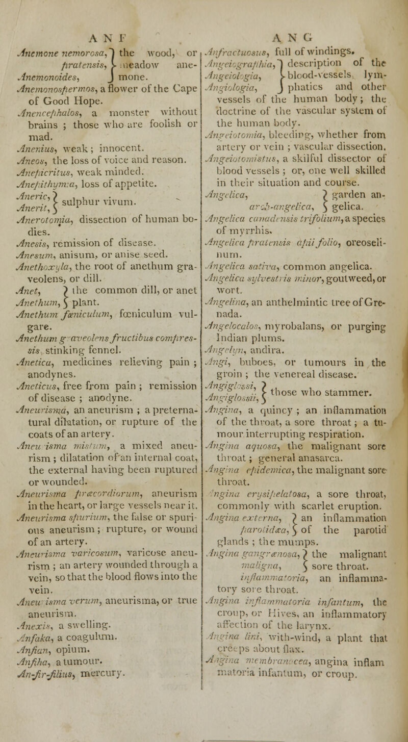 Anemone nemorosa,} the wood, or pratensis, > .neadow ane- Anemonoides, J mone. Anemonospermos,iLflovtev of the Cape of Good Hope. Anencefhalos, a monster without brains ; those who are foolish or mad. Anenius, weak; innocent. Aneon, the loss of voice and reason. Anefiicritus, weak minded. Anefithynva, loss of appetite. Anelic,} , . . ./> sulphur vivum. Anerit, ) ' Anerotomia, dissection of human bo- dies. Anesis, remission of disease. Anesum, anisum, or anise seed. Anethoxyla, the root of anethum gra- veolens, or dill. Anet, ) lhe common dill, or anet Anethum, $ plant. Anethum fomiculum, focniculum vul- gare. Anethum gaveolpnsfructibus comfires- sis stinking fennel. Aneticu, medicines relieving pain ; anodynes. Ancticus, free from pain ; remission of disease ; anodyne. Ancwisma, an aneurism ; a preterna- tural dilatation, or rupture of the coats of an artery. Aneu isma mistumt a mixed aneu- rism ; dilatation of'an internal coat, the external having been ruptured or wounded. Aneurisma pracordiorutn, aneurism in the heart, or large vessels near it. Aneurisma spurium; the false or spuri- ous aneurism ; rupture, or wound of an artery. Aneurisma varicosum, varicose aneu- rism ; an artery wounded through a vein, so that the blood flows into the vein. Aneurisma verum, aneurisma, or true aneurism. Anexis, a swelling. Anfaka, a coagulum. Anfian, opium. Anfiha, a tumour. An-Jir-Jilius, mercury. ■ctuosus, full of windings. graft/iia,] description of the Angeiologia, I blood-vessels lym- Angiotogia, J phatics and other vessels of the human body; the doctrine of the vascular system oi the human body. Angeiotomia, bleeding, whether from artery or vein ; vascular dissection. ',vi, a skilful dissector of blood vessels ; or, one well skilled in their situation and course. Angelica, ? garden an- arc&'angelica, 3 gelica. Angelica canadt nsis irifolium, a species of myrrh is. Angelica pratensis ajrii folio, oreoseli- nurn. Angelica sativa, common angelica. Angelica sylvestris minor, goutweed, or wort. Angelina, an anthelmintic tree of Gre- nada. Angelocalos, myrobalans, or purging Indian plums. . ingelyn, andira. Angi, buboes, or tumours in the groin ; the venereal disease. Angighssi, ? ,. . *„r ,w ■■ r those who stammer. Angiglossii, 3 Angina, a quincy ; an inflammation of the throat, a sore throat; a tu- mour interrupting respiration. Angina aquosa, the malignant sore throat; general anasarca. Angina epidemica, the malignant sore' throat. ngina erysipelatosa, a sore throat, commonly with scarlet eruption. Angina externa, \ an inflammation parotidtea, ) °f the parotid glands ; the mumps. Angina gangrenosa,? the malignant > sore throat. iriflammatoria, an inflamma- tory sore throat. Angina atoria infantum, the croup, or Hives, an inflammatory lion of the larynx. lini, with-wind, a plant that creeps about flax. , angina inflam matoria infantum, or croup.