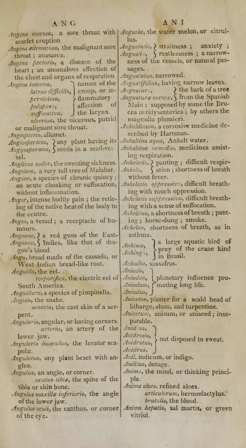 . ingina mucosa, a sore throat with scarlet eruption Angina adematosa, the malignant sore throat ; anasarca. Angina fieetoris, a disease of the heart ; an anomalous affection of the chest and organs of respiration Angina interna, ] names of the latens difficilis, | croup, or in- fierniciosa, [ flammatory fioly/iosa, ' affection of suffocativa, J the larynx. ulcerosa, the ulcerous, putrid or malignant sore throat. . ingiofiteris, alkanet. Angiospermos, /any plant having its Angyosjiermos, 3 seeds in a seed-ves sel. AngHcus sudor, the sweating sickness. Angolam% a very tall tree of Malabar. Angone, a species of chronic quincy ; an acute choafcing or suffocation, without inflammation. Angor, intense bodily pain ; the retir- ing of the native heat of the body to the centre. Angos, a vessel; a receptacle of hu- mours. Angsana, 1 a red gum of the East- Angsvrva,\ Indies, like that of dra- gon's blood ■ ■Ingit, bread made of the cassada, or West Indian bread-like root. Anguilla, the eel. torjiorijica, the electric eel of South America. Anguillare, a species of pimpinella. Anguis, the snake. senecta, the cast skin of a ser- pent. Angularis, angular, or having corners. arteria, an artery of the lower jaw. Angularis inusculus, the levator sca- pulce. Angulatus, any plant beset with an- gles. Angulus, an angle, or corner. ucutus libit, the spine of the tibia or shin bone. Angulusmaxilla infer ioris, the angle of the lower jaw. Angulus oculi, the canthus, or corner of the eve. Angaria, the water melon, or citrul- lus. Angustatio, ? straitness ; anxiety ; Angusiii, } restlessness ; a narrow- ness of the vessels, or natural pas- sages. Angustatus, narrowed. Angustifolius, having narrow leaves. Ariguslur. , ? the bark of a tree Anguaiurx cortex,} from the Spanish Main ; supposed by some the Bru- cea autidysenterica ; by others the magnolia plumieri. Anhaidinum, a corrosive medicine de- scribed by Hartman. AnhaUina atjua, Anhalt water. Anhaltina renudia, medicines assist- ing respiration. Anheiatio, \ panting ; difficult respir- Anhelo, \ ation ; shortness of breath without fever. Anheiatio ofijiressiv::, difficult breath- ing with much oppression. Anheiatio suj/prcssiva, difficult breath- ing with a sense of suffocation. Anhelitus<i a shortness of breath ; pant- ing ; horse-dung ; smoke. Anhelus, shortness of breath, as in asthma. a large aquatic bird of of the crane kind ) a lari urn a, I Anlii) Anhingz, j in Brasi, . inh uiba, sassafras. Aniada, ] Aniadon, '.planetary influence pro- Aniadum, ; moting long life. Aniadus, J Aniceton, plaster for a scald head of litharge, alum, and turpentine. Anicetum, anisum, or aniseed ; inse- parable. Anidi as, ~\ An id rests, | . ,. , . ^•rfro^,[n0tdlSP°sedtOSWeat A/.idrus, J Anil, indicum, or indigo. Anililas, dotage. Anima, the mind, or thinking princi- ple. Anima aloes, refined aloes. articulorum, hermodactylus. brutulis, the blood. Anima he/iatis, sal martis, or green vitriol.