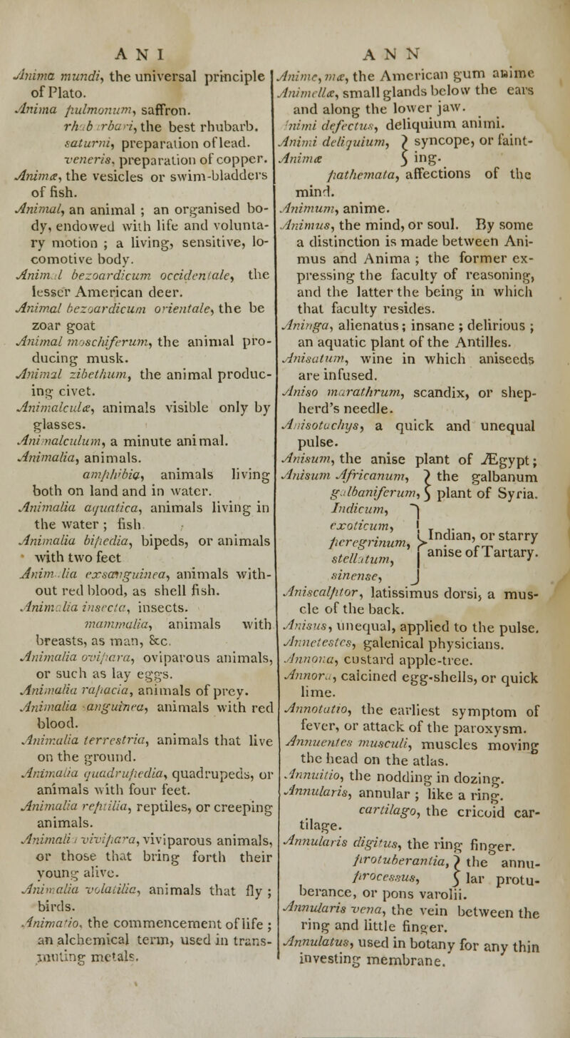 Ammo, mundi, the universal principle of Plato. Anima fadmonum, saffron. rh b rba v, the best rhubarb. fatuivu, preparation of lead. veneris, preparation of copper. Anima, the vesicles or swim-bladders of fish. Animal, an animal ; an organised bo- dy, endowed with life and volunta- ry motion ; a living, sensitive, lo- comotive body. Anim.il bezoardicum occiden/ale, the lesser American deer. Animal bezoardicum o'-ientale, the be zoar goat Animal moschiferum, the animal pro- ducing musk. Animal zibethum, the animal produc- ing civet. Animate id a, animals visible only by glasses. Ani nalculum, a minute animal. Anima/ia, animals. am/ih'bia, animals living both on land and in water. Animalia aquatiea, animals living in the water ; fish. Animalia bi/;edia, bipeds, or animals with two feet Anim lia rxsmigirinea, animals with- out red blood, as shell fish. Animalia imecta, insects. mammalia, animals with breasts, as man, Sec. Animalia avifiara, oviparous animals, or such as lay eggs. Animalia ra/iacia, animals of prey. Animalia anguinea, animals with red blood. Animalia terrcstria, animals that live on the ground. Animalia quadrufiedia, quadrupeds, or animals with four feet. Animalia refiiilia, reptiles, or creeping animals. Animalii wx^G.'-a, viviparous animals, or those that bring forth their young alive. Animalia volaiilic, animals that fly ; birds. Anima Ho, the commencement of life ; an alchemical term, used in trans- muting metals. Animc,m<£, the American gum auime AnimeUa, small glands below the ears and along the lower jaw. nimi defectum, deliquium anitni. Animi delijuium, > syncope, or faint- Animx \ ing. fiathemata, affections of the mind. Animum, anime. Animus, the mind, or soul. By some a distinction is made between Ani- mus and Anima ; the former ex- pressing the faculty of reasoning, and the latter the being in which that faculty resides. Aninga, alienatus; insane ; delirious ; an aquatic plant of the Antilles. A?iisatum, wine in which aniseeds are infused. Aniso marathrum, scandix, or shep- herd's needle. A.dsotuchys, a quick and unequal pulse. Anisum, the anise plant of ./Egypt; Anisum Africanum, \ the galbanum gjlbaniferum,\ plant of Syria. Indicum, ~°\ rxotieum, \ T ,. ficrcgrinum, ^Indian, or starry stelhtum, [anise of Tartary. sinense, Aniscal/itor, latissimus dorsi, a mus- cle of the back. Anisus, unequal, applied to the pulse. Annetestes, galenical physicians. Annona, custard apple-tree. Annoru, calcined egg-shells, or quick lime. Annotation the earliest symptom of fever, or attack of the paroxysm. Annuentes musculi, muscles moving the head on the atlas. Annuhio, the nodding in dozing. Annularis, annular ; like a ring. cariilago, the cricoid car- tilage. Annularis digitus, the ring finger. jirotuberanlia, > the annu- ftrocessus, } lar protu- berance, or pons varolii. Annularis vena, the vein between the ring and little finger. Annulatus, used in botany for any thin investing membrane.