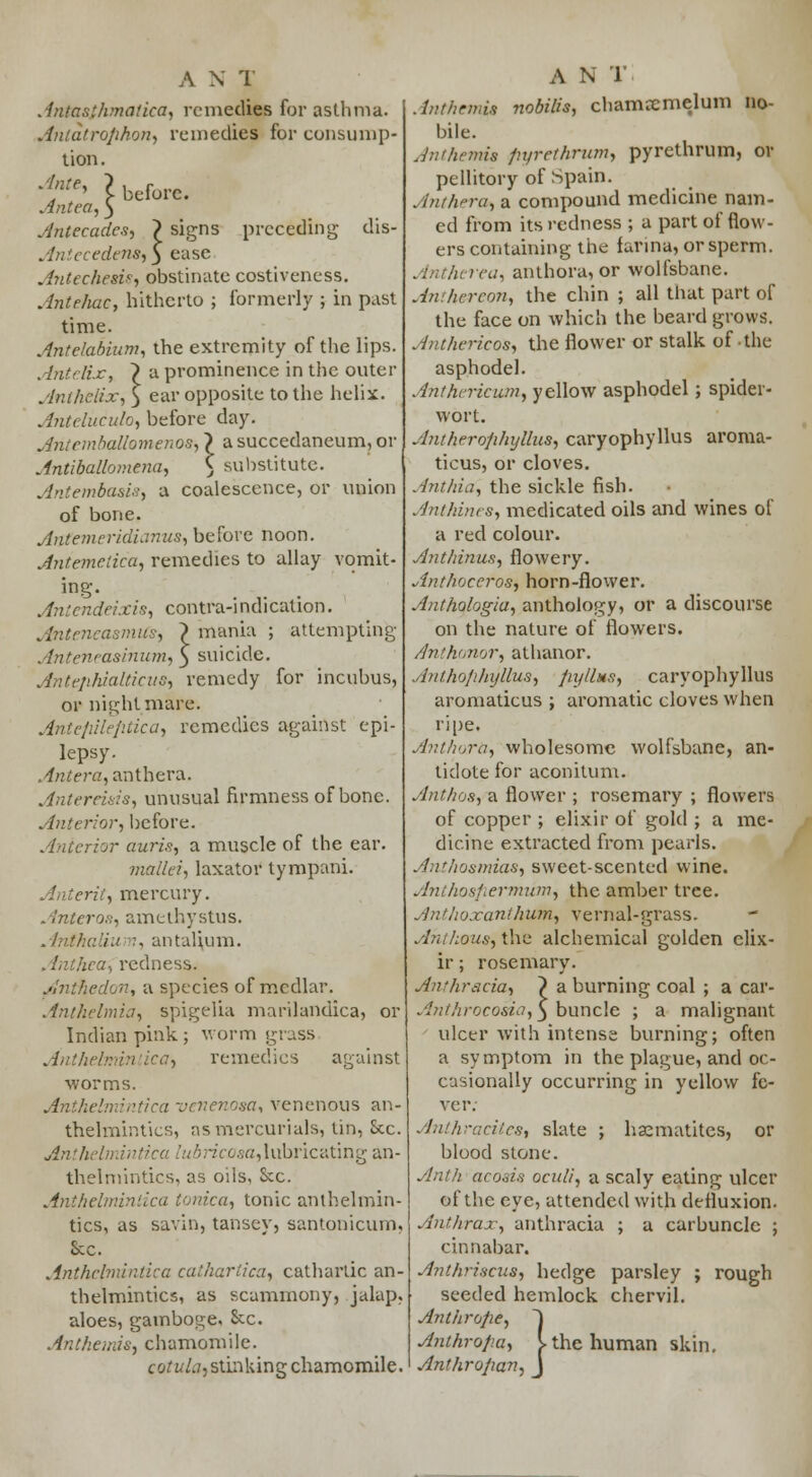 Antea, ^ Antecades, ? signs preceding dis- Antecedensi) ease Antechesis, obstinate costiveness. Antelmc, hitherto ; formerly ; in past time. Antelabium, the extremity of the lips. Antrlix, > a prominence in the outer Anthctix, 5 ear opposite to the heliic. Anteluculo, before day. Antemballomenosi} asuccedaneum, or Antiballomena, \ substitute. Antembasis, a coalescence, or union of bone. Antemeridianus, before noon. Antemeiica, remedies to allay vomit- ing. Aniendeixis, contra-indication. Antencasmus, ~> mania ; attempting Antenrasinum, $ suicide. Ante/ihialticus, remedy for incubus, or nightmare. Antefiilefitica, remedies against epi- lepsy. Antera, anthera. Antereusis, unusual firmness of bone. Anterior, before. Anterior auris, a muscle of the ear. malleii laxator tympani. Anterit, mercury. Anteros, amcthystus. Anthaliu m, antalhjm. in hea, rcclness. Anthedon, a species of medlar. Anthelmia, spigelia marilandica, or Indian pink ; worm grass Anthelmintica, remedies against worms. Anthelmintica vevenosa, venenous an- thelmintics, as mercurials, tin, Sec. AntJiel bricosa,lubricating an- thelmintics, as oils, Sec. Anthelmintica tonka, tonic anthelmin- tics, as savin, tansey, santonicum, &c. Anthelmintica calhartica, cathartic an- thelmintics, as scammony, jalap, aloes, gamboge. See. Antheinis, chamomile. cotula, stinking chamomile. Anthemu pyrethrum, pyrcthrum, or Anth-ru, a compound medicine nam- ed from its redness ; a part of flow- ers containing the farina, or sperm. Ant/urea, anthora, or wolfsbane. Aiv.hercon, the chin ; all that part of the face on which the beard grows. Anthericos, the flower or stalk of the asphodel. Anthericum, yellow asphodel; spider- wort. Antherophylhis, caryophyllus aroma- ticus, or cloves. Ant/da, the sickle fish. Anthinrs, medicated oils and wines of a red colour. Anthinus, flowery. Anthoceros, horn-flower. Anthologiu, anthology, or a discourse on the nature of flowers. Anthonor, athanor. Antho/ilnjllus, fiyllus, caryophyllus aromaticus ; aromatic cloves when ripe. Anthora, wholesome wolfsbane, an- tidote for aconitum. Ant ho ft, a flower ; rosemary ; flowers of copper ; elixir of gold ; a me- dicine extracted from pearls. Ant/iosmias, sweet-scented wine. Anthosfiermum, the amber tree. Anthoxanihum, vernal-grass. Ahthous, the alchemical golden elix- ir ; rosemary. Anthracia, \ a burning coal ; a car- Anthrocosia, 5 buncle ; a malignant ulcer with intense burning; often a symptom in the plague, and oc- casionally occurring in yellow fe- ver. Anthracites, slate ; haematites, or blood stone. Anth acoais oculi, a scaly eating ulcer of the eye, attended with defluxion. Anthrax, anthracia ; a carbuncle ; cinnabar. Anthriscas, hedge parsley ; rough seeded hemlock chervil. Anthro/ie, ~) Anthropa, I the human skin. Anthro/ian, J