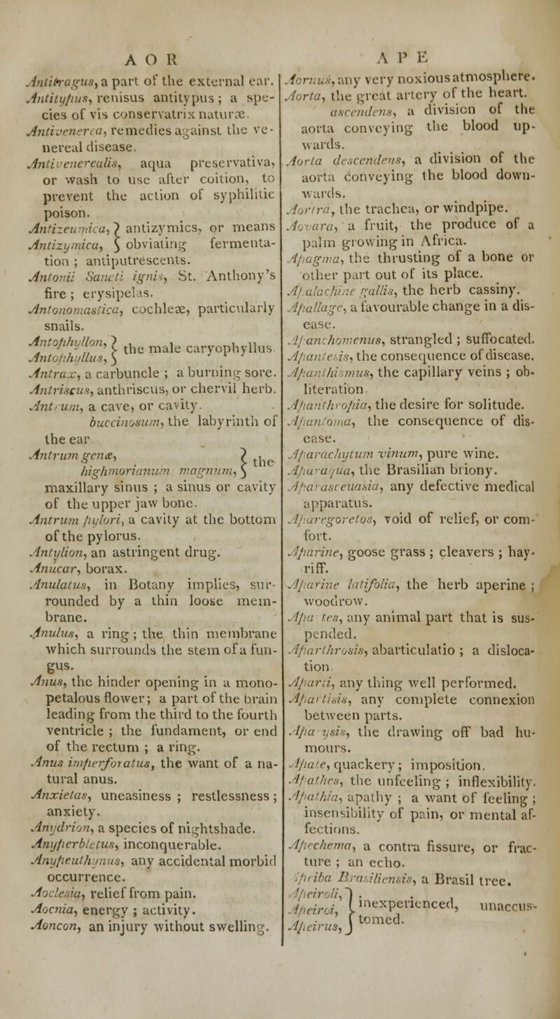 the Antitragus, a part of the external ear. Antitypus, renisus antitypus; a spe- cies of vis conservatrix naturae Antivenerea, remedies against the ve- nereal disease. AntivenereqJiU, aqua preservativa. or wash to use after coition, to prevent the action of syphilitic poison. Antizeumica, \ antizymics, or means Antizymica, $ obviating fermenta- tion ; antiputrescents. Antonii Sancti ignis, St. Anthony's fire; erysipelas. Antonomastica, cochleae, particularly snails. Antofihylfon, ? ^ ^ carvophyllus Antrax, a carbuncle ; a burning sore. Antriscui, anthriscus, or chervil herb. Antrum, a cave, or cavity. buccinosum, the labyrinth of the ear Antrum gena, bighmprianum magnum, maxillary sinus ; a sinus or cavity of the upper jaw bone. Antrum pylori, a cavity at the bottom of the pylorus. Antylion, an astringent drug. Anucar, borax. Anulatus, in Botany implies, sur- rounded by a thin loose mem- brane. Anulus, a ring ; the thin membrane which surrounds the stem of a fun- gus. Anus, the hinder opening in a mono- petalous flower; a part of the brain leading from the third to the fourth ventricle ; the fundament, or end of the rectum ; a ring. Anus imperforatus, the want of a na- tural anus. Anxietas, uneasiness ; restlessness ; anxiety. Ariydrion, a species of nightshade. Anyperblttus, inconquerable. Anypeuthynus, any accidental morbid occurrence. Aodesia, relief from pain. Aocnia, energy ; activity. Aoncon, an injury without swelling. . any very noxious atmosphere. Aorta, the great artery of the heart. axcendena, a division of the aorta conveying the blood up- wards. Aorta descendens, a division of the aorta conveying the blood down- wards. Aor'trd, the trachea, or windpipe. a, a fruit, the produce of a palm growing in Africa. 7, the thrusting of a bone or other part out of its place. 'iim rrallis, the herb cassiny. Apallage, a favourable change in a dis- ease. Apdnchomenus, strangled ; suffocated. trismus,, the capillary veins ; ob- literation Aparithrofiia, the desire for solitude. AhmUoma, the consequence of dis- ease. Aparachytum vinum, pure wine. .J/.irujua, the Brasilian briony. Aparasceuasia, any defective medical apparatus. Aparegoretos, void of relief, or com- fort. Afiarine, goose grass ; cleavers ; hay- riff. Aparine latifolia, the herb aperine ; wooclrow. Ajpa tes, any animal part that is sus- pended. Aparthrouis, abarticulatio ; a disloca- tion Aparti, any thing well performed. Apartisis, any complete connexion between parts. . {pa ysis, the drawing off bad hu- mours. Aiiate, quackery; imposition. Apathes, the unfeeling; inflexibility. Apathia, apathy ; a want of feeling ; insensibility of pain, or mental af- fections. Afiechema, a contra fissure, or frac- ture ; an echo. ipeiba Brasiliensis, a Brasil tree. ',' r/r ,/i,~) . : /inexperienced, unaccus- Jpnrus,yomc(i'