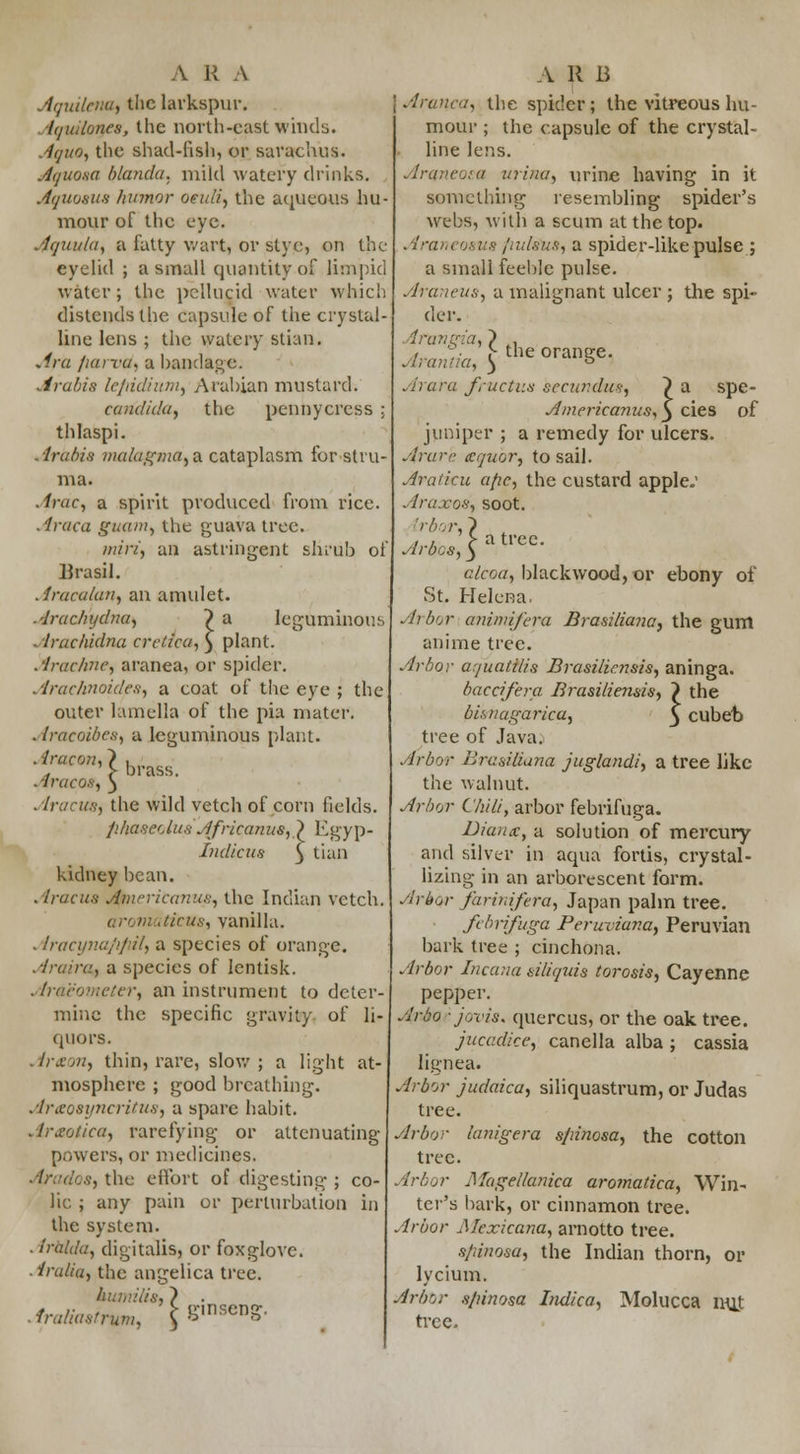 Aqudruu, the larkspur. ■It/udoncs, the north-east winds. Aquo, the shad-fish, or sarachus. Aquona blanda. mild watery drinks. Aquoaua humor oeuli, the aqueous hu- mour of the eye. Aquulu, a fatty wart, or stye, on the eyelid ; a small quantity of limpid water ; the pellucid water which distends the capsule of the crystal- line lens ; the watery stian. Arii fiarvd, a bandage. Arabia lepidium, Arabian mustard. Candida, the pennycrcss ; thlaspi. Arabia malagma,^ cataplasm for stru- ma. Arac, a spirit produced from rice. Araca guam, the guava tree. mirif an astringent shrub of Rrasil. . lracalan, an amulet. Arachydna, ~) a leguminous . iruchidna creticu, £ plant. . irachne, aranea, or spider. Arachnoidea, a coat of the eye ; the outer lamella of the pia mater. Araeoibea, a leguminous plant. Aracon,> , * > brass. Aracos, 3 . Iracta, the wild vetch of corn fields. fi/iaseclus Africanus, ) Egyp- Indicus 5 tian kidney bean. Aracua ^niericanus, the Indian vetch. aromaticua, vanilla. . iracynafifiil, a species of orange. Aruira, a species of lentisk. Araeometer, an instrument to deter- mine the specific gravity of li- quors. Araon, thin, rare, slow; a light at- mosphere ; good breathing. Areoayncritua, a spare habit. Arsotica, rarefying or attenuating powers, or medicines. s, the effort of digesting ; co- lic ; any pain or perturbation in the system. . iralda, digitalis, or foxglove. ■ iraliu, the angelica tree. r.'iis,} . Araliaairum, i S,nsenS' Aranea, the spider; the vitreous hu- mour ; the capsule of the crystal- line lens. Araneom urina, urine having in it something resembling spider's webs, with a scum at the top. Araneosua fiulatis, a spider-like pulse ; a small feeble pulse. Araneus, a malignant ulcer ; the spi- der. Arangia,} . , : > the orange. Arantia, ) ° Arara fructus secundm, } a spe- Americanus, y cies of juniper ; a remedy for ulcers. Ann-a aquor, to sail. Aratku ape, the custard apple.1 Araxoa, soot. , , ' > a tree. At'-OCS, 3 alcoa, blackwood,or ebony of St. Helena. Ardor animifera Brasiliana, the gum anime tree. Arbor aquatHia Brasiliensis, aninga. bactifera Brasiliemis, ~) the bi&nagarica, y cubeb tree of Java. Arbor Braai&ana juglandi, a tree like the walnut. Arbor Chili, arbor febrifuga. Dianx, a solution of mercury and silver in aqua fortis, crystal- lizing in an arborescent form. Arbor farinifera, Japan palm tree. febrifuga Peruviana, Peruvian bark tree ; cinchona. Arbor Incana siliquis torosis, Cayenne pepper. Arbo ■ joviss quercus, or the oak tree. jucculice, canella alba ; cassia lignea. Arbor judaica, siliquastrum, or Judas tree. Arbor ianigera s/iinosa, the cotton tree. Arbor Magellanica aromatica, Win- ter's bark, or cinnamon tree. Arbor Mexicana, arnotto tree. s/iinosa, the Indian thorn, or lycium. Arbor s/iinosa Indica, Molucca nut tree.