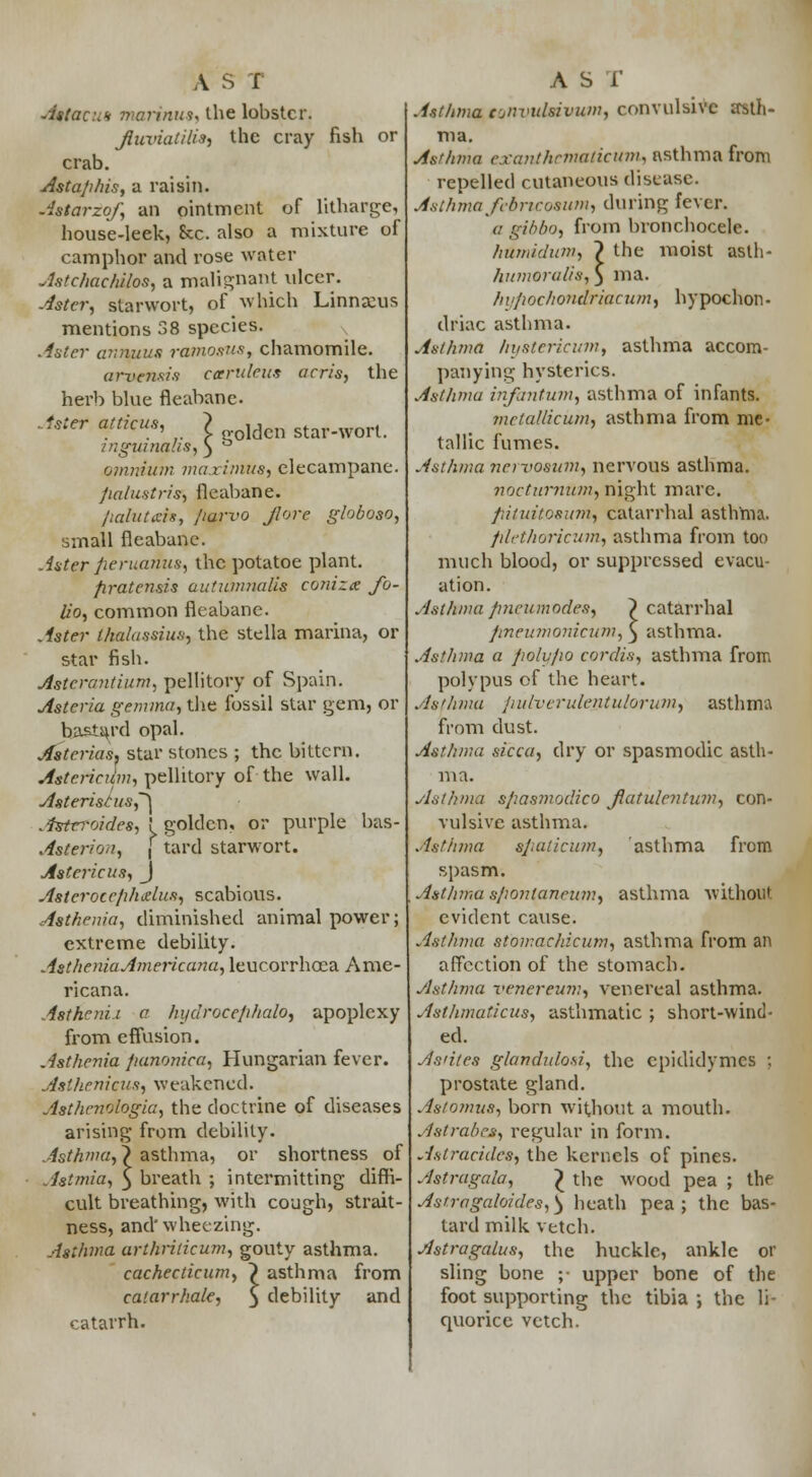 fish or golden star-wort. A S I Astacui marinus, the lobster. Jluviatilis, the cray crab. Astaphis, a raisin. Astarzof, an ointment of litharge, honse-leek, Sec. also a mixture of camphor and rose water Astchachilos, a malignant ulcer. Aster, starwort, of which Linnanis mentions 38 species. Aster animus ramosus, chamomile. arvensis cceruleus acris, the herb blue fleabane. .fster atticus, inguinalis, omnium maxinius, elecampane. fialustrisr, fleabane. iialuteis, fiarvo jlore globose, small fleabane. Aster peruana*, the potatoe plant. firatensis aufumnalis coniza fo- lio, common fleabane. Aster thalassius, the stella marina, or star fish. Astcrantium, pellitory of Spain. Asteria gemma, the fossil star gem, or bastard opal. Asterias, star stones ; the bittern. Astcricilm, pellitory of the wall. Asteris£usf\ Astefoides, ! golden, or purple bas- Asterion, { tard starwort. Astcricus, J Asteroccphjlus, scabious. Asthenia, diminished animal power; extreme debility. AstlieniaAmericana, leucorrhcea Ame- ricana. Asthenii a hi/droce/ihalo, apoplexy from effusion. Asthenia fianonica, Hungarian fever. Asthenicus, weakened. Asthcnologia, the doctrine of diseases arising from debility. isthma,~} asthma, or shortness of Astmia, 3 breath ; intermitting diffi- cult breathing, with cough, strait - ness, and'wheezing. Asthma arthridcum, gouty asthma. cacheclicum, ~) asthma from calarrhale, 5 debility and catarrh. AST Asthma c'jnvulsivum, convulsive asth- ma. Asthma exanihematicum, asthma from repelled cutaneous disease. Asthma febrtcosum, during fever. a gihbo, from bronchocele. hftmidum, ? the moist asth- humoralis, $ ma. hupochondriacum, hypochon- driac asthma. Asthma /tystericum, asthma accom- panying hysterics. Asthma infantum, asthma of infants. metallicum, asthma from me- tallic fumes. Asthma neivosum, nervous asthma. nocturnum, night mare. piiuitosum, catarrhal asthma. pli'thoricum, asthma from too much blood, or suppressed evacu- ation. Astftmapneumodes, ~> catarrhal fmeumonitum, 3 asthma. Asthma a poly/10 cordis, asthma from polypus of the heart. Asthma indvtrulentulorum, asthma from dust. Asthma sicca, dry or spasmodic asth- ma. Asthma spasmodico Jiatulentinn, con- vulsive asthma. Asthma spaticum, asthma from spasm. Asthma s/iontanrum, asthma without evident cause. Asthma stomachicum, asthma from an affection of the stomach. Asthma venereum, venereal asthma. Asthmaticus, asthmatic ; short-wind- ed. As'itcs glandulosi, the epididymes ; prostate gland. Astomus, born without a mouth. Aslrabes, regular in form. Aslracidcs, the kernels of pines. Astragals, £ the wood pea ; the Astragaloides,^ heath pea; the bas- tard milk vetch. Astragalus, the huckle, ankle or sling bone ;• upper bone of the foot supporting the tibia ; the li- quorice vetch.