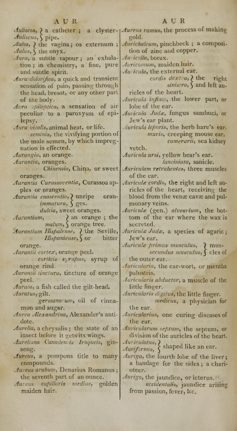 Auliscos, ) a catheter ; a clyster- Auliscus, Aulos, £ the vagina; os externum ; Auli/s, $ the onyx. .Jura, a subtle vapour ; an exhala- tion ; in chemistry, a fine, pure and subtle spirit. Aura dolor{fica, a quick and transient sensation of pain, passing through the head, hreast, or any other part of the body. Aura efiitefitica, a sensation of air peculiar to a paroxysm of epi- lepsy. Jura vitatis, animal heat, or life. seminis, the vivifying portion of the male semen, by which impreg- nation is effected. Aurangia, an orange. Aurantia, oranges. Chinensis, China, or sweet oranges. Aurantia Curassoventia, Curassoa ap- ples or oranges. Aurantia cnascentia, ? unripe oran- immatura, 3 ges. dulcia, sweet oranges. Aurantium, > an orange ; the malum, 3 orange tree. Aurantium Hisjialense, ? the Seville, Hispanieuse,) or bitter orange. Aurantii cortex, orange peel. corlicis syrujius, syrup of orange rind Aurantii linctura, tincture of orange peel. Aurata, a fish called the gilt-head. Auratus, gilt. germanoum, cil of cinna- mon and sugar. Aurea Alexandrina, Alexander's anti- dote. Aurelia, a chrysalis ; the state of an insect before it gets its wings. Aureliana Canaden in Iroqueis, gin- seng. Aureus, a pompous title to many compounds. Aureus arabwn, Denarius Romanus ; the seventh part of an ounce. Au: eus cu/t/llcris ntediue, golden maiden hair. :ta, > the right stra, 3 and left au- A U R Aureus ramus, the process of making- gold. Aurichalcum, pinchbeck ; a composi- tion of zinc and copper. An icolla, borax. Aurico/uum, maiden.hair. Au icula, the external ear. cordis dext sinislt ricles of the heart. Auricula infima^ the lower part, or lobe of the ear. Auricula Judx, fungus sambuci, or Jew's ear plant. Auricula lejioris, the herb hare's ear. muris, creeping mouse ear. camerarii, sea kidney vetch. Auricula ursi, yellow bear's ear. lanciniata, sanicle. Auriculam rttrahentes, three muscles of the ear. Auricula: cordis, the right and left au- ricles of the heart, receiving the blood from the vense cavae and pul- monary veins. Auricula (gen.) alveariwn, the bot- tom of the ear where the wax is secreted. Auricula: Jud<z, a species of agaric; Jew's ear. Auricula primus 7nusculus, 1 mus- secundus ?nusculus,y cles of the outer ear. Auriculuria, the ear-wort, or mentha palustris. Auricularis abductor, a muscle of the little finger. Auricularis digitus, the little finger. fnedicus, a physician for the ear. Auricularius, one curing diseases of the ear. Auricularum se/itwn, the septum, or division of the auricles of the heart. Auriculatus,} ,... AuHf,mns, \ shaPed llke an ear' Auriga, the fourth lobe of the liver; a bandage for the sides ; a chari- oteer. Aurigo, the jaundice, or icterus. accidentalism jaundice arising from passion, fever, &c.