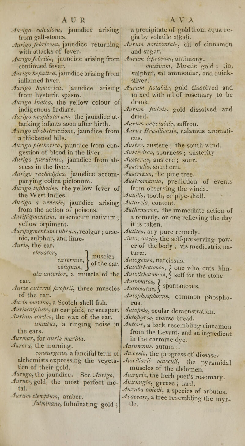 iurigo calculosa, jaundice arising from pall-stones. Aurigafebricasa, jaundice returning with attacks of fever. Aurigo febrilis, jaundice arising from continued fever. Auriga hefiatica, jaundice arising from inflamed liver. Auriga hyste icd, jaundice arising from hysteric spasm. Auriga Indica, the yellow colour of indigenous Indians. Auriga neofihytorum, the jaundice at- tacking infants soon after birth. Auriga ab obstruciione, jaundice from a thickened bile. Auriga filethorica, jaundice from con- gestion of blood in the liver. Autigo purulent , jaundice from ab- scess in the liver. Auriga rachialgica, jaundice accom- panying colica pictonum. Aurigo typhodes, the yellow fever of the West Indies, Aurigo a vencnis, jaundice arising from the action of poisons. Auripigmentum, arsenicum nativum; yellow orpiment. AurifugmentumrubrumiTea\g2LY; arse- nic, sulphur, and lime. Auris, the ear. elevator, ~) . ( muscles externus, V Pil ... I ot the ear. obuquus, j alts anterior, a muscle of the car. . Juris externi Jiroprii, three muscles of the ear. Auris marina, a Scotch shell fish. Aurhcalpium, an ear pick, or scraper. Aurium sordes, the wax of the ear. tinnitus, a ringing noise in the ears. Aurmar, for auris marina. Aurora, the morning. conswgens, a fanciful term of alchemists expressing the vegeta- tion of their gold. Aurugo, the jaundice. See Aurigo. Aurum, gold, the most perfect me- tal. furum elemjrium, amber. fu/minans, fulminating gold ; a precipitate of gold from aqua re- gia by volatile alkali. Aurum horizontal, oil of cinnamon and sugar. Aurum leprosum, antimony. musivum, Mosaic gold ; tin, sulphur, sal ammoniac, and quick- silver. Aurum jiotahile, gold dissolved and mixed with oil of rosemary to be drank. Aurum fiulvis, gold dissolved and dried. Aurum vegetabile, saffron. Aurus Brasiliensis, calamus aromati- cus. Auster, austere ; the south wind. Austeritas, sourness ; austerity. Austerus, austere ; sour. Australia, southern. Austriceus, the pine tree. Austromantia, prediction of events from observing the winds. Autalis, tooth, or pipe-shell. Autarcia, content. Authemeron, the immediate action of a remedy, or one relieving the day it is taken. Autites, any pure remedy. Autocrateia, the self-preserving pow- er of the body ; vis medicatrix na- ture. Autogenes, narcissus. Autoliihotomos, ) one who cuts him- Autolithotomus,} self for the stone. Aulomatos, } ^^0W«^,5sP°ntaneoils- Autophosfihorus, common phospho- rus. Autofisia, ocular demonstration. Autofiyros, coarse bread. Autour, a bark resembling cinnamon from the Levant, and an ingredient in the carmine dye. Autumnus, autumn. Auxesis, the progress of disease. Auxiliarii musculi, the pyramidal muscles of the abdomen. Auxyris, the herb poet's rosemary. Auxungia, grease ; lard. Auzuba oviedi, a species of arbutus. Avaccan, a tree resembling the myr- tle.