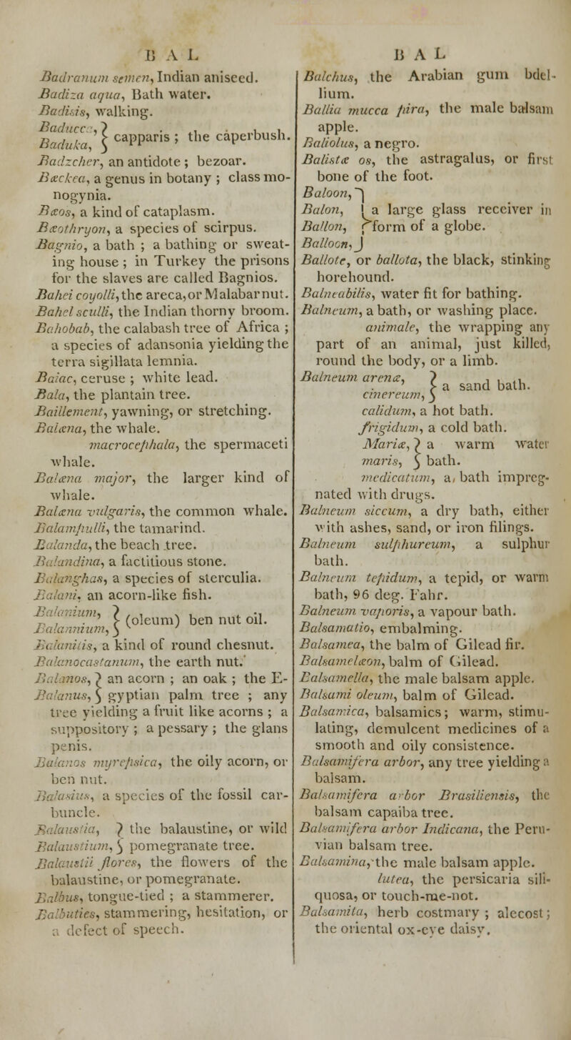 Badranum semen, Indian aniseed. Badiza aqua, Bath water. Badhis, walking. Bad arc , ? . ., , , jo I L. \ cappans ; the caperbush. Badzchcr, an antidote ; bezoar. Backea, a genus in botany ; class mo- nogynia. Bccos, a kind of cataplasm. Baothryon, a species of scirpus. JBagnio, a bath ; a bathing or sweat- ing house ; in Turkey the prisons for the slaves are called Bagnios. Bahei coyolli,thc areca,or Malabarnut. Bahelscidli, the Indian thorny broom. Bahobab, the calabash tree of Africa ; a species of adansonia yielding the terra sigillata lemnia. Baiac, ceruse ; white lead. Bala, the plantain tree. Baillement, yawning, or stretching. Balana, the whale. macrocephala, the spermaceti whale. Balana major, the larger kind of whale. Balana vulgaris, the common whale. Bah.mp.ulli, the tamarind. Balanda, the beach tree. Balandina, a factitious stone. Bulanghas, a species of sterculia. :>ii, an acorn-like fish. . ' > (oleum) ben nut oil. Balannium, 3 Balanitis, a kind of round chesnut. icastanum, the earth nut.' Balixnos, ^ an acorn ; an oak ; the E- tus, 3 gyptian palm tree ; any tree yielding a fruit like acorns ; a suppository ; a pessary ; the glans penis. v myrefisica, the oily acorn, or ben nut. cies of the fossil car- buncle. Balaustia, } the balaustine, or wild Balaustium, 3 pomegranate tree. Balaustii Jlores, the flowers of the balaustine, or pomegranate. Balbus, tongue-tied ; a stammerer. lies, stammering, hesitation, or Feet of speech. h sand bath. Balchus, the Arabian gum bdel- lium. Ballia mucca fiiru, the male ba-lsam apple. Baliolus, a negro. Batista os, the astragalus, or first bone of the foot. Baloon, ~\ Balon, 1 a large glass receiver in Ballon, fform of a globe. Balloon, J Ballote, or ballota, the black, stinking horehound. Bulntabilis, water fit for bathing. Balneum, a bath, or washing place. animale, the wrapping any part of an animal, just killed, round the body, or a limb. Balneum arena, dnereum, calidum, a hot bath. frigidum, a cold bath. Maria, ~) a warm water maris, 3 bath. medicatum, a, bath impreg- nated with drugs. Balneal)} sicciun, a dry bath, either with ashes, sand, or iron filings. Balneum sidjihureum, a sulphur bath. Balneum tejndum, a tepid, or warm bath, 96 deg. Fahr. Balneum vaporis, a vapour bath. Balsamatio, embalming. Balsamea, the balm of Gilcad fir. Balsamelaon, balm of Gilead. Balsamella, the male balsam apple. Balsami oleum, balm of Gilead. Balsandca, balsamics; warm, stimu- lating, demulcent medicines of a smooth and oily consistence. Btdsamijera arbor, any tree yielding a baisam. Balsamifera arbor Brasilicnsis, the balsam capaibatree. Balsamifera arbor Indicana, the Peru- vian balsam tree. Balsamina,-the male balsam apple. lutea, the persicaria sili- quosa, or touch-me-not. Balsamiia, herb costmary ; alecost; the oriental ox-eve daisv.