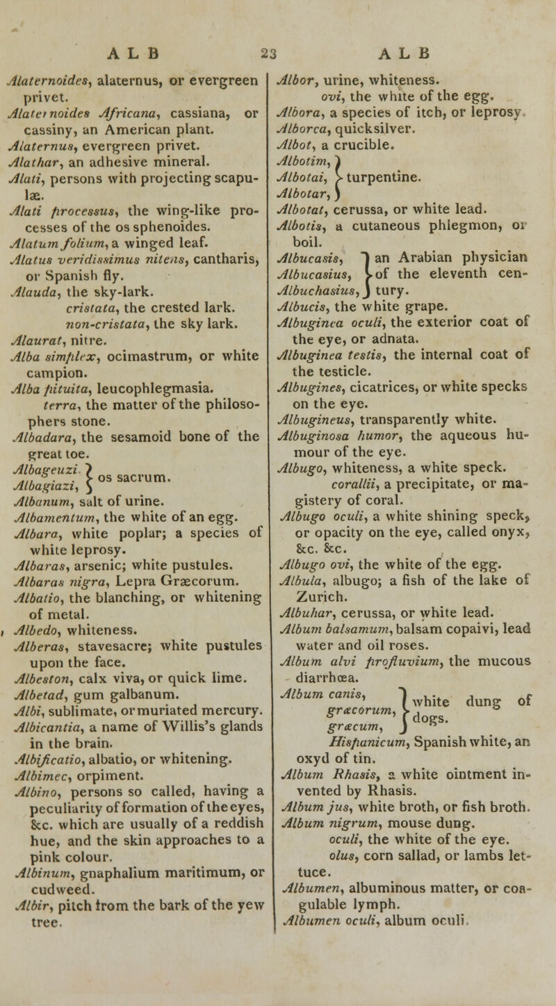 os sacrum. Alaternoides, alatemus, or evergreen privet. Alatetnoidea Africana, cassiana, or cassiny, an American plant. Alaternus, evergreen privet. Alathar, an adhesive mineral. Alaii, persons with projecting scapu- la. jilati processus, the wing-like pro- cesses of the ossphenoides. Alatum folium, a winged leaf. Alatus veridissimus nitens, cantharis, or Spanish fly. Alauda, the sky-lark. cristata, the crested lark. non-cristata, the sky lark. Alaurat, nitre. Alba simfilex, ocimastrum, or white campion. Alba fiituita, leucophlegmasia. terra, the matter of the philoso- phers stone. Albadara, the sesamoid bone of the great toe. Albageuzi ~) Albagiazi, $ Albanum, salt of urine. Albamentum, the white of an egg. Albara, white poplar; a species of white leprosy. Albaras, arsenic; white pustules. Albaras nigra, Lepra Graecorum. Albatio, the blanching, or whitening of metal. Albedo, whiteness. Alberas, stavesacre; white pustules upon the face. Albeston, calx viva, or quick lime. Albetad, gum galbanum. Albi, sublimate, ormuriated mercury. Albicantia, a name of Willis's glands in the brain. Albificatio, albatio, or whitening. Albimec, orpiment. Albino, persons so called, having a pecu liarity of formation of the eyes, &c. which are usually of a reddish hue, and the skin approaches to a pink colour. Albinum, gnaphalium maritimum, or cudweed. Albir, pitch trom the bark of the yew tree. Albor, urine, whiteness. ovi, the white of the egg. Albora, a species of itch, or leprosy Alborca, quicksilver. Albot, a crucible. Albotim,} Albotai, > turpentine. Albotar, ) Albotat, cerussa, or white lead. Albotis, a cutaneous phlegmon, or boil. Albucasis, ) an Arabian physician Albucasius, I of the eleventh cen- Albuchasius,} tury. Atbucis, the white grape. Albuginea oculi, the exterior coat of the eye, or adnata. Albuginea testis, the internal coat of the testicle. Albugines, cicatrices, or white specks on the eye. Albugineus, transparently white. Albuginosa humor, the aqueous hu- mour of the eye. Albugo, whiteness, a white speck. corallii, a precipitate, or raa- gistery of coral. Albugo oculi, a white shining speck, or opacity on the eye, called onyx, &c. &c. Albugo ovi, the white of the egg. Albula, albugo; a fish of the lake of Zurich. Albuhar, cerussa, or white lead. Album balsamum, balsam copaivi, lead water and oil roses. Album alvi firqfiuvium, the mucous diarrhoea. 1 white dung of grccorum, ». grtecum, J n Hisfianicum, Spanish white, an oxyd of tin. Album Rhasis, z white ointment in- vented by Rhasis. Album jus, white broth, or fish broth. Album nigrum, mouse dung. oculi, the white of the eye. olus, corn sallad, or lambs let- tuce. Albumen, albuminous matter, or coa- gulable lymph. Albumen oculi, album oculi,