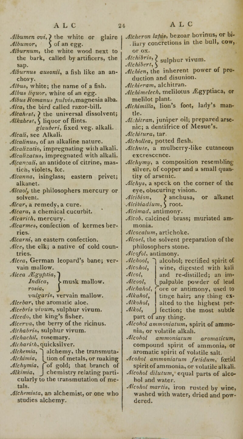 Albumen ovi, > the white or glaire Albumor, ) °f an egg- Alburnum, the white wood next to the bark, called by artificers, the sap. Alburnus ausonii, a fish like an an- chovy. Albus, white; the name of a fish. Albus liquor, white of an egg. Albus Romanus fiulvis,magnesia alba. Alca, the bird called razor-bill. Alcahrst, ? the universal dissolvent; Alkahest, } liquor of flints. glauberi, fixed veg. alkali. Alcali, see Alkali. Alcalinus, of an alkaline nature. Alcalizatio, impregnating with alkali. Alcalizatus, impregnated with alkali. Alcan:ali, an antidote of citrine, mas- ticn, violets, 8cc. Alcanna, isinglass; eastern privet; alkanet. Alcaoly the philosophers mercury or solvent. Alcar, a remedy, a cure. Alcara, a chemical cucurbit. Alcarith, mercury. Alcarmes, confection of kermes ber- ries. Alcarni, an eastern confection. Alee, the elk; a native of cold coun- tries. Alcea, German leopard's bane; ver- vain mallow. Alcea JEgy}itia,~\ Indica, Vmusk mallow. rosia, J vulgaris, vervain mallow. Alcebar, the aromatic aloe. Alcebris vivum, sulphur vivum. Alcedo, the king's fisher. Alcerva, the berry of the ricinus. Alchabris, sulphur vivum. Alchachil, rosemary. Alchari'h, quicksilver. Alchemia, ~\ alchemy, the transmuta- Alchimia, I tion of metals, or making Alchymia, j of gold; that branch of Alkimia, J chemistry relating parti- cularly to the transmutation of me- tals. Alchemista, an alchemist, or one who studies alchemy. Alchcron lafiin, bezoar bovinus, or bi- .liaty concretions in the bull, cow, or ox. Atc/ribris,'} su] hurvivum. Alchibert, 3 Alchien, the inherent power of pro- duction and disunion. Alchifram, alchitran. Alchimelech, melilotus iftgyptiaca, or melilot plant. Alchimilla, lion's foot, lady's man- tle. ALhitran, juniper oil; prepared arse- nic; a dentifrice of Mesue's. Alchitura, tar. Alchollea, potted flesh. Alchute, a mulberry-like cutaneous excrescence. Alchymy, a composition resembling- silver, of copper and a small quan- tity of arsenic. Alchys, a speck on the corner of the eye, obscuring vision. Alcibion, > anchusa, or alkanet Alcibiadium, $ root. Alcimad, antimony. Alcob, calcined brass; muriated am- monia. Alcocalum, artichoke. Alcoel, the solvent preparation of the philosophers stone. AlcofoL antimony. Alchool, ~1 alcohol; rectified spirit of Alcohol, wine, digested with kali Alcol, and re-distilled; an im- Alcool, ^palpable powder of lead Alchahol, j ore or antimony, used to Alkahol, J tint^e hair; any thing ex- Alkohol, J alted to the highest per- Alkol, J fection; the most subtle part of any thing. Alcohol ammoniatum, spirit of ammo- nia, or volatile alkali. Alcohol ammoniatum aromaticum, compound spirit of ammonia, or aromatic spirit of volatile salt. Acohol ammoniatum fcetidum, foetid spirit of ammonia, or volatile alkali. Alcohol dilutum, equal parts of alco- hol and water. Alcohol martis, iron rusted by wine, washed with water, dried and pow- dered.