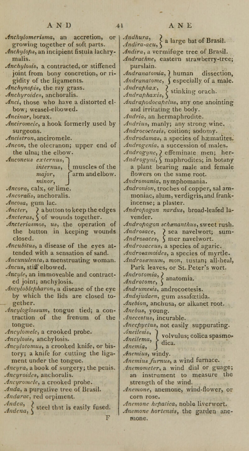 Anchylomerisma, an accretion, or growing together of soft parts. Anchylofis, an incipient fistula lachry- malis. Anchylosis, a contracted, or stiffened joint from bony concretion, or ri- gidity of the ligaments. Anchynofds, the ray grass. Anchyroides, anchoralis. And, those who have a distorted el- bow; weasel-elbowed. Ancinar, borax. Anciromeie, a hook formerly used by surgeons. Ancistron, anciromele. Ancon, the olecranon; upper end of the ulna; the elbow. Anconeus externus, ~\ interring, f muscles of the major, j arm and elbow. minor, J Ancora, calx, or lime. Ancoraiis, anchoralis. Ancosa, gum lac. Ancter, ~> abutton to keep the edges Ancteras, } of wounds together. Ancteriasmos, us, the operation of the button in keeping wounds closed. Ancubitus, a disease of the eyes at- tended with a sensation of sand. Ancunulenta, a menstruating woman. Ancus, stiff elbowed. Ancyle, an immoveable and contract- ed joint; anchylosis. Aticyloblefiharon, a disease of the eye by which the lids are closed to- gether. Ancyloglossum, tongue tied; a con- traction of the frenum of the tongue. Ancylomele, a crooked probe. Ancylosis, anchylosis. Ancylotomus, a crooked knife, or his- tory; a knife for cutting the liga- ment under the tongue. Ancyra, a book of surgery; the penis. Ancyroides, anchoralis. Ancyromcle, a crooked probe. Anda, a purgative tree of Brasil. Andarac, red orpiment. Jndena, { sled that is easily fused F especially of a male. stinking orach. Andhura, } , . . r t» -i j .. ' 5- a large bat of Brasu. Andira-acu, 3 ° Andira, a vermifuge tree of Brasil. Andrachne, eastern strawberry-tree; purslain. Andranatomia, 1 human dissection, Andrunatome, j Andrafihax, Andrafihaxis, Andrafiodocafielue, any one anointing and irritating the body. Andria, an hermaphrodite. Andrius, manly; any strong wine. Androcoetesis, coition; sodomy. Androdamas, a species of haematites. Androgenia, a succession of males. Androgyne, > effeminate men; her- Androgyni, ) maphrodites; in botany a plant bearing male and female flowers on the same root. Andromania, nymphomania. Andronion, troches of copper, sal am- moniac, alum, verdigris,and frank- incense; a plaster. Androfiogon nardus, broad-leafed la- vender. Androfiogon schxnanthus, sweet rush. Androsace, ) sea navelwort; sum- Androsaces, 3 mer navelwort. Androsaceus, a species of agaric. Androsamoides, a species of myrtle. Androsamnm, mon, tustan; all-heal, Park leaves, or St. Peter's wort. Androtomia, Androtome, Andrumesis, androcoetesis. Andsjudaen, gum assafoetida. Anebion, anchusa, or alkanet root. Anebus, young. Anecestus, incurable. Anecfiyetus, not easily suppurating. Aneilesis, ) , , ,. d ., / volvulus; cohca spasmo* Aneilema, \. ,. ' v • . . ' f dica. Anemia, J AnemiiiSf windy. Anemius furnus, a wind furnace. Anemometer, a wind dial or guage; an instrument to measure the strength of the wind. Anemone, anemone, wind-flower, or corn rose. Anemone hefiatica, noble liverwort. Anemone hortensis, the garden ane- mone. anatomia.