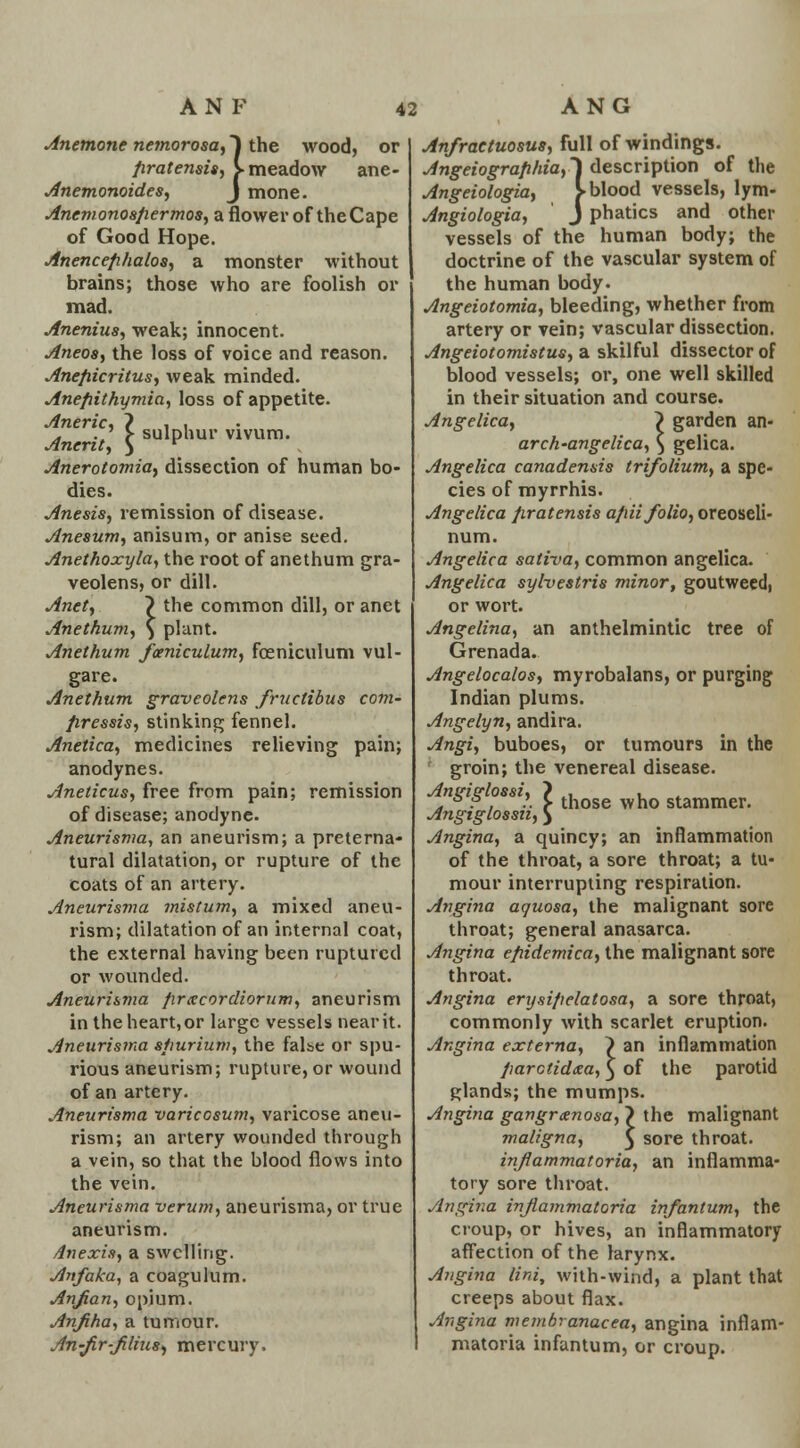 ANF Anemone nemorosa,) the wood, or firatensis, > meadow ane- Anemonoides, J mone. Anemonosfiermos, a flower of theCape of Good Hope. Anencefihalos, a monster without brains; those who are foolish or mad. Anenius, weak; innocent. Aneos, the loss of voice and reason. Anefiicritus, weak minded. Anefiithymia, loss of appetite. Aneric, ? , . Anerit, \ SUlPhur V1VUm' . Anerolomia, dissection of human bo- dies. Anesis, remission of disease. Anesum, anisum, or anise seed. Anethoxyla, the root of anethum gra- veolens, or dill. Anet, } the common dill, or anet Anethum, } plant. Anethum fceniculum, foeniculum vul- gar e. Anethum graveolens fructibus com- firessis, stinking fennel. Anetica, medicines relieving pain; anodynes. Aneticus, free from pain; remission of disease; anodyne. Aneurisma, an aneurism; a preterna- tural dilatation, or rupture of the coats of an artery. Aneurisma mistum, a mixed aneu- rism; dilatation of an internal coat, the external having been ruptured or wounded. Aneurisma firxcordiorum, aneurism in the heart, or large vessels near it. Aneurisma sfiurium, the false or spu- rious aneurism; rupture, or wound of an artery. Aneurisma variccsum, varicose aneu- rism; an artery wounded through a vein, so that the blood flows into the vein. Aneurisma verum, aneurisma, or true aneurism. 4nexis, a swelling. Anfaka, a coagulum. Anfian, opium. Anfiha, a tumour. An-frfilius, mercury. 42 ANG Anfractuosus, full of windings. Angeiograflhia,~\ description of the Angeiologia, V blood vessels, lym- Angiologia, J phatics and other vessels of the human body; the doctrine of the vascular system of the human body. Angeiotomia, bleeding, whether from artery or vein; vascular dissection. Angeiotomistus, a skilful dissector of blood vessels; or, one well skilled in their situation and course. Angelica, ? garden an- arch'angelica, $ gelica. Angelica canadensis trifolium, a spe- cies of myrrhis. Angelica firatensis a/iii folio, oreoseli- num. Angelica sativa, common angelica. Angelica sylvestris minor, goutweed, or wort. Angelina, an anthelmintic tree of Grenada. Angelocalos, myrobalans, or purging Indian plums. Angelyn, andira. Angi, buboes, or tumours in the ' groin; the venereal disease. ngig ossi, i tj1Qse wk0 stammer, Angiglossn, } Angina, a quincy; an inflammation of the throat, a sore throat; a tu- mour interrupting respiration. Angina aquosa, the malignant sore throat; general anasarca. Angina efiidemica, the malignant sore throat. Angina erysifielatosa, a sore throat, commonly with scarlet eruption. Angina externa, > an inflammation jiarctidaa, 3 of the parotid glands; the mumps. Angina gangrenosa, > the malignant maligna, £ sore throat. inflammatoria, an inflamma- tory sore throat. Angina inflammatoria infantum, the croup, or hives, an inflammatory affection of the larynx. Angina lir,i, with-wind, a plant that creeps about flax. Angina membranacea, angina inflam- matoria infantum, or croup.