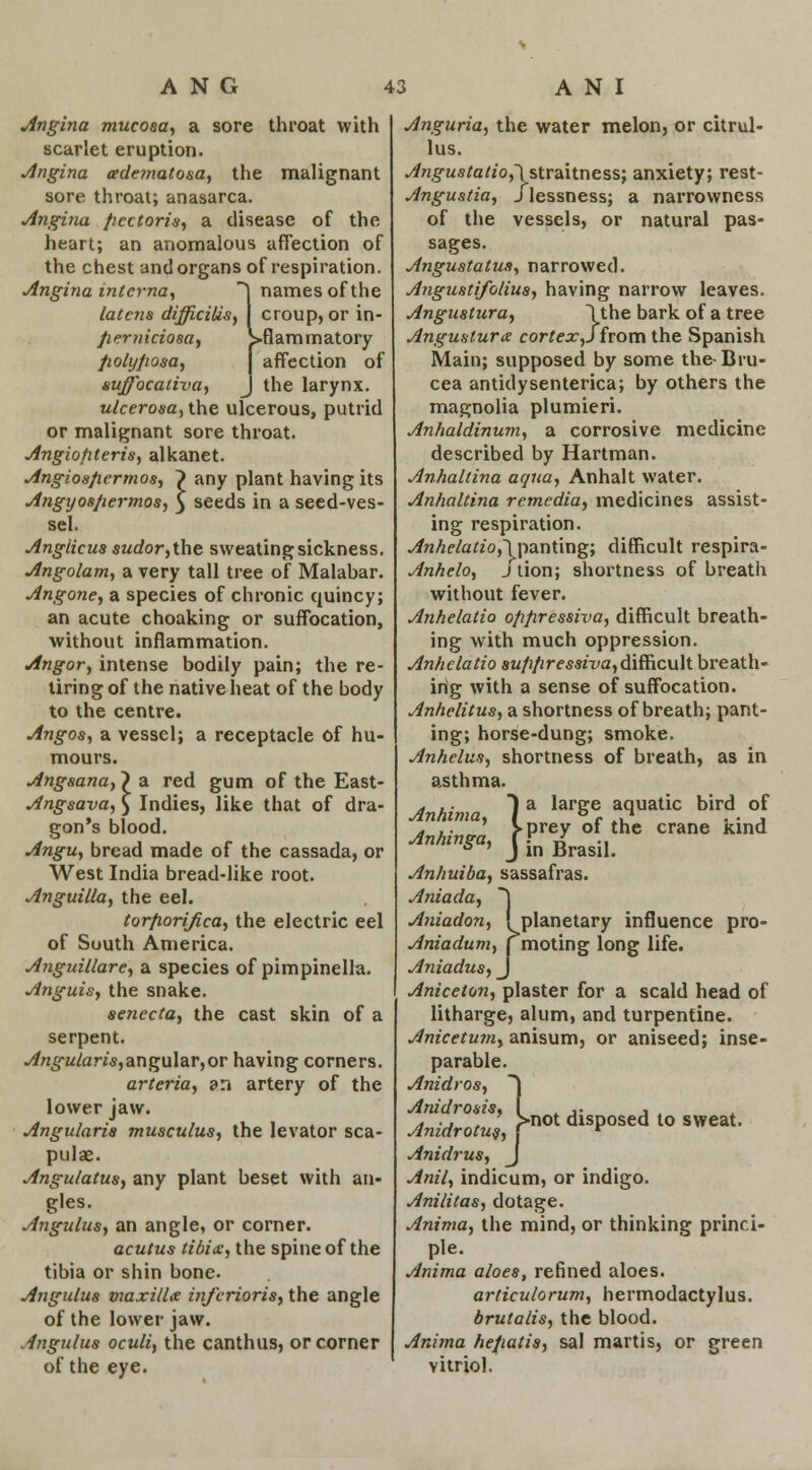 Angina mucosa, a sore throat with scarlet eruption. jingina adematosa, the malignant sore throat; anasarca. jingina pectoris, a disease of the heart; an anomalous affection of the chest and organs of respiration. Angina interna, ~\ names of the latens difficilis, croup, or in- /lerniciosa, >flammatory fiolyjiosa, affection of suffocativa, J the larynx. ulcerosa, the ulcerous, putrid or malignant sore throat. jingiofiteris, alkanet. Angios/iermos, ~) any plant having its Angyos/iermos, 3 seeds in a seed-ves- sel. Angiicus sudor,the sweating sickness. Angolam, a very tall tree of Malabar. Angone, a species of chronic quincy; an acute choaking or suffocation, without inflammation. Angor, intense bodily pain; the re- tiring of the native heat of the body to the centre. Angos, a vessel; a receptacle of hu- mours. Angsana, > a red gum of the East- Angsava,} Indies, like that of dra- gon's blood. Angu, bread made of the cassada, or West India bread-like root. Anguilla, the eel. torfiorifica, the electric eel of South America. Anguillare, a species of pimpinella. Anguis, the snake. senccta, the cast skin of a serpent. Angularis,angular,or having corners. arteria, an artery of the lower jaw. Angularis musculus, the levator sca- pulae. Angulatus, any plant beset with an- gles. Angulus, an angle, or corner. acutus tibiae, the spine of the tibia or shin bone. Angulus viaxillx inferioris, the angle of the lower jaw. Angulus oculi, the canthus, or corner of the eye. Anguria, the water melon, or citrul- lus. Angustatio,\ straitness; anxiety; rest- Angustia, j lessness; a narrowness of the vessels, or natural pas- sages. Angustatus, narrowed. Angustifolius, having narrow leaves. Angustura, \the bark of a tree Angustura cortex,j from the Spanish Main; supposed by some the-Biu- cea antidysenterica; by others the magnolia plumieri. Anhaldinum, a corrosive medicine described by Hartman. Anhaltina aqua, Anhalt water. Anhaltina remedia, medicines assist- ing respiration. Anhelatio,~}ndLnting; difficult respira- Anhelo, j tion; shortness of breath without fever. Anhelatio ofifiressiva, difficult breath- ing with much oppression. Anhelatio sufr/iressiva, difficult breath- ing with a sense of suffocation. Anhelitus, a shortness of breath; pant- ing; horse-dung; smoke. Anhelus, shortness of breath, as in asthma. a large aquatic bird of prey of the crane kind in Brasil. Anhuiba, sassafras. Aniada, ~\ Aniadon, i planetary influence pro- Aniadum, \ moting long life. Aniadus, J Aniceton, plaster for a scald head of litharge, alum, and turpentine. Anicetum, anisum, or aniseed; inse- parable. Anidros, ~j Anidrosis, f ... , t ^V/r0^,pOtdlSP°SedlOSWeat- Anidrus, J Anil, indicum, or indigo. Anilitas, dotage. Anima, the mind, or thinking princi- ple. Anima aloes, refined aloes. articulorum, hermodactylus. brutalis, the blood. Anima hefiatis, sal martis, or green vitriol. Anhim Anhi iinma. ima, I' inga, J j