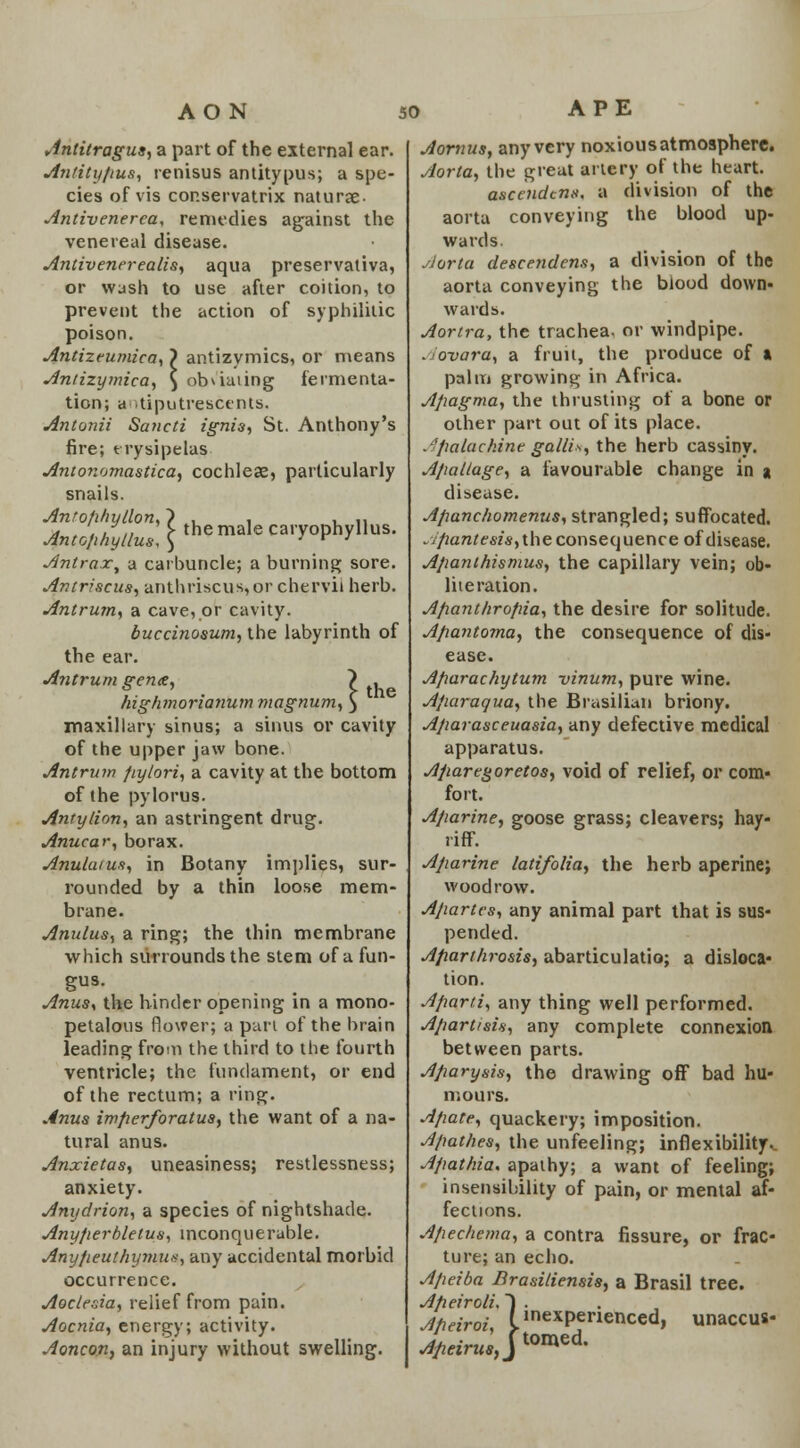 the Antitragus, a part of the external ear. Antitypus, renisus antitypus; a spe- cies of vis cor.servatrix naturae- Antivenerea, remedies against the venereal disease. Antivenerealis, aqua preservativa, or wash to use after coition, to prevent the action of syphilitic poison. Antizeumica, ? antizymics, or means Antizymica, \ obviating fermenta- tion; antiputrescents. Antonii Sancti ignis, St. Anthony's fire; erysipelas Antonomastica, cochleae, particularly snails. XtoSul \ themale 'Tophyllus. Anlrax, a carbuncle; a burning sore. Antriscus, anthriscus, or chervil herb. Antrum, a cave, or cavity. buccinosum, the labyrinth of the ear. Antrum gen<e, highmorianum magnum maxillary sinus; a sinus or cavity of the upper jaw bone. Antrum pylori, a cavity at the bottom of the pylorus. Antylion, an astringent drug. Anucar, borax. AnuUuus, in Botany implies, sur- rounded by a thin loose mem- brane. Anulus, a ring; the thin membrane which surrounds the stem of a fun- gus. Anus, the hinder opening in a mono- petalous flower; a pari of the brain leading from the third to the fourth ventricle; the fundament, or end of the rectum; a ring. Anus imperforatus, the want of a na- tural anus. Anxietas, uneasiness; restlessness; anxiety. Anydrion, a species of nightshade. Anyperbletus, inconqueruble. Anypeuthymux, any accidental morbid occurrence. Aoc/esia, relief from pain. Aocnia, energy; activity. Aoncon, an injury without swelling. Aornus, any very noxious atmosphere. Aorta, the great artery of the heart. ascendent*, a division of the aorta conveying the blood up- wards. dorta desce7idens, a division of the aorta conveying the blood down- wards. Aortra, the trachea, or windpipe. Aovara, a fruit, the produce of a palm growing in Africa. Apagma, the thrusting of a bone or other part out of its place. Jpalachine gallis, the herb cassiny. Apaltage, a favourable change in a disease. Apanchomenus, strangled; suffocated. vjpanttsis, the consequence of disease. Apanthismus, the capillary vein; ob- literation. Apant/iropia, the desire for solitude. Apantoma, the consequence of dis- ease. Aparachytum vinum, pure wine. Aparaqua, the Brasilian briony. Aparasceuasia, any defective medical apparatus. Aparegoretos, void of relief, or com- fort. Aparine, goose grass; cleavers; hay- riff. Aparine latifolia, the herb aperine; wood row. Apartcs, any animal part that is sus- pended. Aparthrosis, abarticulatio; a disloca- tion. Aparti, any thing well performed. Apart/sis, any complete connexion between parts. A/iarysis, the drawing off bad hu- mours. Apate, quackery; imposition. Apatites, the unfeeling; inflexibility.. Apat/iia. apathy; a want of feeling; insensibility of pain, or mental af- fections. Apechema, a contra fissure, or frac- ture; an echo. Apeiba Brasiliensis, a Brasil tree. Apeiroli. ~) . Apeiroi, CinexPfnenced, Afieirits, Hi ;1* tomed.