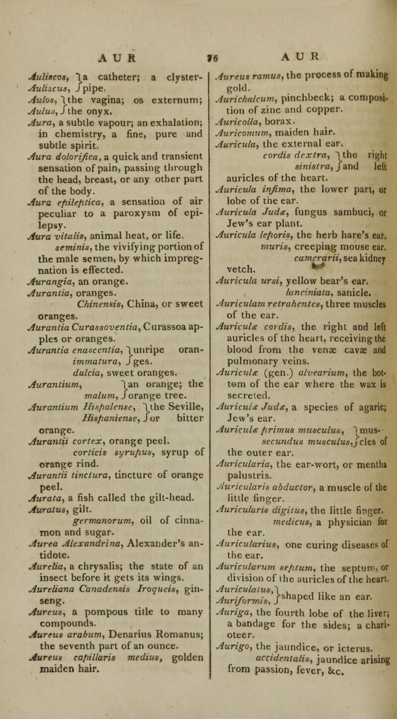 Auliacos, la catheter; a clyster- Auliscus, J pipe. Aulos, \the vagina; os externum; Aulus, J the onyx. Aura, a subtle vapour; an exhalation; in chemistry, a fine, pure and subtle spirit. Aura dolorifica, a quick and transient sensation of pain, passing through the head, breast, or any other part of the body. Aura efiilefitica, a sensation of air peculiar to a paroxysm df epi- lepsy. Aura vitalia, animal heat, or life. seminis, the vivifying portion of the male semen, by which impreg- nation is effected. Aurangia, an orange. Aurantia, oranges. Chinensis, China, or sweet oranges. Aurantia Curassoventia, Curassoa ap- ples or oranges. Aurantia enascentia, \unripe oran- immatura, j ges. dulcia, sweet oranges. Aurantium, \an orange; the malum, J orange tree. Aurantium Hisfialense, \the Seville, Hisfianiense, for bitter orange. Aurantii cortex, orange peel. corticis syrujius, syrup of orange rind. Aurantii tinctura, tincture of orange peel. Aurata, a fish called the gilt-head. Auratus, gilt. germanorum, oil of cinna- mon and sugar. Aurea Alexandrina, Alexander's an- tidote. Aurelia, a chrysalis; the state of an insect before it gets its wings. Aurtliana Canadensis Iroqueis, gin- seng. Aureus, a pompous title to many compounds. Aureus arabum, Denarius Romanus; the seventh part of an ounce. Aureus capillaris medius, golden maiden hair. Aureus ramus, the process of making gold. Aurichalcum, pinchbeck; a composi- tion of zinc and copper. Auricolla, borax. Auricomum, maiden hair. Auricula, the external ear. cordis dextra, I1 the right sinistra, j and left auricles of the heart. Auricula infima, the lower part, or lobe of the ear. Auricula Judx, fungus sambuci, or Jew's ear plant. Auricula lefioris, the herb hare's ear. muris, creeping mouse ear. camerarii, sea kidney vetch. * * Auricula ursi, yellow bear's ear. lanriniata, sanicle. Auriculam retrahentes, three muscles of the ear. Auricula coidis, the right and left auricles of the heart, receiving the blood from the venae cavae and pulmonary veins. Auriculae (gen.) alvearium, the bot- tom of the ear where the wax is secreted. Auricula Judx, a species of agaric; Jew's ear. Auricnix firimus musculus, Imus- secundus musculus,j cles of the outer ear. Auricularia, the ear-wort, or mentha palustris. Auricularis abductor, a muscle of the little finger. Auricularis digitus, the little finger. medicus, a physician for the ear. Auricularius, one curing diseases of the ear. Auricularwn sefitum, the septum, or division of the auricles of the heart. Auriculatus,\ , Auriformis, /shaP«l like an ear. Auriga, the fourth lobe of the liver; a bandage for the sides; a chari- oteer. Aurigo, the jaundice, or icterus. accidentalis, jaundice arising from passion, fever, &c.