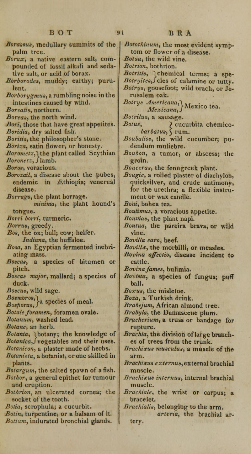 Borassus, medullary summits of the palm tree. Borax, a native eastern salt, com- pounded of fossil alkali and seda- tive salt, or acid of borax. Borborodcs, muddy; earthy; puru- lent. Borborygmus, a rumbling noise in the intestines caused by wind. Borealis, northern. Boreas, the north wind. Bori, those that have great appetites. Boridia, dry salted fish. Boritis, the philosopher's stone. Boriza, satin flower, or honesty. Boromctz,~\ the plant called Scythian Boronetz, J lamb. Boros, voracious. Borozail, a disease about the pubes, endemic in ./Ethiopia; venereal disease. Borrago, the plant borrage. minima, the plant hound's tongue. Borri borri, turmeric. Borru8, greedy. Bos, the ox; bull; cow; heifer. Indiana, the buffaloe. Bosa, an Egyptian fermented inebri- ating mass. Boscas, a species of bitumen or pitch. Boscas major, mallard; a species of duck. Boscus, wild sage. Bosmoro8,~\ c . £0^orfl«,>SPeCleSofmeal- Botale foramen, foramen ovale. Botanum, washed lead. Botane, an herb. Botania, \botany; the knowledge of BotanicaJvegetables and their uses. Botanicon, a plaster made of herbs. Botanista, a botanist, or one skilled in plants. Botargum, the salted spawn of a fish. Bothor, a general epithet for tumour and eruption. Bothrion, an ulcerated cornea; the socket of the tooth. Botia, scrophula; a cucurbit. Botin, turpentine, or a balsam of it. Botium, indurated bronchial glands. Botothinum, the most evident symp- tom or flower of a disease. Botou, the wild vine. Botrion, bothrion. Botritis, \chemical terms; a spe- Botryites,j cies of calamine or tutty. Botrys, goosefoot; wild orach, or Je- rusalem oak. Botrys d?nericana,\.r . J », > Mexico tea. Mexicana, J Botrilus, a sausage. Botus, ) cucurbita chemico- barbatus, $ rum. Boubalios, the wild cucumber; pu- dendum muliebre. Bonbon, a tumor, or abscess; the groin. Bouceras, the fenugreek plant. Bougie, a rolled plaster of diachylon, quicksilver, and crude antimony, for the urethra; a flexible instru- ment or wax candle. Boui, bohea tea. Boulimus, a voracious appetite. Bounias, the plant napi. Boutua, the pareira brava, or wild vine. Bo-villa caro, beef. Bovillx, the morbilli, or measles. Bovina affectio, disease incident to cattle. Bovina fames, bulimia. Bovista, a species of fungus; puff ball. Boxus, the misletoe. Boza, a Turkish drink. Brabejum, African almond tree. Brabyla, the Damascene plum. Bracherium, a truss or bandage for rupture. Brachia, the division of large branch- es of trees from the trunk. Brachiteus musculus, a muscle of th<» arm. Brachixus externus, external brachial muscle. Brachixus internus, internal brachial muscle. Brachiale, the wrist or carpus; a bracelet. Brachialis, belonging to the arm. arteria, the brachial ar- tery.