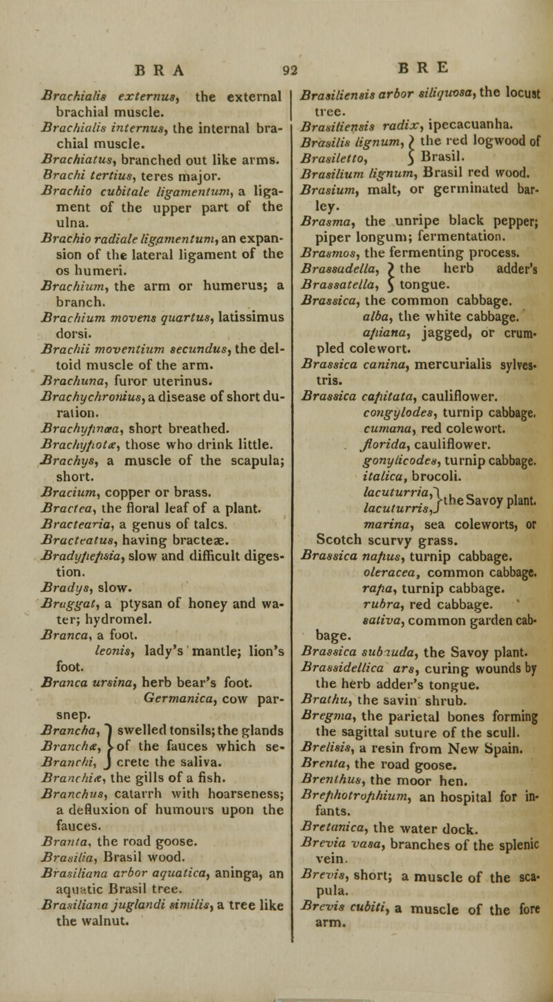 Brackia(i8 externus, the external brachial muscle. Brac/iialis internus, the internal bra- chial muscle. Brachiatus, branched out like arms. Brachi terlius, teres major. Brachio cubitale ligamentum, a liga- ment of the upper part of the ulna. Brachio radiale ligamentum, an expan- sion of the lateral ligament of the os humeri. Brachium, the arm or humerus; a branch. Brachium movens quartus, latissimus dorsi. Brachii moventium secundus, the del- toid muscle of the arm. Brachuna, furor uterinus. Brachychronius, a disease of short du- ration. Brachyfmaa, short breathed. Brachyfiotx, those who drink little. Brachys, a muscle of the scapula; short. Bracium, copper or brass. Bract ea, the floral leaf of a plant. Bractearia, a genus of talcs. Bracteatus, having bracteae. Brady/ie/isia, slow and difficult diges- tion. Bradys, slow. Bruggat, a ptysan of honey and wa- ter; hydromel. Branca., a foot. leonis, lady's mantle; lion's foot. Branca ursina, herb bear's foot. Germanica, cow par- snep. Brancha, J swelled tonsils; the glands Branch*, i-of the fauces which se- Branchi, J crete the saliva. Branchix, the gills of a fish. Branchus, catarrh with hoarseness; a defluxion of humours upon the fauces. Branta, the road goose. Brasilia, Brasil wood. Brasi/iana arbor aquatica, aninga, an aquntic Brasil tree. Brasiliana juglandi similis, a tree like the walnut. Braailiensis arbor siliqitosa, the locust tree. Brasitiensis radix, ipecacuanha. Brasilis lignum, ) the red logwood of Brasiletto, $ Brasil. Brasilium lignum, Brasil red wood. Brasium, malt, or germinated bar- ley. Brasma, the unripe black pepper; piper longum; fermentation. Brasmos, the fermenting process. Brassadella, > the herb adder's Brassatella, £ tongue. Brassica, the common cabbage. alba, the white cabbage. a/iiana, jagged, or crum- pled cole wort. Brassica canina, mercurialis sylves- tris. Brassica ca/iitata, cauliflower. congylodes, turnip cabbage. cumana, red cole wort. Jlorida, cauliflower. gonylicodes, turnip cabbage. italica, brocoli. lacuturria,\ , e . , , t . ' J-the Savoy plant. lacutums,} ' r marina, sea coleworts, or Scotch scurvy grass. Brassica nafius, turnip cabbage. oleracea, common cabbage. ra/ia, turnip cabbage. rubra, red cabbage. saliva, common garden cab- bage. Brassica subiuda, the Savoy plant. Brassidellica ars, curing wounds by the herb adder's tongue. Brathu, the savin shrub. Bregma, the parietal bones forming the sagittal suture of the scull. Brelisis, a resin from New Spain. Brenta, the road goose. Brenthus, the moor hen. Brephotrofihium, an hospital for in- fants. Bretanica, the water dock. Brevia vasa, branches of the splenic vein. Brevis, short; a muscle of the sca- pula. Bre-vis cubiti, a muscle of the fore arm.