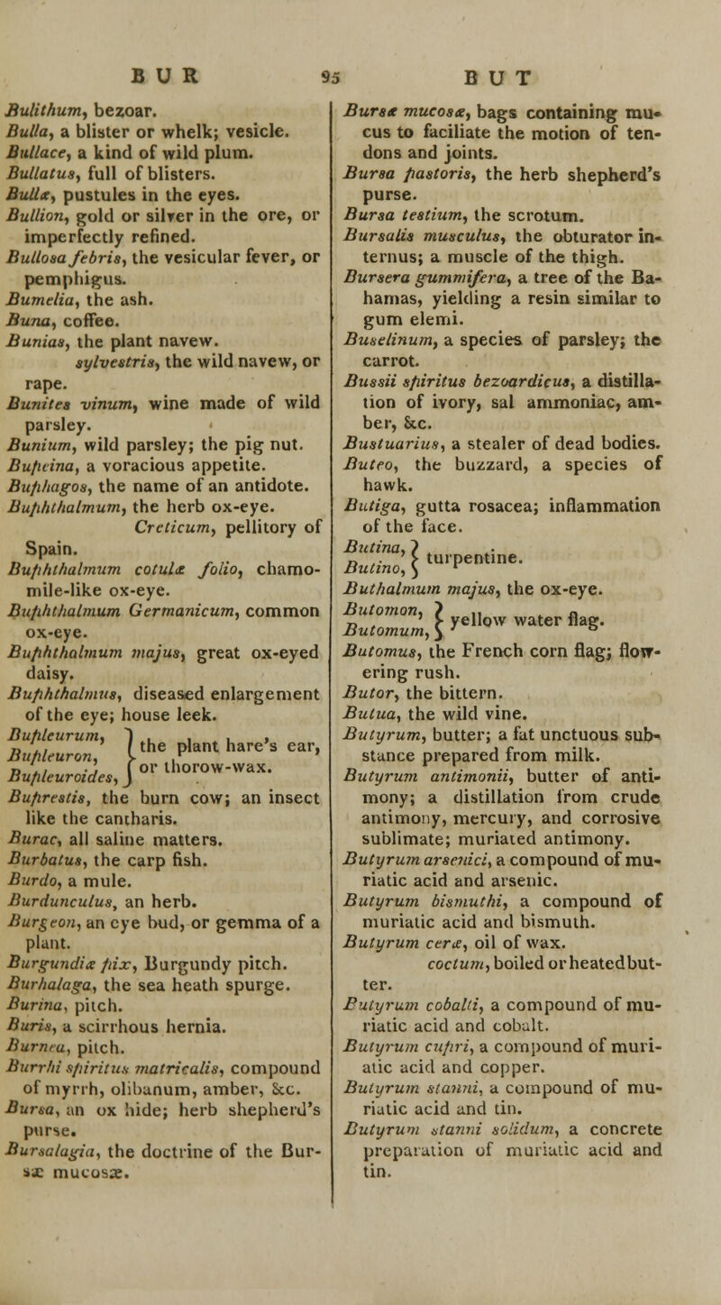 BUR Bulithum, bezoar. Bulla, a blister or whelk; vesicle. Bullace, a kind of wild plum. Bullatus, full of blisters. Bullx, pustules in the eyes. Bullion, gold or silver in the ore, or imperfectly refined. Bullosa febris, the vesicular fever, or pemphigus. Bumelia, the ash. Buna, coffee. Bunias, the plant navew. sylvestris, the wild navew, or rape. Bunitea vinum, wine made of wild parsley. Bunium, wild parsley; the pig nut. Bufuina, a voracious appetite. Bufihagos, the name of an antidote. Bufihthalmum, the herb ox-eye. Creticum, pellitory of Spain. Bufihthalmum cotulz folio, chamo- mile-like ox-eye. Bufihthalmum Germanicum, common ox-eye. Bufihthalmum majus, great ox-eyed daisy. Bufihthalmua, diseased enlargement of the eye; house leek. Bufileurum, Bufileuron, Bufileuroid.es>, Bufirestis, the burn cow; an insect like the cantharis. Burac, all saline matters. Burbalus, the carp fish. Burdo, a mule. Burdunculus, an herb. Burgeon, an eye bud, or gemma of a plant. Burgundix pix, Burgundy pitch. Burhalaga, the sea heath spurge. Burina, pilch. Buris, a scirrhous hernia. Burma, pitch. Burrhi spiritUH matricalis, compound of myrrh, olibanum, amber, Sec. Bursa, an ox hide; herb shepherd's purse. Bursalugia, the doctrine of the Bur- sa: mucosae. :yc; m m, T h r des, J the plant hare's ear, or thorow-wax. 95 BUT Buratc mucosa, bags containing mu- cus to faciliate the motion of ten- dons and joints. Bursa pastoris, the herb shepherd's purse. Bursa testium, the scrotum. Bursalis musculus, the obturator in- terims; a muscle of the thigh. Bursera gummifera, a tree of the Ba- hamas, yielding a resin similar to gum elemi. Buselinum, a species of parsley; the carrot. Bussii sfiiritus bezoardicus, a distilla- tion of ivory, sal ammoniac, am- ber, Sec. Bustuarius, a stealer of dead bodies. Buteo, the buzzard, a species of hawk. Butiga, gutta rosacea; inflammation of the face. Butina, ? , D . ' > turpentine. Butino, } l Buthalmum majus, the ox-eye. Butomon, ? ,, r» r> . r yellow water flag. Butomum,) ' ° Butomus, the French corn flag; flow- ering rush. Butor, the bittern. Bulua, the wild vine. Butyrum, butter; a fat unctuous sub- stance prepared from milk. Butyrum antimonii, butter of anti- mony; a distillation from crude antimony, mercury, and corrosive sublimate; muriated antimony. Butyrum arsenici, a compound of mu- riatic acid and arsenic. Butyrum bismuthi, a compound of muriatic acid and bismuth. Butyrum eerie, oil of wax. coctum, boiled orheatedbut- ter. Butyrum cobalti, a compound of mu- riatic acid and cobalt. Butyrum cufiri, a compound of muri- atic acid and copper. Butyrum stan?u, a compound of mu- riatic acid and tin. Butyrum stanni solidum, a concrete preparation of muriatic acid and tin.